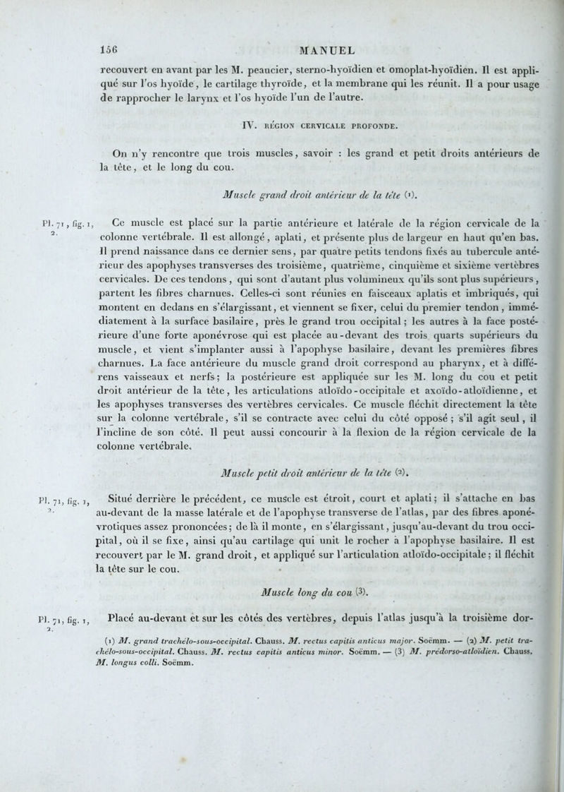 recouvert en avant par les M. peaucier, sterno-hyoïdien et omoplat-hyoïdien. Il est appli- qué sur l’os hyoïde, le cartilage thyroïde, et la membrane qui les réunit. Il a pour usage de rapprocher le larynx et l’os hyoïde l’un de l’autre. IV. RÉGION CERVICALE PROFONDE. On n’y rencontre que trois muscles, savoir : les grand et petit droits antérieurs de la tête, et le long du cou. Muscle grand droit antérieur de la tète ('). Pl.yijfig. I, Ce muscle est placé sur la partie antérieure et latérale de la région cervicale de la colonne vertébrale. 11 est allongé, aplati, et présente plus de largeur en haut qu’en bas. Il prend naissance dans ce dernier sens, par quatre petits tendons fixés au tubercule anté- rieur des apophyses transverses des troisième, quatrième, cinquième et sixième vertèbres cervicales. De ces tendons, qui sont d’autant plus volumineux qu’ils sont plus supérieurs , partent les fibres charnues. Celles-ci sont réunies en faisceaux aplatis et imbriqués, qui montent en dedans en s’élargissant, et viennent se fixer, celui du premier tendon, immé- diatement à la surface basilaire, près le grand trou occipital ; les autres à la face posté- rieure d’une forte aponévrose qui est placée au-devant des trois quarts supérieurs du muscle, et vient s’implanter aussi h l’apophyse basilaire, devant les premières fibres charnues. La face antérieure du muscle grand droit correspond au pharynx, et à dilfé- rens vaisseaux et nerfs; la postérieure est appliquée sur les M. long du cou et petit droit antérieur de la tête, les articulations atloïdo-occipitale et axoïdo-atloïdienne, et les apophyses transverses des vertèbres cervicales. Ce muscle fléchit directement la tête sur la colonne vertébrale, s’il se contracte avec celui du côté opposé ; s’il agit seul, il l’incline de son côté. Il peut aussi concourir à la flexion de la région cervicale de la colonne vertébrale. Muscle petit droit antérieur de la tète W. PI. 71, fig. J, Situé derrière le précédent, ce muscle est étroit, court et aplati; il s’attache en bas au-devant de la masse latérale et de l’apophyse transverse de l’atlas, par des fibres aponé- vrotiques assez prononcées ; de là il monte, en s’élargissant, jusqu’au-devant du trou occi- pital, où il se fixe, ainsi qu’au cartilage qui unit le rocher à l’apophyse basilaire. Il est recouvert par le M. grand droit, et appliqué sur l’articulation atloïdo-occipitale; il fléchit la tête sur le cou. Muscle long du cou (3). PI. 71, fig. I, Placé au-devant et sur les côtés des vertèbres, depuis l’atlas jusqu’à la troisième dor- 2. (i) M. grand trachélo-sous-occipital. Cbauss. Af. reclus capitis anlicus major. Soëmm. — (a) AI. petit tra- ckélo-sous-occipital. Chauss. AI. reclus capitis anticus minor. Soemm. — (3) M. prédorso-atlo'idien. Cbauss. M. longus coin. Soëmm.