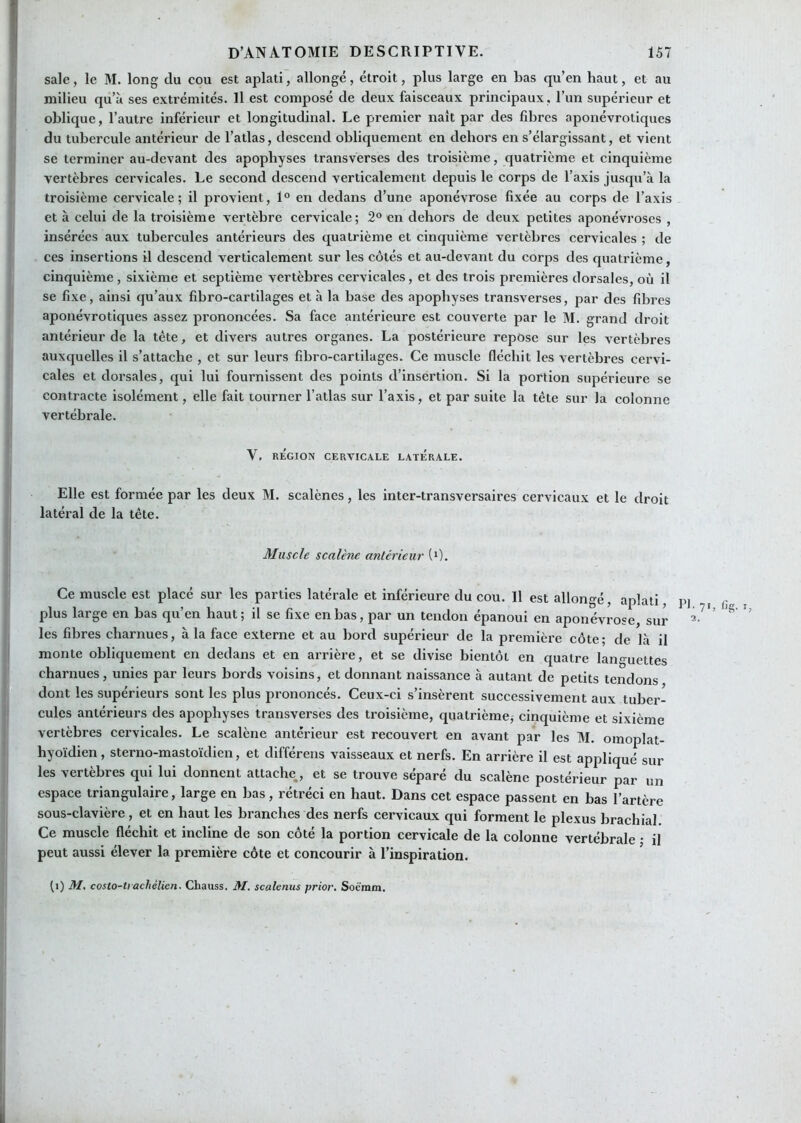 sale, le M. long du cou est aplati, allongé, étroit, plus large en bas qu’en haut, et au milieu qu’à ses extrémités. Il est composé de deux faisceaux principaux, l’un supérieur et oblique, l’autre inférieur et longitudinal. Le premier naît par des fibres aponévrotiques du tubercule antérieur de l’atlas, descend obliquement en dehors en s’élargissant, et vient se terminer au-devant des apophyses transverses des troisième, quatrième et cinquième vertèbres cervicales. Le second descend verticalement depuis le corps de l’axis jusqu’à la troisième cervicale; il provient, 1° en dedans d’une aponévrose fixée au corps de l’axis et à celui de la troisième vertèbre cervicale; 2° en dehors de deux petites aponévroses , insérées aux tubercules antérieurs des quatrième et cinquième vertèbres cervicales ; de ces insertions il descend verticalement sur les côtés et au-devant du corps des quatrième, cinquième, sixième et septième vertèbres cervicales, et des trois premières dorsales, où il se fixe, ainsi qu’aux fibro-cartilages et à la base des apophyses transverses, par des fibres aponévrotiques assez prononcées. Sa face antérieure est couverte par le M. grand droit antérieur de la tête, et divers autres organes. La postérieure repose sur les vertèbres auxquelles il s’attache , et sur leurs fibro-cartilages. Ce muscle fléchit les vertèbres cervi- cales et dorsales, qui lui fournissent des points d’insertion. Si la portion supérieure se contracte isolément, elle fait tourner l’atlas sur l’axis, et par suite la tête sur la colonne vertébrale. V. RÉGION CERVICALE LATERALE. Elle est formée par les deux M. scalènes, les inter-transversaires cervicaux et le droit latéral de la tête. Muscle scalène antérieur (*). Ce muscle est placé sur les parties latérale et inférieure du cou. Il est allongé, aplati, pj plus large en bas qu’en haut; il se fixe en bas, par un tendon épanoui en aponévrose, sur les fibres charnues, à la face externe et au bord supérieur de la première côte; de là il monte obliquement en dedans et en arrière, et se divise bientôt en quatre languettes charnues, unies par leurs bords voisins, et donnant naissance à autant de petits tendons dont les supérieurs sont les plus prononcés. Ceux-ci s’insèrent successivement aux tuber- cules antérieurs des apophyses transverses des troisième, quatrième^ cinquième et sixième vertèbres cervicales. Le scalène antérieur est recouvert en avant par les M. omoplat- hyoïdien, sterno-mastoïdien, et différens vaisseaux et nerfs. En arrière il est appliqué sur les vertèbres qui lui donnent attache., et se trouve séparé du scalène postérieur par un espace triangulaire, large en bas, rétréci en haut. Dans cet espace passent en bas l’artère sous-clavière, et en haut les branches des nerfs cervicaux qui forment le plexus brachial. Ce muscle fléchit et incline de son côté la portion cervicale de la colonne vertébrale • il peut aussi élever la première côte et concourir à l’inspiration. fl) M, costo-trachélien. Chauss, it/. scalenus prier, Soè'mm. 7'i <'S- ï, I,