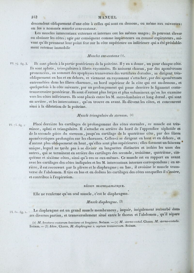 -f 162 MANUEL descendent obliquement d’une côte à celles qui sont en dessous, ou même aux suivantes : ou les a nommés muscles sous-costaux. Les muscles intercostaux externes et internes ont les mêmes usages ; ils peuvent élever ou abaisser les côtes ; agir par conséquent comme inspirateurs ou comme expirateurs, sui- vant qu’ils prennent leur point fixe sur la côte supérieure ou inférieure qui a été préalable- ment retenue immobile Muscles sur-costaux l'-). l'I fig. 3. Ils sont placés h la partie postérieure de la poitrine. Il y en a douze , un pour chaque côte. Ils sont aplatis , triangulaires à fibres rayonnées. Ils naissent chacun, par des aponévroses prononcées, au sommet des apophyses transverses des vertèbres dorsales , se dirigent très- obliquement en bas et en dehors, et viennent en rayonnant s’attacher, par des aponévroses entremêlées dans les fibres charnues, au bord supérieur de la côte qui est au-dessous, et quelquefois à la côte suivante, par un prolongement qui passe derrière le ligament costo- transversaire postérieur. Ils sont d’autant plus larges et plus volumineux qu’on les examine vers les côtes inférieures. Ils sont placés entre les M. sacro-lombaire et long dorsal, qui sont en arrière, et les intercostaux, qu’on trouve en avant. Ils élèvent les côtes, et concourent ainsi à la dilatation de la poitrine. Muscle triangulaire du sternum. (2) PJ. 7’>. lîg. i: Placé derrière les cartilages de prolongement des côtes sternales, ce muscle est très- mince , aplati et triangulaire. Il s’attache en arrière du bord de l’appendice xiphoïde et de la seconde pièce du sternum, jusqu’au cartilage delà quatrième côte, par des fibres aponévrotiques prolongées sur les charnues. Celles-ci se dirigent en haut et en dehors , et d’autant plus obliquement en haut, qu’elles sont plus supérieures ; elles forment un faisceau * unique, lequel ne tarde pas à se diviser en languettes distinctes et isolées les unes des autres, qui se terminent en arrière des cartilages des seconde , troisième, quatrième, cin- quième et sixième côtes, ainsi qu’à ces os eux-mêmes. Ce muscle est en rapport en avant avec les cartilages des côtes indiquées et les M. intercostaux internes correspondans ; en ar- rière , il est recouvert par la plèvre et le diaphragme ; en bas , il avoisine le muscle trans- verse de l’abdomen. Il tire en bas et en dedans les cartilages des côtes auxquelles il s’insère, et contribue à l’expiration. RÉGIOX DIAPHRAGMATIQUE. Elle ne renferme qu’un seul muscle, c’est le diaphragme. Muscle diaphragme. (3) PI. Gg, I, Le diaphragme est un grand muscle membraneux, impair, inégalement recourbé dans scs diverses parties, et transversalement situé entre le thorax et 1 abdomen , qu il sépare (1) jJ/. levulores costarum hret^iores et longiores. Soemm. —(2) M. sterno-costal. Cbauss. M, sterno-costalis. Soemm. — (3) Idem, Chiiuss. M. diaphragma s, septum transaersum. Soëmra. A
