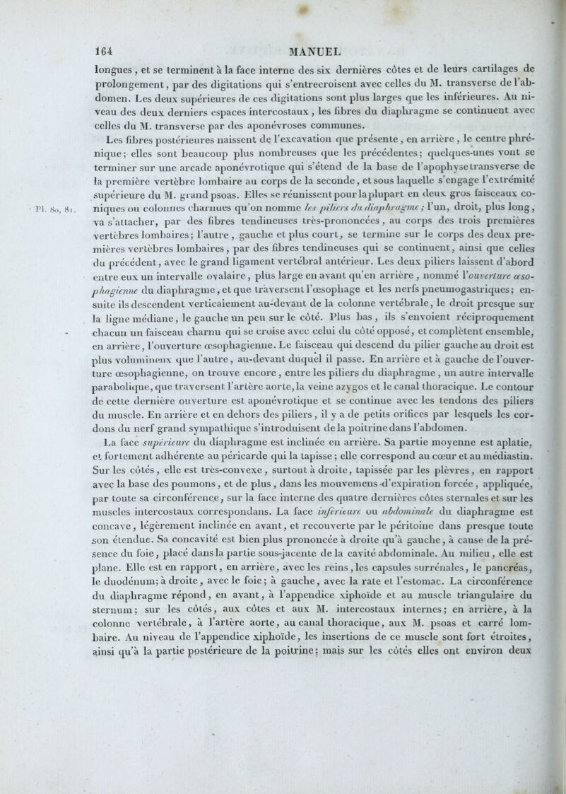 longues , et se terminent à la face interne des six dernières côtes et de leurs cartilages de prolongement, par des digitations qui s’entrecroisent avec celles du M. transverse de l’ab- domen. Les deux supérieures de ces digitations sont plus larges que les inferieures. Au ni- veau des deux derniers espaces intercostaux, les fibres du diaphragme se continuent avec celles du M. transverse par des aponévroses communes. Les fibres postérieures naissent de l’excavation que présente, en arrière , le centre phré- nique; elles sont beaucoup plus nombreuses que les précédentes; quelques-unes vont se terminer sur une arcade aponévrotique qui s’étend de la base de l’apophyse transverse de la première vertèbre lombaire au corps de la seconde, et sous laquelle s’engage l’extrémité supérieure du M. gi and psoas. Elles se réunissent pour laplupart en deux gros faisceaux co- Pl. Ko, 8r, niques ou colonnes charnues qu’on nomme 4?.? piUns ihi.dinphragmc; l’un, droit, plus long, va s’attacher, par des fibres tendineuses très-prononcées, au corps des trois premières vertèbres lombaires; l’autre , gauche et plus court, se termine sur le corps des deux pre- mières vertèbres lombaires, par des fibres tendineuses qui se continuent, ainsi que celles du précédent, avec le grand ligament vertébral antérieur. Les deux piliers laissent d’abord entre eux un intervalle ovalaire, plus large en avant qu’en arrière , nommé \'ouverture ceso- phagienne du diaphragme, et que traversent l’œsophage et les nerfs pneumogastriques ; en- suite ils descendent verticalement au-devant de la colonne vertébrale, le droit presque sur la ligne médiane, le gauche un peu sur le côté. Plus bas, ils s’envoient réciproquement chacun un faisceau charnu qui se croise avec celui du côté opposé, et complètent ensemble, en arrière, l’ouverture œsophagienne. Le faisceau qui descend du pilier gauche au droit est plus volumineux que l’autre, au-devant duquel il passe. En arrière et à gauche de l’ouver- ture œsophagienne, on trouve encore, entre les piliers du diaphragme, un autre intervalle parabolique, que traversent l’artère aorte, la veine azygos et le canal thoracique. Le contour de cette dernière ouverture est aponévrotique et se continue avec les tendons des piliers du muscle. En arrière et en dehors des piliers , il y a de petits orifices par lesquels les cor- dons du nerf grand sympathique s’introduisent delà poitrine dans l’abdomen. La face supérieure du diaphragme est inclinée en arrière. Sa partie moyenne est aplatie, et fortement adhérente au péricarde qui la tapisse ; elle correspond au cœur et au médiastin. Sur les côtés, elle est très-convexe , surtout à droite, tapissée par les plèvres , en rapport avec la base des poumons , et de plus , dans les mouvemens-d’expiration forcée , appliquée, par toute sa circonférence, sur la face interne des quatre dernières côtes sternales et sur les muscles intercostaux correspondans. La face inférieure ou abdominale du diaphragme est concave , légèrement inclinée en avant, et recouverte par le péritoine dans presque toute son étendue. Sa concavité est bien plus prononcée à droite qu’à gauche, à cause de la pré- sence du foie, placé dans la partie sous-jacente de la cavité abdominale. Au milieu , elle est plane. Elle est en rapport, en arrière, avec les reins,les capsules surrénales, le pancréas, le duodénum;à droite, avec le foie; à gauche, avec la rate et l’estomac. La circonférence du diaphragme répond, en avant, à l’appendice xiphoïde et au muscle ti’iangulaire du sternum; sur les côtés, aux côtes et aux M. intercostaux internes; en arrière, à la colonne vertébrale, à l’artère aorte, au canal thoracique, aux M. psoas et carré lom- baire. Au niveau de l’appendiee xiphoïde, les insertions de ce muscle sont fort étroites, ainsi qu’à la partie postérieure de la poitrine; mais sur les côtés elles ont environ deux