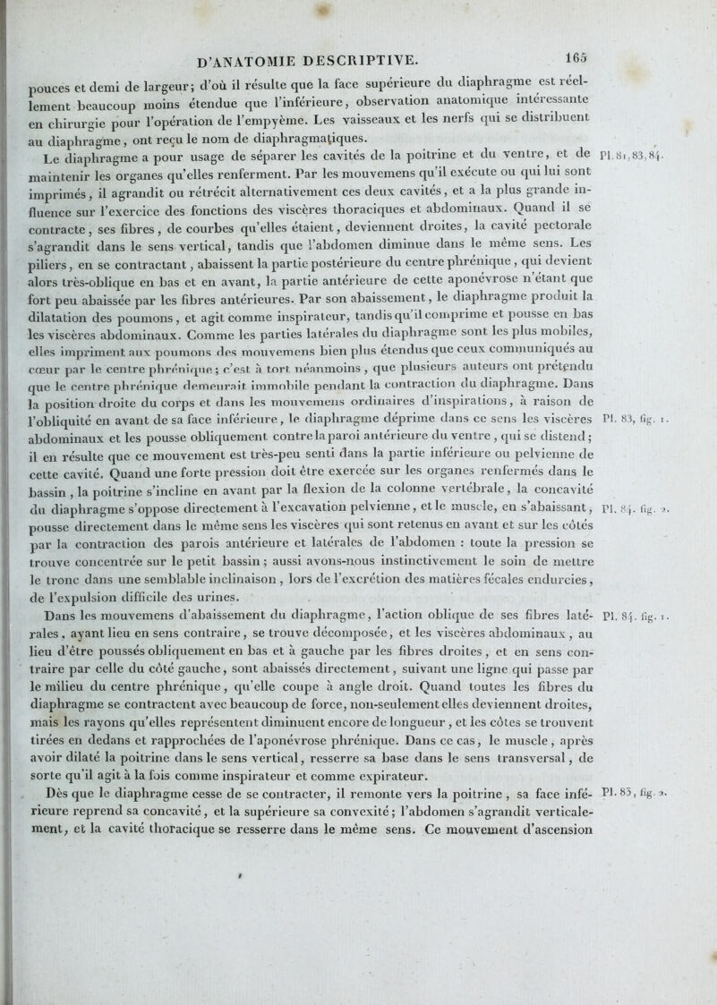 'ï pouces et demi de largeur; d’où il résulte que la face supérieure du diaphragme est réel- ! lement beaucoup moins étendue que l’inférieure, observation anatomique intéressante en chirurgie pour l’opération de l’empyème. Les vaisseaux et les nerfs qui se distribuent au diaphragme, ont reçu le nom de diaphragmatiques. |! Le diaphragme a pour usage de séparer les cavités de la poitrine et du ventre, et de pi,8,,83,8p [ maintenir les organes qu’elles renferment. Par les mouvemens qu’il exécute ou qui lui sont imprimés, il agrandit ou rétrécit alternativement ces deux cavités, et a la plus grande in- fluence sur l’exercice des fonctions des viscères thoraciques et abdominaux. Quand il se contracte, ses fibres, de courbes qu’elles étaient, deviennent droites, la cavité pectorale s’agrandit dans le sens vertical, tandis que l’abdomen diminue dans le meme sens. Les piliers, en se contractant, abaissent la partie postérieure du centre phrenique, qui devient alors très-oblique en bas et en avant, la partie antérieure de cette aponévrose n étant que fort peu abaissée par les fibres antérieures. Par son abaissement, le diaphragme produit la dilatation des poumons, et agit comme inspirateur, tandis qu il comprime et pousse en bas les viscères abdominaux. Comme les parties latérales du diaphragme sont les plus mobiles, elles impriment aux poumons des mouvemens bien plus étendus que ceux communiques au cœur par le centre phrénirpie; c’est a tort néanmoins, que plusieurs auteurs ont pretgndu que le centre phrénique demeurait immobile pendant la contraction du diaphragme. Dans la position droite du corps et dans les mouvemens ordinaires d’inspirations, à raison de l’obliquité en avant de sa face inférieure, le diaphragme déprime dans ce sens les viseères PI. 83, tig. i. abdominaux et les pousse obliquement contre la paroi antérieure du ventre , qui se distend ; il en résulte que ce mouvement est très-peu senti dans la partie inférieure ou pelvienne de cette cavité. Quand une forte pression doit être exercée sur les organes renfermés dans le bassin , la poitrine s’incline en avant par la flexion de la colonne vertébrale, la concavité du diaphragme s’oppose directement à l’excavation pelvienne, et le muscle, en s’abaissant, pi. 84. flg. pousse directement dans le même sens les viscères qui sont retenus en avant et sur les côtés par la contraction des parois antérieure et latérales de l’abdomen : toute la pression se trouve concentrée sur le petit bassin ; aussi avons-nous instinctivement le soin de mettre le tronc dans une semblable inclinaison , lors de l’excrétion des matières fécales endurcies, de l’expulsion difficile des urines. Dans les mouvemens d’abaissement du diaphragme, l’action oblique de ses fibres laté- PI. 8}. fig. t. raies, ayant lieu en sens contraire, se trouve décomposée, et les viscères abdominaux , au lieu d’être poussés obliquement en bas et à gauche par les fibres droites, et en sens con- traire par celle du côté gauche, sont abaissés directement, suivant une ligne qui passe par le milieu du centre phrénique, qu’elle coupe à angle droit. Quand toutes les fibres du diaphragme se contractent avec beaucoup de force, non-seulement elles deviennent droites, mais les rayons qu’elles représentent diminuent encore de longueur, et les côtes se trouvent tirées en dedans et rapprochées de l’aponévrose phrénique. Dans ce cas, le muscle, après avoir dilaté la poitrine dans le sens vertical, resserre sa base dans le sens transversal, de sorte qu’il agit à la fois comme inspirateur et comme expirateur. Dès que le diaphragme cesse de se contracter, il remonte vers la poitrine , sa face infé- PI-83, %. u. rieure reprend sa concavité, et la supérieure sa convexité; l’abdomen s’agrandit verticale- ment, et la cavité thoracique se resserre dans le même sens. Ce mouvement d’ascension il