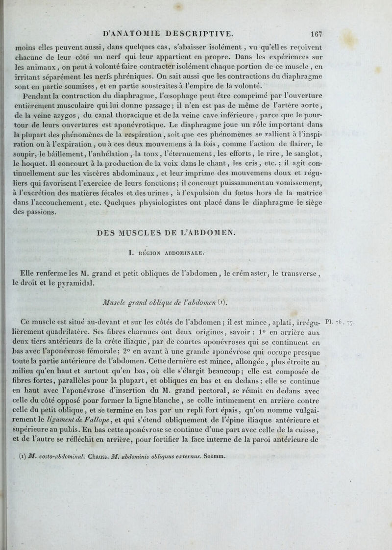 moins elles peuvent aussi, dans quelques eas, s’abaisser isolément , vu qu’elles reçoivent chacune de leur côté un nerf qui leur appartient en propre. Dans les expériences sur les animaux, on peut à volonté faire contracter isolément chaque portion de ce muscle , en I irritant séparément les nerfs phréniques. On sait aussi que les contractions du diaphragme ! sont en partie soumises, et en partie soustraites à l’empire de la volonté, jî Pendant la contraction du diaphragme, l’œsophage peut être comprimé par l’ouverture 1 entièrement musculaire qui lui donne passage; il n’en est pas de même de l’artère aorte, de la veine azygos, du canal thoracique et de la veine cave inférieure , parce que le pour* i tour de leurs ouvertures est aponévrotique. Le diaphragme joue un rôle important dans I la plupart des phénomènes de la respiration, soit que ces phénomènes se rallient à l’inspi- ' ration ou à l’expiration , ou à ces deux mouvemens à la fois , comme l’action de flairer, le soupir, le bâillement, l’anhélation , la toux, l’éternuement, les efforts, le rire, le sanglot, le hoquet. Il concourt à la production de la voix dans le chant, les cris, etc. ; il agit con- I tinuellement sur les viscères abdominaux, et leur imprime des mouvemens doux et régu- ■ liers qui favorisent l’exercice de leurs fonctions; il concourt puissamment au vomissement, à l’excrétion des matières fécales et des urines , à l’expulsion du fœtus hors de la matrice dans l’accouchement, etc. Quelques physiologistes ont placé dans le diaphragme le siège des passions. DES MUSCLES DE L’ABDOMEN. I. RÉGION ABDOMINALE. Elle renferme les M. grand et petit obliques de l’abdomen, le crém aster, le transverse , le droit et le pyramidal. Muscle grand oblique de l’abdomen (0. Ce muscle est situé au-devant et sur les côtés de l’abdomen; il est mince, aplati, irrégu- f*'' i! lièrement quadrilatère. Ses fibres charnues ont deux origines, savoir: 1° en arrière aux deux tiers antérieurs de la crête iliaque, par de courtes aponévroses qui se continuent en I has avec l’aponévrose fémorale; 2° en avant à une grande aponévrose qui occupe presque toute la partie antérieure de l’abdomen. Cette dernière est mince, allongée , plus étroite au milieu qu’en haut et surtout qu’en has, où elle s’élargit beaucoup; elle est composée de fibres fortes, parallèles pour la plupart, et obliques en bas et en dedans; elle se continue en haut avec l’aponévrose d’insertion du M. grand pectoral, se réunit en dedans avec celle du côté opposé pour former la ligne hlanche , se colle intimement en arrière contre celle du petit oblique, et se termine en bas par un repli fort épais, qu’on nomme vulgai- rement le ligament de Fallope, et qui s’étend obliquement de l’épine iliaque antérieure et supérieure au pubis. En bas cette aponévrose se continue d’une part avec celle de la cuisse, et de l’autre se réfléchit en arrière, pour fortifier la face interne de la paroi antérieure de (i) M, cOito-ahdominaL Chauss. M. abdominis ohliquus externus. Soëmm.