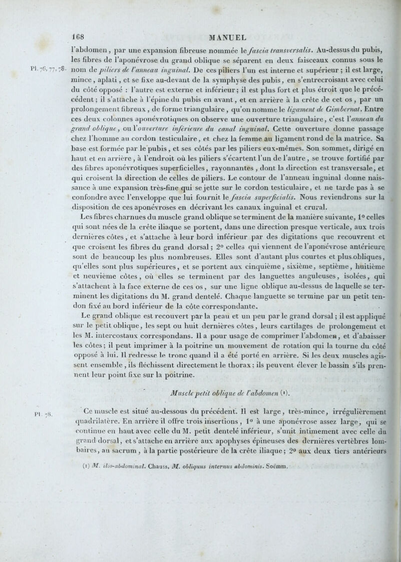 l’abdomen , par une expansion fibreuse nommée le Jascia iransvcrsalis. Au-dessus du pubis, les fibres de l’aponévrose du grand oblique se séparent en deux faisceaux connus sous le l'1.7G, 77,78. nom de piliers de Vanneau, inguinal. De ces piliers l’un est interne et supérieur ; il est large, mince, aplati, et se fixe au-devant de la symphyse des pubis, en s’entrecroisant avec celui du coté opposé : l’autre est externe et inférieur; il est plus fort et plus étroit que le précé- cédent ; il s’attache à l’épine du pubis eu avant, et en arrière à la crête de cet os , par un prolongement fibreux , de forme triangulaire , qu’on nomme le ligament de Gimhemal. Entre ces deux colonpes aponévrotiques on observe une ouverture triangulaire, c’est Vanneau du grand oblique, owX ouverture inférieure du canal inguinal. Cette ouverture donne passage chez l’homme au cordon testiculaire, et chez la femme au ligament rond de la matrice. Sa base est formée par le'pubis, et ses côtés par les piliers eux-mêmes. Son sommet, dirigé en haut et en arrière , à l’endroit où les piliers s’écartent l’un de l’autre, se trouve fortifié par des fibres aponévrotiques superficielles, rayonnantes , dont la direction est transversale, et qui croisent la direction de celles de piliers. Le contour de l’anneau inguinal donne nais- sance à une expansion très-fine qui se jette sur le cordon testiculaire, et ne tarde pas à se confondre avec l’enveloppe que lui fournit Jascia supeificialis. Nous reviendrons sur la disposition de ces aponévroses en décrivant les canaux inguinal et crural. Les fibres charnues du muscle grand oblique se terminent de la manière suivante, 1° celles qui sont nées de la crête iliaque se portent, dans une direction presque verticale, aux trois dernières côtes, et s’attache à leur bord inférieur par des digitations que recouvrent et que croisent les fibres du grand dorsal ; 2“ celles qui viennent de l’aponévrose antérieure sont de beaucoup les plus nombreuses. Elles sont d’autant plus courtes et plus obliques, qu’elles sont plus supérieures, et se portent aux cinquième, sixième, septième, huitième et neuvième côtes, où elles se terminent par des languettes anguleuses, isolées, qui s’attachent à la face externe de ces os, sur une ligne oblique au-dessus de laquelle se ter- minent les digitations du M. grand dentelé. Chaque languette se termine par un petit ten- don fixé au bord inférieur de la côte correspondante. Le grand oblique est recouvert par la peau et un peu par le grand dorsal ; il est appliqué sur le petit oblique, les sept ou huit dernières côtes, leurs cartilages de prolongement et les JM. intercostaux correspondans. Il a pour usage de comprimer l’abdomcH, et d’abaisser les côtes ; il peut imprimer à la poitrine un mouvement de rotation qui la tourne du côté opposé à lui. Il redresse, le tronc quand il a été porté en arrière. Si les deux muscles agis- sent ensemble , ils fléchissent directement le thorax; ils peuvent élever le bassin s’ils pren- nent leur point fixe sur la poitrine. Muscle petit oblique de l'abdomen ('). ,,, Ce muscle est situé au-dessous du précédent. 11 est large, très-mince, irrégulièrement quadrilatère. En arrière il offre trois insertions , 1° à une aponévrose assez large, qui se continue en haut avec celle du M. petit dentelé inférieur, s’unit intimement avec celle du grand dorsal, et s’attache eu arrière aux apophyses épineuses des dernières vertèbres lom- baires, au sacrum , à la partie postérieure de la crête iliaque; 2° aux deux tiers antérieurs (i) M. ilio-abdominal. Chauss, M. obliquas internus ahJominis. Soè'intn.