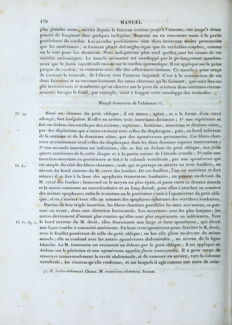 plus grandes anses, suivies depuis le faisceau externe jusqu’à l’interne, ont jusqu’à douze pouces de longueur chez quelques individus. Souvent on en rencontre aussi à la partie postérieure du cordon. Les arcades postérieures sont alors beaucoup moins prononcées que les antérieures , et forment plutôt des angles aigus que de véritables courbes, comme on le voit pour ces dernières. Nous indiquerons plus tard quelles sont les causes de ces variétés anatomiques. Le muscle crémaster est enveloppé par le prolongement membra- neux que \c fascia siipcrficialis envoie sur le cordon spermatique. 11 est appliqué sur la gaine propre du cordon , et contracte avec elle des adhérences intimes. Ce muscle r. pour usage de soutenir le testicule, de 1 élever vers l’anneau inguinal. C’est à la contraction de ses deux faisceaux et au raccourcissement des anses charnues qu’ils forment, que sont dus ces plis transversaux et nombreux qu’on observe sur la peau du scrotum dans certaines circon- stances ; lorsque le froid, par exemple, vient à frapper cette enveloppe des testicules. Muscle transverse de Vabdomen ('). PI. 79. Situé au-dessous du petit oblique, il est mince , aplati , et a la forme d’un carré allongé, fort irrégulier. Il offre en arrière trois insertions distinctes ; 1° une supérieure se fait en dedans des cartilages des sixième, septième , huitième , neuvième et dixième côtes , ' par des digitations qui s’entre-croisent avec celles du diaphragme, puis, au bord inférieur de la onzième et de la douzième côtes, par des aponévroses prononcées. Ces fibres char- nues se continuent avec celles du diaphragme dans les deux derniers espaces intercostaux ; 2° une seconde insertion est inférieure ; elle se fait en dedans du petit oblique, aux trois quarts antérieurs de la crête iliaque et à la partie voisine de l’arcade crurale ; 3° enfin une insertion moyenne ou postérieure se fait à la colonn'e vertébrale, par une aponévrose qui pj. 32, est simple du côté des fibres charnues , mais qui se partage en arrière en trois feuillets, au niveau du bord externe du M. carré des lombes. De ces feuillets, l’un est antérieur et fort mince; il se fixe à la base des apophyses transverses lombaires, en passant au-devant du M. carré des lombes ; le second ou le moyen est plus épais, et passe entre ce dernier muscle et la masse commune au sacro-lombaire et au long dorsal, pour aller s’attacher au sommet des mêmes apophyses; enfin le troisième ou le postérieur s’unit à l’aponévrose du petit obli- que , et va s’insérer avec elle au sommet des apophyses épineuses des vertèbres lombaires. Parties de leur triple insertion, les fibres charnues parallèles les unes aux autres, se por- tent en avant, dans une direction horizontale. Les moyennes sont les plus longues ; les autres deviennent d’autant plus courtes qu’elles sont plus supérieures ou inférieures. Vers PI. 8î, fi}^. I, le bord externe du M. droit, elles fournissent une large et forte aponévx’ose, qui décrit une ligne courbe à concavité antérieure. En haut cette aponévrose passe derrière le M. droit, avec le feuillet postérieur de celle du petit oblique ; en bas elle glisse au-devant du même muscle ; elle se confond avec les autres aponévroses abdominales , au niveau de la ligne blanche. Le M. transverse est recouvert en dehors par le petit oblique ; il est applique en dedans sur le péritoine et une aponévrose appelée fascia Iransvcr salis. Il a pour usage de resserrer transversalement la cavité abdominale, et de ramener en arrière, vers la colonne vertébrale , les viscères qu’elle renferme, et sur lesquels il agit comme une sorte de cein- (1) RI. lomho-ahJominal. Chauss. M. transversm ahdominis. Soëram.
