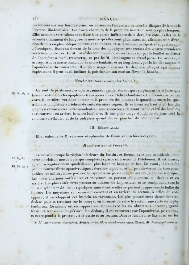 PI. 82, fig. 2 PI. 8:, (ig, 1 2. Pl. 88. Cg. 1 2. prolongées sur son bord externe, en arrière de l’interstice de la crête iliaque ; 2° à tout le ligament ilio-lombaire. Les fibres charnues de la première insertion sont les plus longues. Elles montent verticalement se fi.ver à la partie inférieure de la dernière côte. Celles de la seconde diminuent de longueur à mesure qu’elles sont plus internes, alTecient une direc- tion de plus en plus oblique en haut et en dedans, et se terminent par quatre languettes apo- névrotiques, fixées au devant de la base des apophyses transverses des quatre premières vertèbres lombaires. Le M. carré des lombes est recouvert en avant par le feuillet antérieur de l’aponévrose du M. transverse, et par les M. diaphragme et grand psoas. En arrière, il est séparé de la masse commune au sacro-lombaire et au long dorsal, par le feuillet moyen de l’aponévrose du transverse. 11 a pour usage d’abaisser la dernière côte, et agit comme expirateur; il peut aussi incliner la poitrine de son côté ou élever la hanche. Muscles inlerlransversaires lombaires Ce sont de petits muscles aplatis, minces, quadrilatères, qui remplissent les espaces que ■ laissent entre elles les apophyses transverses des vertèbres lombaires. Le premier se trouve entre la dernière vertèbre dorsale et la première des lombes ; le quatrième entre les qua- trième et cinquième vertèbres de cette dernière région. Ils se fixent eu haut et en bas des apophyses transverses correspondantes , sont recouverts en avant par le carré des lombes, et recouvrent en arrière le sacro-lombaire. Ils ont pour usage d’incliner de leur côté la colonne vertébrale, et de la redresser quand elle est penchée du côté opposé. 111. Région anale. Elle renferme les M. releveur et sphincter de l’anus et l’ischio-coccygien. Muscle releveur de l’anus \?). Ce muscle occupe la région inférieure du bassin, et forme, avec son semblable , une ’ sorte de cloison musculeuse qui complète la paroi inférieure de l’abdomen. 11 est mince, aplati, irrégulièrement quadrilatère, plus large en haut qu’en bas. En avant, il s’attache ’ par de courtes fibres aponévroli<iues, derrière le pubis , et un peu au-dessus du trou sous- pubien ; au milieu, à une portion de l’aponévrose pelvienne ; en arrière, à l’épine sciatique. Les fibres charnues antérieures et moyennes se portent obliquement en dedans et en arrière. Les plus antérieures passent au-dessous de la prostate , et se confondent avec le muscle sphincter de l’anus ; quelques-unes d’entre elles se portent jusque vers le bulbe de l’urètre. Les moyennes se réunissent en avant et en arrière du rectum, à celles du côté opposé, et enveloppent cet intestin en rayonnant. Les plus postérieures descendent eu dedans pour se terminer sur le coccyx, en formant derrière le rectum une sorte de raphé tendineux. Ce muscle est en rapport en dehors avec les M. obturateur interne, grand fessier et transverse du périnée. En dedans, il est recouvert par l’aponévrose pelvienne, et correspond à la prostate, à la vessie et au rectum. Dans la femme il se fixe aussi sur les (i) M. interiransi'ersi lumborum. Soèmm. — (^a) M. sous-pubio-coccjgien, Chauss. M. lemtor ani. Soê'mm.