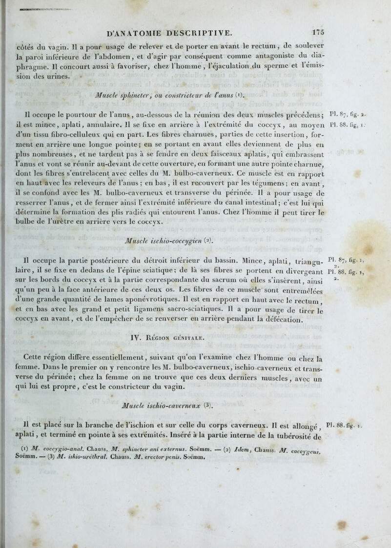 côtés du vagin. Il a pour usage de relever et de porter en avant le rectum, de soulever la paroi inférieure de l’abdomen, et d’agir par conséquent comme antagoniste du dia- phragme. Il concourt aussi à favoriser, chez l’homme , l’éjaculation du sperme et l’émis- sion des urines. Muscle sphincter, ou constricteur de l’anus ('). Il occupe le pourtour de l’anus , au-dessous de la réunion des deux muscles précédens; il est mince, aplati, annulaire. Il se fixe en arrière à l’extrémité du coccyx, au moyen d’un tissu fibro-celluleux qui en part. Les fibres charnues, parties de cette insertion, for- ment en arrière une longue pointe; en se portant en avant elles deviennent de plus en plus nombi’euses, et ne tardent pas à se fendre en deux faisceaux aplatis, qui embrassent l’anus et vont se réunir au-devant de cette ouverture, en formant une autre pointe charnue, dont les fibres s’entrelacent avec celles du M. bulbo-caverneux. Ce muscle est en rapport en haut avec les releveurs de l’anus ; en bas, il est recouvert par les tégumens; en avant, il se confond avec les M. bulbo-caverneux et transverse du périnée. 11 a pour usage de resserrer l’anus, et de fermer ainsi l’extrémité inférieure du canal intestinal; c’est lui qui détermine la formation des plis radiés qui entourent l’anus. Chez l’homme il peut tirer le bulbe de l’urètre en arrière vers le coccyx. Muscle ischio-coccygien (*}. Il occupe la partie postérieure du détroit inférieur du bassin. Mince, aplati, triangu- laire, il se fixe en dedans de l’épine sciatique; de là ses fibres se portent en divergeant sur les bords du coccyx et h la partie correspondante du sacrum où elles s’insèrent, ainsi qu’un peu à la face antérieure de ces deux os. Les fibres de ce muscle sont entremêlées d’une grande quantité de lames aponévrotiques. Il est en rapport en haut avec le rectum et en bas avec les grand et petit ligamens sacro-sciatiques. Il a pour usage de tirer le coccyx en avant, et de l’empêcher de se renverser eu arrière pendant la défécation. IV. Région génitale. Cette région diffère essentiellement, suivant qu’on l’examine chez l’homme ou chez la femme. Dans le premier on y rencontre lesM. bulbo-caverneux, ischio caverneux et trans- verse du périnée ; chez la femme on ne trouve que ces deux derniers muscles, avec un qui lui est propre, c’est le constricteur du vagin. Muscle ischio-caverneux (3). Il est placé sur la branche de l’ischion et sur celle du corps caverneux. Il est allongé, aplati, et terminé en pointe à ses extrémités. Inséré à la partie interne de la tubérosité de (i) M. coccygio-anal. CLauss. M. sphincter ani externus. Soèmm. — (2) Idem, Chaiiss. M, coccjgeus Soëmm. — {3) M, iskio-uréthral, Chauss. M. erectorpénis, Soè'mm. PI. 87, (jg. a. P1.88. fig, I. PI. 87, fig. 1, PI. *88. fig. J, 2. PI. 88. fig. 1.