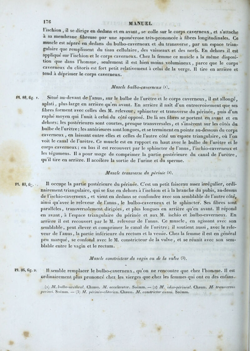 1 MANUEL 1 ischion , il se dirige en dedans et en avant, se colle sur le corps caverneux, et s’attache a sa membrane fibreuse par une aponévrose très-prononcée à fibres longitudinales. Ce muscle est sépare en dedans du bulbo-caverneux et du transverse, par un espace trian- gulaire que remplissent du tissu cellulaire, des vaisseaux et des nerfs. En dehors il est appliqué sur l’ischion et le corps caverneux. Chez la femme ce muscle a la même disposi- tion que dans 1 homme, seulement il est bien moins volumineux , parce que le corps caverneux du clitoris est fort petit relativement a celui de la verge. Il tire en arrière et tend à déprimer le corps caverneux. Muscle bulbo-cavemeux (0. PI. 88, Cg. 1. Situe au-devant de 1 anus, sur le bulbe de l’urètre et le corps caverneux, il est allongé, aplati, plus large en arrière qu en avant. En arrière il naît d’un entrecroisement que ses fibres foi ment avec celles des ]\I. releveur, sphincter et transverse du périnée, puis d’un raphé moyeu qui 1 unit à celui du côté opposé. De là ses fibres se portent en avant et en dehors; les postérieures sont courtes, presque transversales, et s’insèrent sur les cotés du bulbe de 1 urètre ; les antérieures sont longues, et se terminent en pointe au-dessous du corps caverneux , en laissant entre elles et celles de l’autre côté un espace triangulaire, où l’on voit le canal de 1 urètre. Ce muscle est en rapport en haut avec le bulbe de l’urètre et le corps caverneux; en bas il est recouvert par le sphincter de l’anus, l’ischio-caverneux et les légumens. 11 a pour usage de comprimer la partie postérieure du canal de l’ui'ètre, qu il tire en arrière. Il accélère la sortie de l’ui’ine et du sperme. Muscle transversc du périnée (2). PI. 88, fi^. Il occupe la partie postérieure du périnée. C’est un petit faisceau assez irrégulier, ordi- nairement triangulaire, qui se fixe en dehors à l’ischion et à la branche du pubis, au-dessus de rischio-caverneux , et vient en dedans se confondre avec son semblable de l’autre côté, ainsi qu’avec le releveur de l’anus, le bulbo-caverneux et le sphincter. Ses fibres sont parallèles, transversalement dirigées, et plus longues en arrière qu’en avant. Il répond en avant, à l’espace triangulaire du périnée et aux M. ischio et bulbo-caverneux. En arrière il est recouvert par le M. releveur de l’anus. Ce muscle, en agissant avec son semblable, peut élever et comprimer le canal de l’urèlre ; il soutient aussi, avec le rele- veur de l’anus, la partie inférieure du rectum et la vessie. Chez la femme il est en général peu marqué, se confond avec le M. constricteur de la vulve, et se réunit avec son sem- blable entre le vagin et le rectum. Muscle conslrictcur du vagin ou de la vulve 0). PI. 86, fig. a. 11 semble remplacer le bulbo-caverneux, qu’on ne rencontre que chez l’homme. Il est ordinairement plus prononcé chez les vierges que chez les femmes qui ont eu des eufans. (1) lU. hnlbo-iiréthral. Chîuss. 31. accelevalor. Soëmm. — (2) 31. iskio-pévinêal. Chauss. 31- transversus