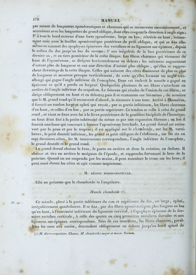 # pai autant de languettes aponevrotiques et charnues qui se recouvrent successivement, et se croisent avee les languettes du grand oblique, dont elles coupent la direction à angle aigu ; 2 à tout le bord externe d’une forte aponévrose, large en bas , rétrécie en haut, intime- inent unie avec le feuillet aponévrotique postérieur du petit oblique, et qui se fixe elle- même au sommet des apophyses épineuses des vertèbres et au ligament sur-épineux , depuis le milieu du dos jusqu’au bas du sacrum; 3“ aux inégalités de la face postérieure de ce dernier os , et au tiers postérieur de la crête iliaque. Les fibres charnues qui viennent du haut de 1 aponévrose, se dirigent horizontalement en dehors ; les suivantes augmentent d’autant plus de longueur et ont une direction d’autant plus oblique , qu’elles se rappro- chent davantage de la crete iliaque. Celles qui naissent des côtes diminuent de plus en plus ' de longueur et montent presque verticalement, de sorte qu’elles forment un angle très- allongé qui gagne 1 angle inférieur de l’omoplate. Dans cet endroit le muscle a gagné en é])aisseur ce qu il a perdu en largeur. Quelquefois plusieurs de ses fibres s’attachent en arrière de l angle inférieur du scapulum. Le faisceau qui résulte de l’uuion de ces fibres , se dirige obliquement en haut et en dehors ; puis il se contourne sur lui-même , de manière que le M. grand rond qu’il recouvrait d’abord, le recouvre à son tour. Arrivé à l’humérus, il fournil un tendon large et aplati qui reçoit, par sa partie inférieure, les fibres charnues d’en haut, et celles d’en bas , par sa partie supérieure. Ce tendon se colle à celui dii grand rond , et vient se fixer avec lui à la lèvre postérieure de la gouttière bicipitale de l’humérus; en haut il est fixé à la petite tubérosité du même os par une expansion fibreuse ; en bas il fournit une lame qui concourt à former l’aponévrose brachiale. Le grand dorsal est recou- vert par la peau et par le trapèze; il est appliqué sur le rhomboïde, sur les M. verté- braux, le petit dentelé inférieur, les grand et petit obliques de l’abdomen , sur les six ou sept dernières côtes, les M. intercostaux correspondans, l’angle inférieur de l’omoplate, le grand dentelé et le grand rond. Le grand dorsal abaisse le bras, le porte en arrière et dans la rotation en dedans. Il abaisse et tire en arrière le moignon de l’épaule, et rapproche fortement le bras de la poitrine. Quand on est suspendu par les mains, il peut entraîner le tronc sur les bras; il peut aussi élever les côtes et agir comme inspirateur. II. RÉGION DORSO-CERVICALE. Elle ne présente que le rhomboïde et l’angulaire. Muscle rhomboïde CO. PI. qo. Ce muscle, placé à la partie inférieure du cou et supérieure du dos , est large , aplati, irrégulièrement quadrilatère. Il se fixe , par des fibres aponévroliques plus longues en bas qu’en haut, à l’extrémité inférieure du ligament cervical, à l’apophyse épineuse de la der- nière vertèbre cervicale, à celle des quatre ou cinq premières vertèbres dorsales et aux ligamens sur-épineux correspondans. Nées de ces insertions, les fibres charnues, paral- lèles les unes aux autres, descendent obliquement en dehors jusqu’au bord spinal de j^i) it/. dorso-scapidaire. Chauss, JSI. rhomhoïflei major et miuor. Soé'mm.