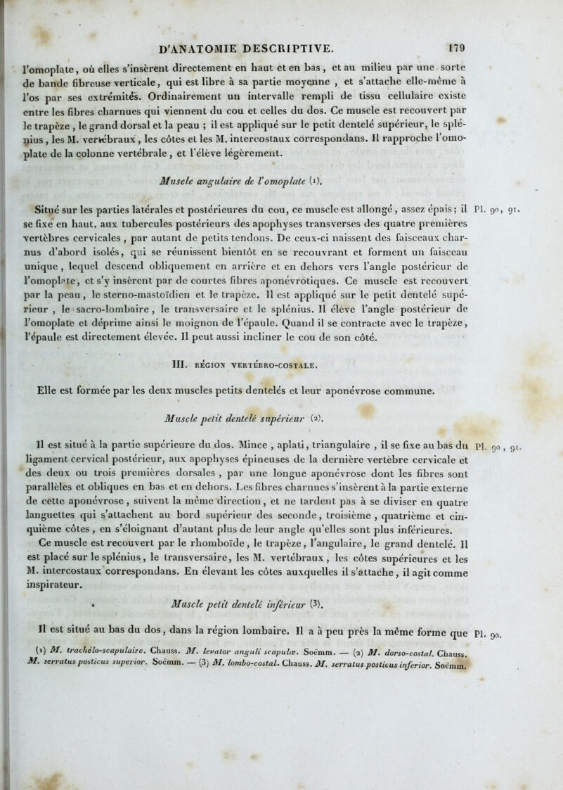 l’omoplate, où elles s’insèrent directement en haut et en bas , et au milieu par une sorte de bande fibreuse verticale, qui est libre à sa partie moyenne , et s’attache elle-même à l’os par ses extrémités. Ordinairement un intervalle rempli de tissu cellulaire existe entre les fibres charnues qui viennent du cou et celles du dos. Ce muscle est recouvert par le trapèze , le grand dorsal et la peau ; il est appliqué sur le petit dentelé supérieur, le splé- nius, les M. verwîbraux, les côtes et les M. Intercostaux correspondans. Il rapproche l’omo- plate de la colonne vertébrale , et l’élève légèrement. Muscle angulaire de Vomoplate (i). Situé sur les parties latérales et postérieures du cou, ce muscle est allongé, assez épais ; il PI. 90, se fixe en haut, aux tubercules postérieurs des apophyses transverses des quatre premières vertèbres cervicales , par autant de petits tendons. De ceux-ci naissent des faisceaux char- nus d’abord isolés, qui se réunissent bientôt en se recouvrant et forment un faisceau unique , lequel descend obliquement en arrière et en dehors vers l’angle postérieur de l’omoplate, et s’y Insèrent par de courtes fibres aponévrotiques. Ce muscle est recouvert par la peau, le sterno-mastoïdien et le trapèze. 11 est appliqué sur le petit dentelé supé- rieur , le sacro-lombaire , le transversaire et le splénius. Il élève l’angle postérieur de l’omoplate et déprime ainsi le moignon de l’épaule. Quand il se contracte avec le trapèze, l’épaule est direetement élevée. Il peut aussi incliner le cou de son côté. III. régiox vertébro-costale. Elle est formée par les deux muscles petits dentelés et leur aponévrose commune. Muscle petit dentelé supérieur (2). Il est situé à la partie supérieure du dos. Mince , aplati, triangulaire , il se fixe au bas du pi, go , ligament cervical postérieur, aux apophyses épineuses de la dernière vertèbre cervicale et des deux ou trois premières dorsales , par une longue aponévrose dont les fibres sont parallèles et obliques en bas et en dehors. Les fibres charnues s’insèrent à la partie externe de cette aponévrose, suivent la même direction, et ne tardent pas à se diviser en quatre languettes qui s’attachent au bord supérieur des seconde, troisième , quatrième et cin- quième côtes , en s’éloignant d'autant plus de leur angle qu’elles sont plus inférieures. Ce muscle est recouvert par le rhomboïde, le trapèze, l’angulaire, le grand dentelé. 11 est placé sur le splénius, le transversaire, les M. vertébraux, les côtes supérieures et les M. intercostaux'correspondans. En élevant les côtes auxquelles il s’attache, il agit comme inspirateur. • Muscle petit dentelé inférieur (3). Il est situé au bas du dos, dans la région lombaire. Il a à peu près la même forme que PI, 90 (1) M. trachélo-scapulaire. Chauss. M. tevalor anguti scaputœ. Soémtn. — (2) M. dorso-costal. Chauss. M. serratus posticus supevior. Soèmm. — (3) M. lombo-costaL Chauss. M. serratus poslUus inferior. Soémm.