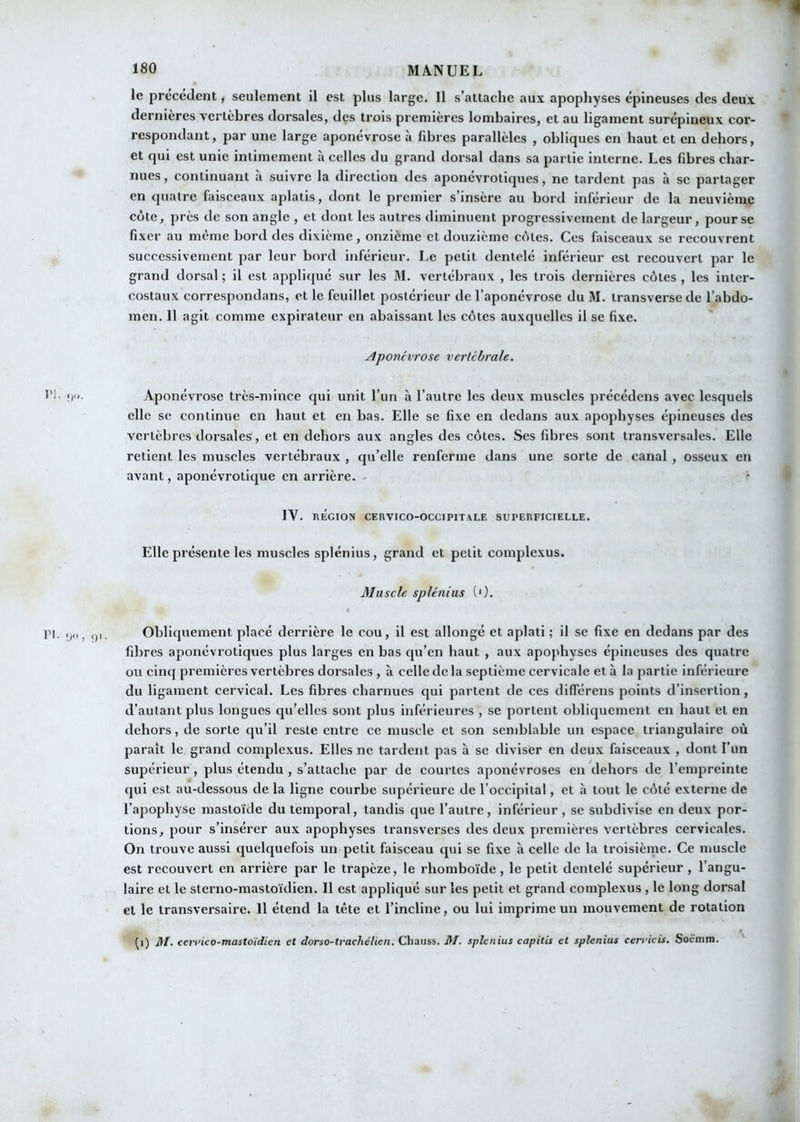 « 180 MANUEL le précédent, seulement il est plus large. 11 s’attache aux apophyses épineuses des deux dernières vertèbres dorsales, des trois premières lombaires, et au ligament surépineux cor- respondant, par une large aponévrose à fibres parallèles , obliques en haut et en dehors, et qui est unie intimement à celles du grand dorsal dans sa partie interne. Les fibres char- nues, continuant a suivre la direction des aponevrotiques, ne tardent pas à sc partager en quatre faisceaux aplatis, dont le premier s’insère au bord inférieur de la neuvième côte, près de son angle , et dont les autres diminuent progressivement de largeur, pour se fixer au même bord des dixième , onzième et douzième côtes. Ces faisceaux se recouvrent successivement par leur bord inférieur. Le petit dentelé inférieur est recouvert par le grand dorsal ; il est appliqué sur les M. vertébraux , les trois dernières côtes , les inter- costaux correspondans, et le feuillet jîostérieur de l’aponévrose du M. transverse de l’abdo- men. 11 agit comme expirateur en abaissant les côtes auxquelles il se fixe. Aponévrose vertébrale. *’I- <)'•■ Aponévrose très-mince qui unit l’un à l’autre les deux muscles précédens avec lesquels elle se continue en haut et en bas. Elle se fixe en dedans aux apophyses épineuses des vertèbres dorsales, et en dehors aux angles des côtes. Ses fibres sont transversales. Elle retient les muscles vertébraux , qu’elle renferme dans une sorte de canal , osseux en avant, aponévrotique en arrière. IV. RÉGION CERVICO-OCCIPITALE SUPERFICIELLE. Elle présente les muscles splénius, grand et petit complexus. Muscle splénius (0. PI. y>, ()i. Obliquement placé derrière le cou, il est allongé et aplati; il se fixe en dedans par des fibres aponévrotiques plus larges en bas qu’en haut , aux apophyses épineuses des quatre ou cinq premières vertèbres dorsales , à celle de la septième cervicale et à la partie inférieure du ligament cervical. Les fibres charnues qui partent de ces différens points d’insertion, d’autant plus longues qu’elles sont plus inférieures , se portent obliquement en haut et en dehors, de sorte qu’il reste entre ce muscle et son semblable un espace triangulaire où paraît le grand complexus. Elles ne tardent pas à sc diviser en deux faisceaux , dont l’un supérieur , plus étendu , s’attache par de courtes aponévroses en dehors de l’empreinte qui est au-dessous de la ligne courbe supérieure de l’occipital, et à tout le côté externe de l’apophyse mastoïde du temporal, tandis que l’autre, inférieur, se subdivise en deux por- tions, pour s’insérer aux apophyses transverses des deux premières vertèbres cervicales. On trouve aussi quelquefois un petit faisceau qui se fixe à celle de la troisièine. Ce muscle est recouvert en arrière par le trapèze, le rhomboïde, le petit dentelé supérieur , l’angu- laire et le sterno-mastoïdien. 11 est appliqué sur les petit et grand complexus , le long dorsal et le transversaire. Il étend la tête et l’incline, ou lui imprime un mouvement de rotation