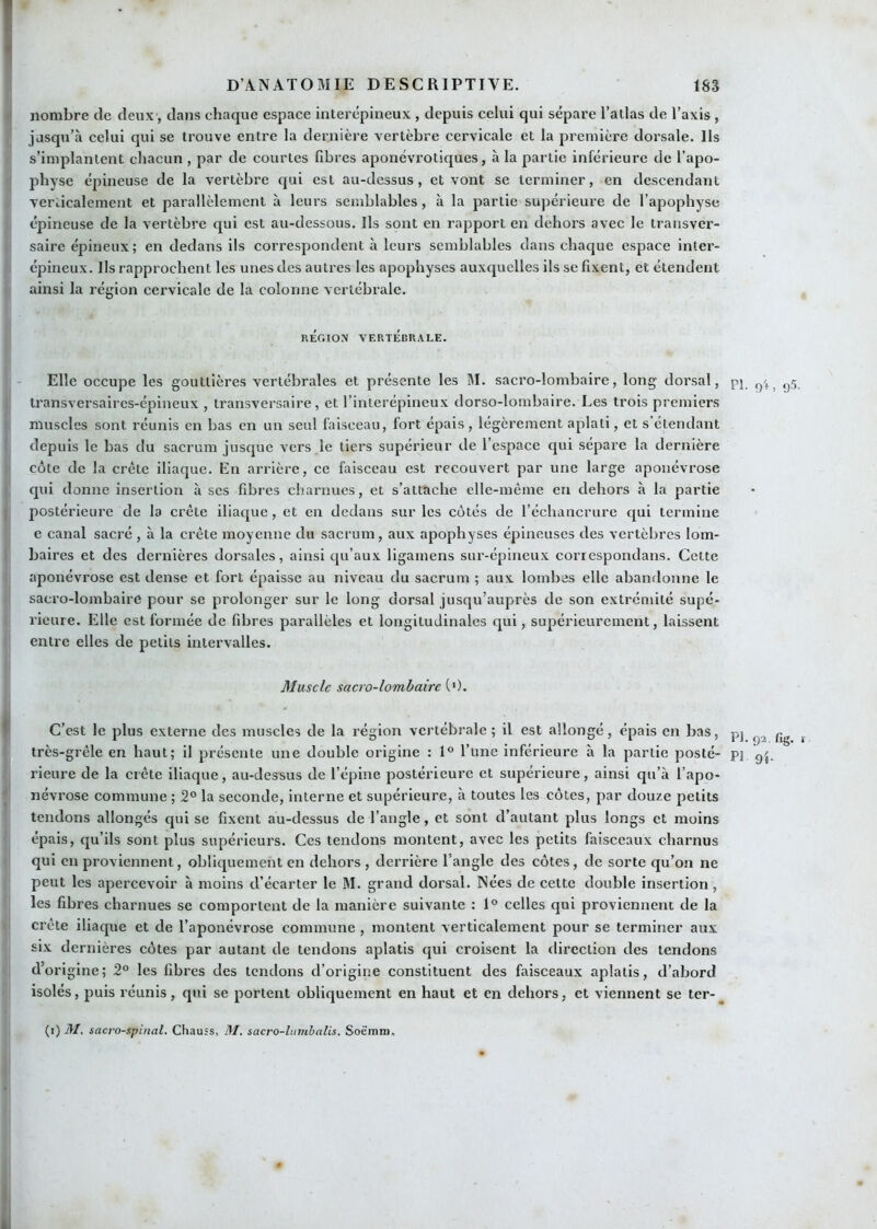 nombre de deux , dans chaque espace interépineux , depuis celui qui sépare l’atlas de l’axis , jusqu’à celui qui se trouve entre la dernière vertèbre cervicale et la première dorsale. Ils s’implantent chacun , par de eourtes fibres aponévrotiques, à la partie inférieure de l’apo- physe épineuse de la vertèbre qui est au-dessus, et vont se terminer, en descendant verlicalement et parallèlement à leurs semblables, à la partie supérieure de l’apophyse épineuse de la vertèbre qui est au-dessous. Ils sont en rapport en dehors avec le transver- saire épineux; en dedans ils correspondent à leurs semblables dans chaque espace inter- épineux. Ils rapprochent les unes des autres les apophyses auxquelles ils se fixent, et étendent ainsi la région cervicale de la colonne vertébrale. RÉC.IOX VERTEBRALE. Elle occupe les gouttières vertébrales et présente les M. sacro-lombaire, long dorsal, pj ,^5 transversaires-épineux , transversaire, et l’interépineux dorso-lombaire. Les trois premiers muscles sont réunis en bas en un seul faisceau, fort épais , légèrement aplati, et s’étendant depuis le bas du sacrum jusque vers le tiers supérieur de l’espace qui sépare la dernière côte de la crête iliaque. En arrière, ce faisceau est recouvert par une large aponévrose qui donne insertion à ses fibres charnues, et s’attache elle-même en dehors à la partie postérieure de la crête iliaque, et en dedans sur les côtés de l’échancrure qui termine e canal sacré , à la crête moyenne du sacrum, aux apophyses épineuses des vertèbres lom- baires et des dernières dorsales, ainsi qu’aux ligamens sur-épineux correspondans. Cette aponévrose est dense et fort épaisse au niveau du sacrum ; aux lombes elle abandonne le sacro-lombaire pour se prolonger sur le long dorsal jusqu’auprès de son extrémité supé- rieure. Elle est formée de fibres parallèles et longitudinales qui, supérieurement, laissent entre elles de petits intervalles. Muscle sacro-lombaire ('). C’est le plus externe des muscles de la région vertébrale; il est allongé, épais en bas, pj ^ très-grêle en haut; il présente une double origine : 1“ l’une inférieure à la partie posté- pj rieure de la crête iliaque, au-dessus de l’épine postérieure et supérieure, ainsi qu’à l’apo- névrose commune ; 2° la seconde, interne et supérieure, à toutes les côtes, par douze petits tendons allongés qui se fixent au-dessus de l’angle, et sont d’autant plus longs et moins épais, qu’ils sont plus supérieurs. Ces tendons montent, avec les petits faisceaux charnus qui en proviennent, obliquement en dehors , derrière l'angle des côtes, de sorte qu’on ne peut les apercevoir à moins d’écarter le M. grand dorsal. Nées de cette double insertion , les fibres charnues se comportent de la manière suivante : 1° celles qui proviennent de la crête iliaque et de l’aponévrose commune , montent verticalement pour se terminer aux SIX dernières eôtes par autant de tendons aplatis qui croisent la direction des tendons d’origine; 2° les fibres des tendons d’origine constituent des faisceaux aplatis, d’abord isolés, puis réunis, qui se portent obliquement en haut et en dehors, et viennent se ter-^ (i) M. sacro-spinal. Chauss, M. sacro-lnmbalis. Soëmm,