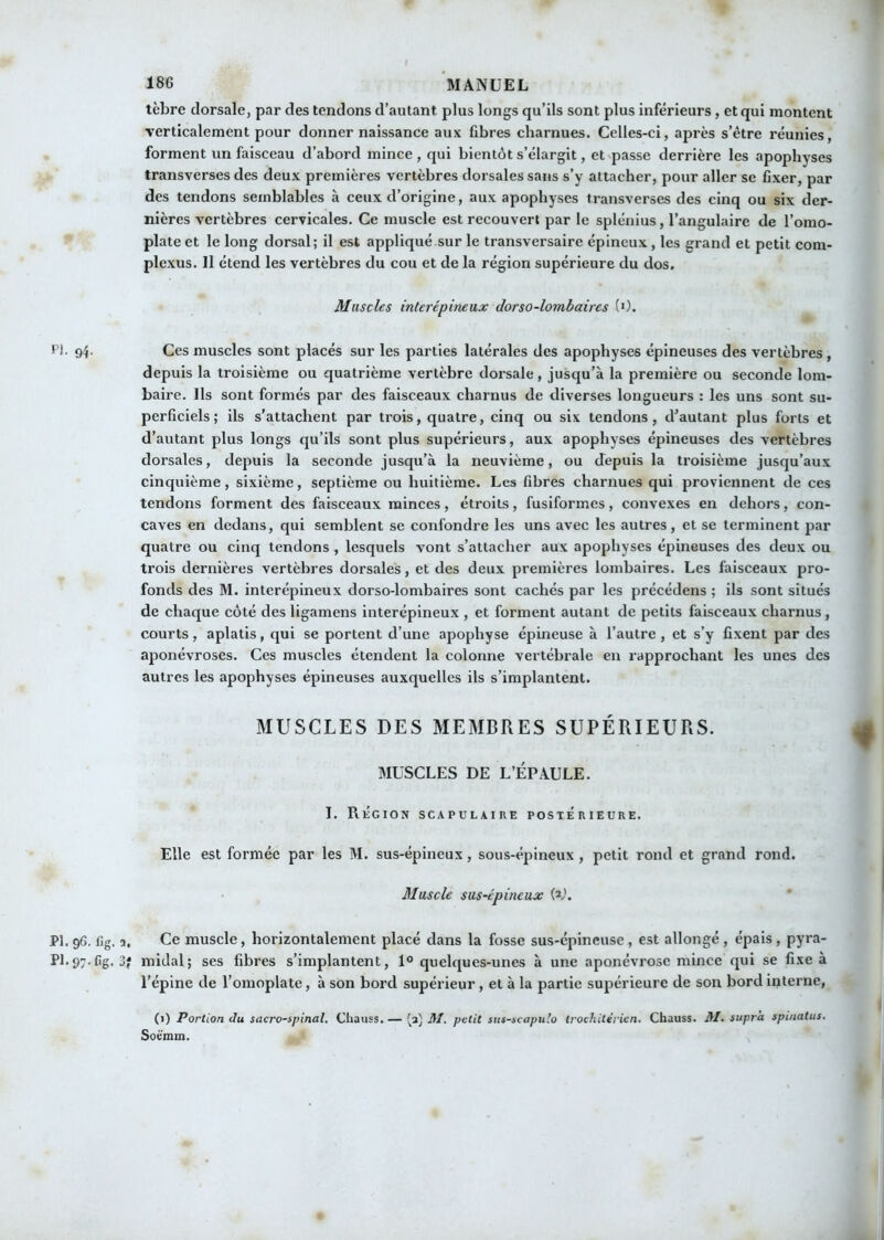 ►fl ►» tèbre dorsale, par des tendons d’autant, plus longs qu’ils sont plus inférieurs, et qui montent verticalement pour donner naissance aux fibres charnues. Celles-ci, après s’être réunies, forment un faisceau d’abord mince, qui bientôt s’élargit, et^passe derrière les apophyses transverses des deux premières vertèbres dorsales sans s’y attacher, pour aller se fixer, par des tendons semblables à ceux d’origine, aux apophyses transverses des cinq ou six der- nières vertèbres cervicales. Ce muscle est recouvert par le splénius, l’angulaire de l’omo- plate et le long dorsal; il est appliqué sur le transversaire épineux, les grand et petit com- plexus. Il étend les vertèbres du cou et de la région supérieure du dos. Muscles interépineux dorso-lombaires (0. t’I. 94- Ces muscles sont placés sur les parties latérales des apophyses épineuses des vertèbres , depuis la troisième ou quatrième vertèbre dorsale, jusqu’à la première ou seconde lom- baire. Ils sont formés par des faisceaux charnus de diverses longueurs : les uns sont su- perficiels ; ils s’attachent par trois, quatre, cinq ou six tendons, d’autant plus forts et d’autant plus longs qu’ils sont plus supérieurs, aux apophyses épineuses des vertèbres dorsales, depuis la seconde jusqu’à la neuvième, ou depuis la troisième jusqu’aux cinquième, sixième, septième ou huitième. Les fibres charnues qui proviennent de ces tendons forment des faisceaux minces, étroits, fusiformes, convexes en dehors, con- caves en dedans, qui semblent se confondre les uns avec les autres, et se terminent par quatre ou cinq tendons , lesquels vont s’attacher aux apophyses épineuses des deux ou trois dernières vertèbres dorsales, et des deux premières lombaires. Les faisceaux pro- fonds des M. interépineux dorso-lombaires sont cachés par les précédens ; ils sont situés de chaque côté des ligamens interépineux , et forment autant de petits faisceaux charnus, courts, aplatis, qui se portent d’une apophyse épineuse à l’autre, et s’y fixent par des aponévroses. Ces muscles étendent la colonne vertébrale en rapprochant les unes des autres les apophyses épineuses auxquelles ils s’implantent. MUSCLES DES MEMBRES SUPÉRIEURS. MUSCLES DE L’ÉPAULE. I. Région scapulaire postérieure. Elle est formée par les M. sus-épineux, sous-épineux, petit rond et grand rond. Muscle sus-épineux W. . 96, Cg. 2. Ce muscle, horizontalement placé dans la fosse sus-épineuse , est allongé , épais , pyra- 1.97-fig. 3? midal; ses fibres s’implantent, 1« quelques-unes à une aponévrose mince qui se fixe à l’épine de l’omoplate, à son bord supérieur, et à la partie supérieure de son bord interne, (i) Portion du sacro-spinal. Chauss. — ^a) M. petit stts-scapulo trochitérien. Chauss. M. supra spinatus, Soëmin.