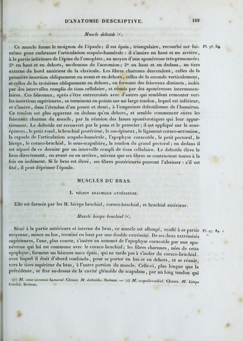 Muscle deltoïde (<). Ce muscle forme le moignon de l’épaule; il est épais, triangulaire, recourbé sur lui- PI. Gg meme pour embrasser l’articulation scapulo-humérale : il s’insère en haut et en arrière, à la partie inférieure de l’épine de l’omoplate, au moyen d’une aponévrose très-prononcée; 2*^ en haut et en dehors, au-dessous de l’acromion; 3“ en haut et en dedans, au tiers externe du bord antérieur de la clavicule. Les fibres charnues descendent, celles de la première insertion obliquement en avant et en dehors, celles de la seconde verticalement, et celles de la troisième obliquement en dehors, en formant des faisceaux distincts , isolés par des intervalles remplis de tissu cellulaire, et réunis par des aponévroses intermuscu- laires. Ces faisceaux, après s’être entrecroisés avec d’autres qui semblent remonter vers les insertions supérieures, se terminent en pointe sur un large tendon, lequel est inférieur, et s’insère, dans l’étendue d’un pouce et demi, à l’empreinte deltoïdienne de l’humérus. Ce tendon est plus apparent en dedans qu’en dehors, et semble commencer entre les faisceaux charnus du muscle, par la réunion des lames aponévrotiques qui leur appar- tiennent. Le deltoïde est recouvert par la peau et le peaucier; il est appliqué sur le sous- épineux , le petit rond, le brachial postérieur, le sus-épineux , le ligament coraco-acromien, la capsule de l’articulation scapulo-humérale, l’apophyse coracoïde, le petit pectoral, le biceps, le coraco-brachial, le sous-scapulaire, le tendon du grand pectoral ; en dedans il est séparé de ce dernier par un intervalle rempli de tissu cellulaire. Le deltoïde élève le bras directement, en avant ou en arrière, suivant que ses fibres se contractent toutes à la fois ou isolément. Si le bras est élevé, ses fibres postérieures peuvent l’abaisser : s’il est fixé , il peut déprimer l’épaule. MUSCLES DU BRAS. I. RÉGION BRACHIALE ANTERIEURE. Elle est formée par les M. biceps brachial, coraco-brachial, et brachial antérieur. Muscle biceps brachial (a). Situé à la partie antérieure et interne du bras, ce muscle est allongé, renflé à sa partie P), fig , moyenne, mince au bas, terminé en haut par une double extrémité. De ses deux extrémités supérieures, l’une, plus courte, s’insère au sommet de l’apophyse coracoïde par une apo- névrose qui lui est commune avec le coraco brachial ; les fibres charnues, nées de cette apophyse , forment un faisceau assez épais, qui ne tarde pas à s’isoler du coraco-brachial avec lequel il était d’abord confondu, pour se porter en bas et en dehors, et se réunir vers le tiers supérieur du bras, à l’autre portion du muscle. Celle-ci, plus longue que la précédente, se fixe au-dessus de la cavité glénoïde du scapulum, par un long tendon qui (i) M. sous-aevomio huméral. Chauss. M. deltoïdes. Soèmm. — (2) M. scapulo-radial. Chauss. M. biceps brachii. Soemm. '