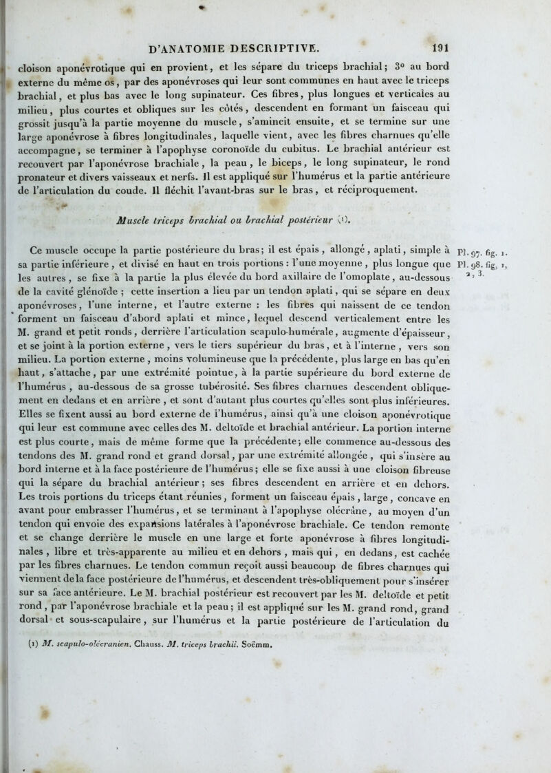 * D’ANATOMIE DESCRIPTIVE. 191 I cloison aponévrotique qui en provient, et les sépare du triceps brachial; 3° au bord il externe du même os, par des aponévroses qui leur sont communes en haut avec le triceps brachial, et plus bas avec le long supinateur. Ces fibres, plus longues et verticales au milieu, plus courtes et obliques sur les côtés, descendent en formant un faisceau qui grossit jusqu’à la partie moyenne du muscle, s’amincit ensuite, et se termine sur une large aponévrose à fibres longitudinales, laquelle vient, avec les fibres charnues qu’elle accompagne, se terminer à l’apophyse coronoïde du cubitus. Le brachial antérieur est recouvert par l’aponévrose brachiale , la peau , le biceps, le long supinateur, le rond pronateur et divers vaisseaux et nerfs. Il est appliqué sur l’humérus et la partie anterieure de l’articulation du coude. Il fléchit l’avant-bras sur le bras, et réciproquement. Muscle triceps brachial ou brachial postérieur *.0. Ce muscle occupe la partie postérieure du bras; il est épais, allonge, aplati, simple à sa partie inférieure , et divisé en haut en trois portions : l’une moyenne , plus longue que les autres , se fixe à la partie la plus élevée du bord axillaire de l’omoplate, au-dessous de la cavité glénoïde ; cette insertion a lieu par un tendon aplati, qui se sépare en deux aponévroses, l’une interne, et l’autre externe : les fibres qui naissent de ce tendon forment un faisceau d’abord aplati et mince, lequel descend verticalement entre les M. grand et petit ronds, derrière l'articulation scapulo-humérale, augmente d’épaisseur, et se joint à la portion externe , vers le tiers supérieur du bras , et à l’interne , vers son milieu. La portion externe , moins volumineuse que la précédente, plus large en bas qu’en haut, s’attache, par une extrémité pointue, à la partie supérieure du bord externe de l’humérus , au-dessous de sa grosse tubérosité. Ses fibres chaimues descendent oblique- ment en dedans et en arrière , et sont d’autant plus courtes qu’elles sont plus inférieures. Elles se fixent aussi au bord externe de l’humérus, ainsi qu’à une cloison aponévrotique qui leur est commune avec celles des M. deltoïde et brachial antérieur. La portion interne est plus courte, mais de même forme que la précédente; elle commence au-dessous des I tendons des M. grand rond et grand dorsal, par une extrémité allongée , qui s’insère au bord interne et à la face postérieure de l’humérus ; elle se fixe aussi à une cloison fibreuse qui la sépare du brachial antérieur ; ses fibres descendent en arrière et en dehors. Les trois portions du triceps étant réunies, forment un faisceau épais, large, concave en avant pour embrasser l’humérus, et se terminant à l’apophyse olécrane, au moyen d’un tendon qui envoie des expansions latérales à l’aponévrose brachiale. Ce tendon remonte et se change derrière le muscle en une large et forte aponévrose à fibres longitudi- nales , libre et très-apparente au milieu et en dehors , mais qui, en dedans, est cachée par les fibres charnues. Le tendon commun reçoit aussi beaucoup de fibres charnues qui viennent delà face postérieure de l’humérus, et descendent très-obliquement pour s’insérer sur sa face antérieure. Le M. brachial postérieur est recouvert par les M. deltoïde et petit rond, par l’aponévrose brachiale et la peau ; il est appliqué sur les M. grand rond, grand dorsal et sous-scapulaire, sur l’humérus et la partie postérieure de l’articulation du (i) Jfl. scapulo-olécranien. Cliauss. M. triceps Irachiî. Soëmin. PI. 97. fig. 1. Pl.98.fig, ,, a, 3. ftl