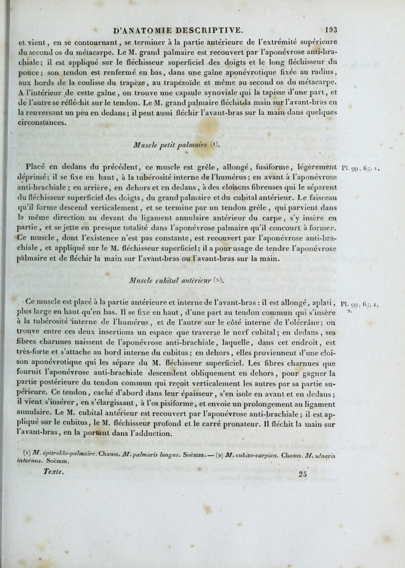 ( et vient, en se contournant, se terminer à la partie antérieure de l’extrémité supérieure ' du second os du métacarpe. Le M. grand palmaire est recouvert par l’aponévrose anti-bra- chiale ; il est appliqué sur le fléchisseur superficiel des doigts et le long fléchisseur du pouce; son tendon est renfermé en bas, dans une gaine aponévrotique fixée au radius, aux bords de la coulisse du trapèze, au trapézoïde et même au second os du métacarpe. A l’intérieur de cette gaine, on trouve une capsule synoviale qui la tapisse d’une part, et de l’autre se réfléchit sur le tendon. Le M. grand palmaire fléchiula main sur l’avant-bras en la renversant un peu en dedans ; il peut aussi fléchir l’avant-bras sur la main dans quelques circonstances. Muscle petit palmaire ('). Placé en dedans du précédent, ce muscle est grêle, allongé, fusiforme, légèrement P].9Ç),t;:^. i. déprimé; il se fixe en haut, à la tubérosité interne de l’humérus ; en avant à l’aponévrose anti-brachiale ; en arrière, en dehors et en dedans , à des cloisons fibreuses cpii le séparent du fléchisseur superficiel des doigts, du grand palmaire et du cubital antérieur. Le faisceau qu’il forme descend verticalement, et se termine par un tendon grêle , qui parvient dans la même direction au devant du ligament annulaire antérieur du carpe, s’y insère en partie , et se jette en presque totalité dans l’aponévrose palmaire qu’il concourt à former. Ce muscle, dont l’existence n’est pas constante, est recouvert par l’aponévrose anti-bra- chiale , et appliqué sur le M. fléchisseur superficiel; il a pour usage de tendre l’aponévrose palmaire et de fléchir la main sur l’avant-bras ou l’avant-bras sur la main. Muscle cubital anterieur (^). Ce muscle est placé à la partie antérieure et interne de l’avant-bras : il est allongé, aplati, pi, ,.9, n.. ,, plus large en haut qu’en bas. Il se fixe en haut, d’une part au tendon commun qui s’insère à la tubérosité interne de l’humérus, et de l’autre sur le côté interne de l’olécrane; on trouve entre ces deux insertions un espace que traverse le nerf cubital ; en dedans , ses fibres charnues naissent de l’aponévrose anti-brachiale, laquelle, dans cet endroit, est très-forte et s’attache au bord interne du cubitus; en dehors, elles proviennent d’une cloi- son aponévrotique qui les sépare du M. fléchisseur superficiel. Les fibres charnues cpie fournit 1 aponévrose anti-brachiale descendent obliquement en dehors, pour gagner la partie postérieure du tendon commun qui reçoit verticalement les autres par sa partie su- périeure. Ce tendon, cache d’abord dans leur épaisseur, s’en isole en avant et en dedans; il vient, s insérer, en s élargissant, à l’os pisiforme, et envoie un prolongement au ligament annulaire. Le M. cubital antérieur est recouvert par l’aponévrose anti-brachiale ; il est ap- pliqué sur le cubitus, le M. fléchisseur profond et le carré pronateur. Il fléchit la main sur 1 avant-bras, en la portant dans l’adduction. (i) M. épitrohlo-palmaire. Chauss. 31. palmaris longus. Soëmm. — (2) 31. cuhito-carpien. CLaiiss, 31. utnaris internus. Soemm. Texte. 25