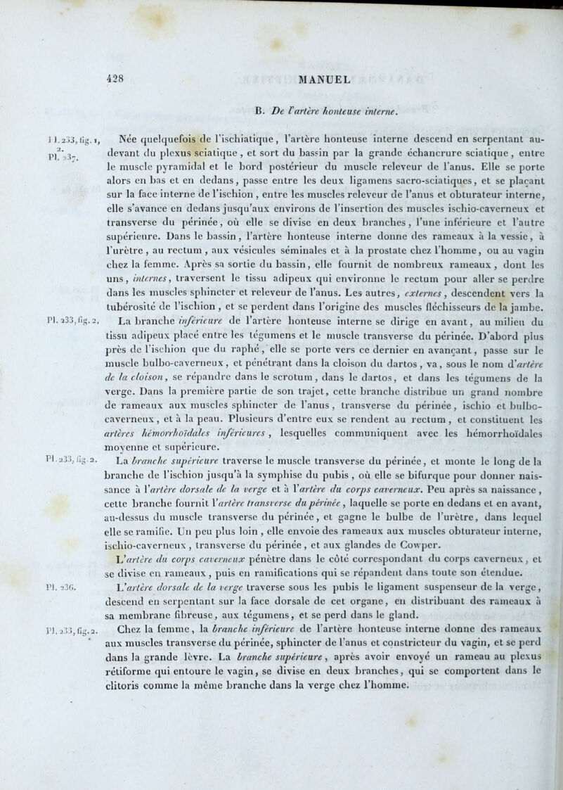 1 J. 2JJ, fig. I, Pl’aS;. PI. a33,fig. 2, PJ. 233, fig. 2. PI. 23G. p]. 233), fig. 2. B. De tarière honteuse interne. Née quelquefois de l'ischiatique, l’artère honteuse interne descend en serpentant au- devant du plexus sciatique , et sort du bassin par la grande échancrure sciatique, entre le muscle pyramidal et le bord postérieur du muscle releveur de l’anus. Elle se porte alors en bas et en dedans, passe entre les deux ligamens sacro-sciatiques, et se plaçant sur la face Interne de l’ischion , entre les muscles releveur de l’anus et obturateur interne, elle s’avance en dedans jusqu’aux environs de l’insertion des muscles ischio-caverneux et transverse du périnée, où elle se divise en deux branches, l’une inférieure et l’autre supérieure. Dans le bassin, l’artère honteuse interne donne des rameaux à la vessie, à l’urètre , au rectum , aux vésicules séminales et à la prostate chez l’homme, ou au vagin chez la femme. Après sa sortie du bassin, elle fournit de nombreux rameaux, dont les uns, mtemes, traversent le tissu adipeux qui environne le rectum pour aller se perdre dans les muscles sphincter et releveur de l’anus. Les autres, externes, descendent vers la tubérosité de l’ischion , et se perdent dans l’origine des muscles fléchisseurs de la jambe. La branche inférieure de l’artère honteuse interne se dirige en avant, au milieu du tissu adipeux placé entre les tegumens et le muscle transverse du périnée. D’abord plus près de l’ischion que du raphé, elle se porte vers ce dernier en avançant, passe sur le muscle bulbo-caverneux, et pénétrant dans la cloison du dartos , va, sous le nom à'artère de la cloison, se répandre dans le scrotum, dans le dartos, et dans les tégumens de la verge. Dans la première partie de son trajet, cette branche distribue un grand nombre de rameaux aux muscles sphincter de l’anus , transverse du périnée, iscliio et bulbo- caverneux, et à la peau. Plusieurs d’entre eux se rendent au rectum, et constituent les artères hémorrho'idalcs inférieures , lesquelles communiquent avec les hérnorrhoïdales moyenne et supérieure. La branche supérieure traverse le muscle transverse du périnée, et monte le long de la branche de l’ischion jusqu’à la symphise du pubis , où elle se bifurque pour donner nais- sance à Xartère dorsale de la verge et à Xartère du corps caverneux. Peu après sa naissance , cette branche fournit Xartère Iransrcrse du périnée, laquelle se porte en dedans et en avant, au-dessus du muscle transversc du périnée, et gagne le bulbe de l’urètre, dans lequel elle se ramifie. Un peu plus loin , elle envoie des rameaux aux muscles obturateur interne, ischio-caverneux , transverse du périnée, et aux glandes de Cowper. artère du corps caverneux pénètre dans le côté correspondant du corps caverneux, et SC divise eu rameaux, puis en ramifications qui se répandent dans toute son étendue. artère dorsale de la verge traverse sous les pubis le ligament suspenseur de la verge, descend en serpentant sur la face dorsale de cet organe, en distribuant des rameaux à sa membrane fibreuse, aux tégumens, et se perd dans le gland. Chez la femme, la branche inférieure de l’artère honteuse interne donne des rameaux aux muscles transverse du périnée, sphincter de l’anus et constricteur du vagin, et se perd dans la grande lèvre. La branche supérieure, après avoir envoyé un rameau au plexus rétiforme qui entoure le vagin, se divise en deux branches, qui se comportent dans le clitoris comme la même branche dans la verge chez l’homme.