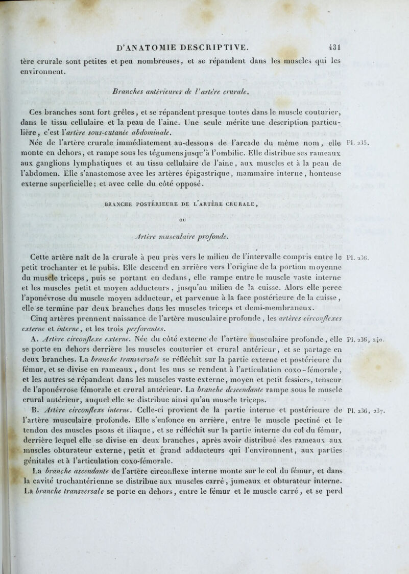 1ère crurale sont petites et peu nombreuses, et se répandent dans les muscles cpii les environnent. Branches antérieures de Vartère crurale. Ces branches sont fort grêles , et se répandent presque toutes dans le muscle couturier, dans le tissu cellulaire et la peau de l’aine. Une seule mérite une description particu- lière , c’est \artère sous-cutanée abdominale. Née de l’artère crurale immédiatement au-dessous de l’arcade du même nom, elle PI. 235. monte en dehors, et rampe sous les tégumens jusqu’à l’ombilie. Elle distribue ses rameaux aux ganglions lymphatiques et au tissu cellulaire de l’aine, aux muscles et à la peau de l’abdomen. Elle s’anastomose avec les artères épigastrique, mammaire interne, honteuse externe superficielle; et avec celle du côté opposé. BRANCHE POSTÉRIEURE DE l’aRTÈRE CRURALE, on Artère musculaire profonde. Cette artère naît de la crurale à peu près vers le milieu de l’intervalle compris entre le PI. a3(5. petit trochanter et le pubis. Elle descend en arrière vers l’origine de la portion moyenne du muscle triceps, puis se portant en dedans, elle rampe entre le muscle vaste interne et les muscles petit et moyen adducteurs , jusqu’au milieu de la cuisse. Alors elle perce l’aponévrose du muscle moyen adducteur, et parvenue à la face postérieure de la cuisse, elle se termine par deux branches dans les muscles triceps et demi-membraneux. Cinq artères prennent naissance de l’artère musculaire profonde , les artères circonflexes externe et interne, et les trois perforantes. A. Artère circonfexe externe. Née du côté externe de l’artère musculaire profonde, elle PJ. a36, i\o. se porte en dehors derrière les muscles couturier et crural antérieur, et se partage en deux branches. La branche transversale se réfléchit sur la partie externe et postérieure du fémur, et se divise en rameaux, dont les uns se rendent à l’articulation coxo - fémorale, et les autres se répandent dans les muscles vaste externe, moyen et petit fessiers, tenseur de l’aponévrose fémorale et crural antérieur. La branche descendante rampe sous le muscle crural antérieur, auquel elle se distribue ainsi qu’au muscle triceps. B. Artère circonflexe interne. Celle-ci provient de la partie interne et postérieure de Pl. 236, 287. l’artère musculaire profonde. Elle s’enfonce en arrière, entre le muscle pectiné et le tendon des muscles psoas et iliaque, et se réfléchit sur la partie interne du col du fémur, derrière lequel elle se divise en deux branches, après avoir distribué des rameaux aux muscles obturateur externe, petit et grand adducteurs qui l’environnent, aux parties génitales et à l’articulation coxo-fémorale. La branche ascendante de l’artèfe circonflexe interne monte sur le col du fémur, et dans la cavité trochantérienne se distribue aux muscles carré, jumeaux et obturateur interne. La branche transversale se porte en dehors, entre le fémur et le muscle carré, et se perd