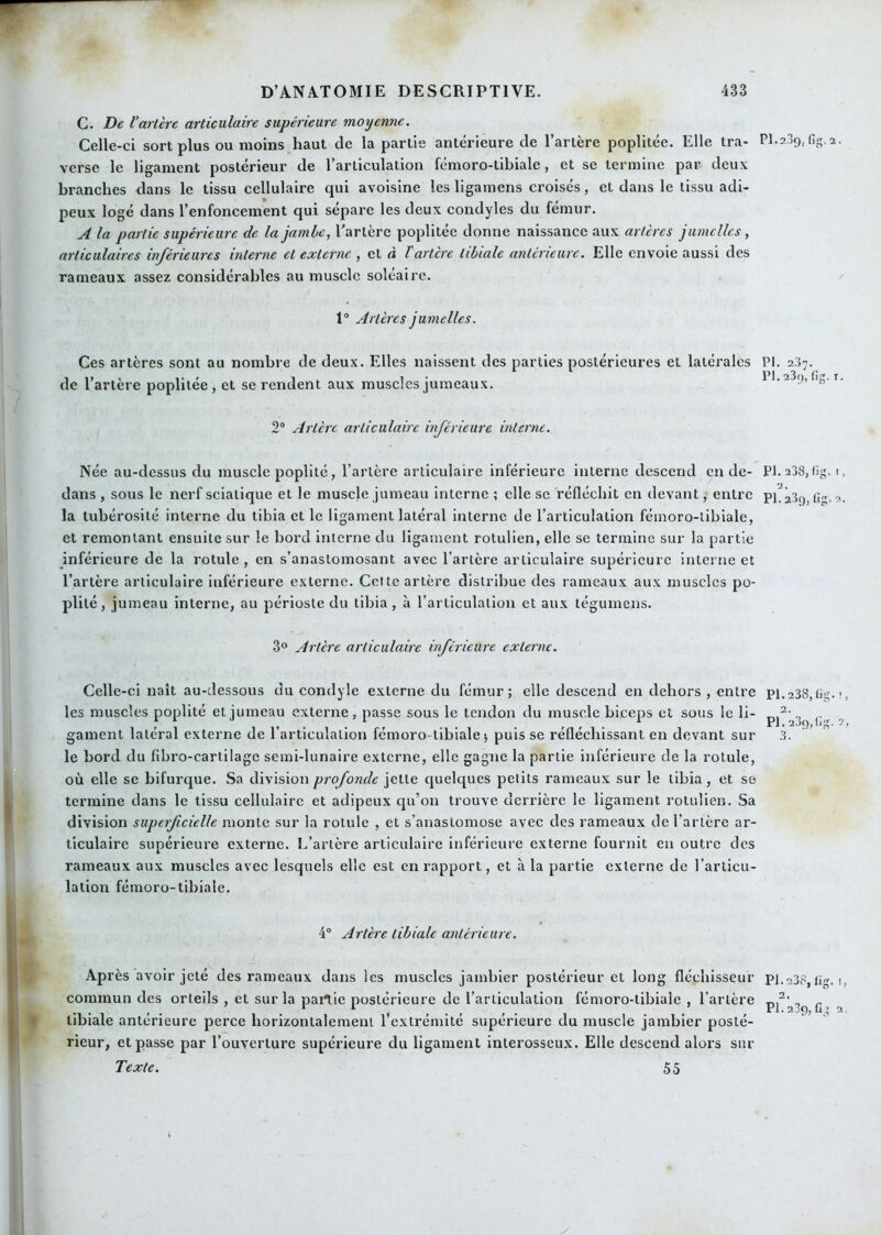 C. De l’artère articulaire supérieure moyenne. Celle-ci sort plus ou moins haut de la partie antérieure de Tarière poplitée. Elle tra- verse le ligament postérieur de l’articulation fémoro-tibiale, et se termine par deux branches dans le tissu cellulaire qui avoisine les ligamens croisés, et dans le tissu adi- peux logé dans l’enfoncement qui sépare les deux condyles du fémur. A la partie supérieure de la jambe, Tarière poplitée donne naissance aux artères jumelles, articulaires inférieures interne et externe , et à l'artère tibiale antérieure. Elle envole aussi des rameaux assez considérables au muscle soléaire. 1® Artères jumelles. Ces artères sont au nombre de deux. Elles naissent des parties postérieures et latérales PI. 237. de Tarière poplitée, et se rendent aux muscles jumeaux. 11.23t), lij, 2® Artère articulaire inférieure interne. Née au-dessus du muscle poplité, Tarière articulaire inférieure interne descend en de- Pl.238, tig dans , sous le nerf sciatique et le muscle jumeau interne ; elle se réfléchit en devant, entre n la tubérosité interne du tibia et le ligament latéral interne de l’articulation fémoro-tibiale, et remontant ensuite sur le bord interne du ligament rotulien, elle se termine sur la partie inférieure de la rotule, en s’anastomosant avec l’artère articulaire supérieure interne et Tarière articulaire inférieure externe. Celte artère distribue des rameaux aux muscles po- plité , jumeau interne, au périoste du tibia, à l’articulation et aux tégumens. 3° Artère artieulaire inférieure externe. Celle-ci naît au-dessous du condyle externe du fémur; elle descend en dehors , entre pi.238,li les muscles poplité et jumeau externe, passe sous le tendon du muscle biceps et sous le li- gament latéral externe de l’articulation fémoro- tibiale 5 puis se réfléchissant en devant sur le bord du fibro-carlilage semi-lunaire externe, elle gagne la partie inférieure de la rotule, où elle se bifurque. Sa division profonde jette quelques petits rameaux sur le tibia, et se termine dans le tissu cellulaire et adipeux qu’on trouve derrière le ligament rotulien. Sa division superfcielle monte sur la rotule , et s’anastomose avec des rameaux de l’artère ar- ticulaire supérieure externe. L’artère articulaire inférieure externe fournit en outre des rameaux aux muscles avec lesquels elle est en rapport, et à la partie externe de l’articu- lation fémoro-tibiale. 2. PI. 23(),(i .3. 4® Artère tibiale antérieure. Après avoir jeté des rameaux dans les muscles jambier postérieur et long fléchisseur pl.nSfijii commun des orteils , et sur la partie postérieure de l’articulation fémoro-tibiale , Tarière g tibiale antérieure perce borizonlaleraent l'extrémité supérieure du muscle jambier posté- rieur, et passe par l’ouverture supérieure du ligament interosseux. Elle descend alors sur Texte. 55