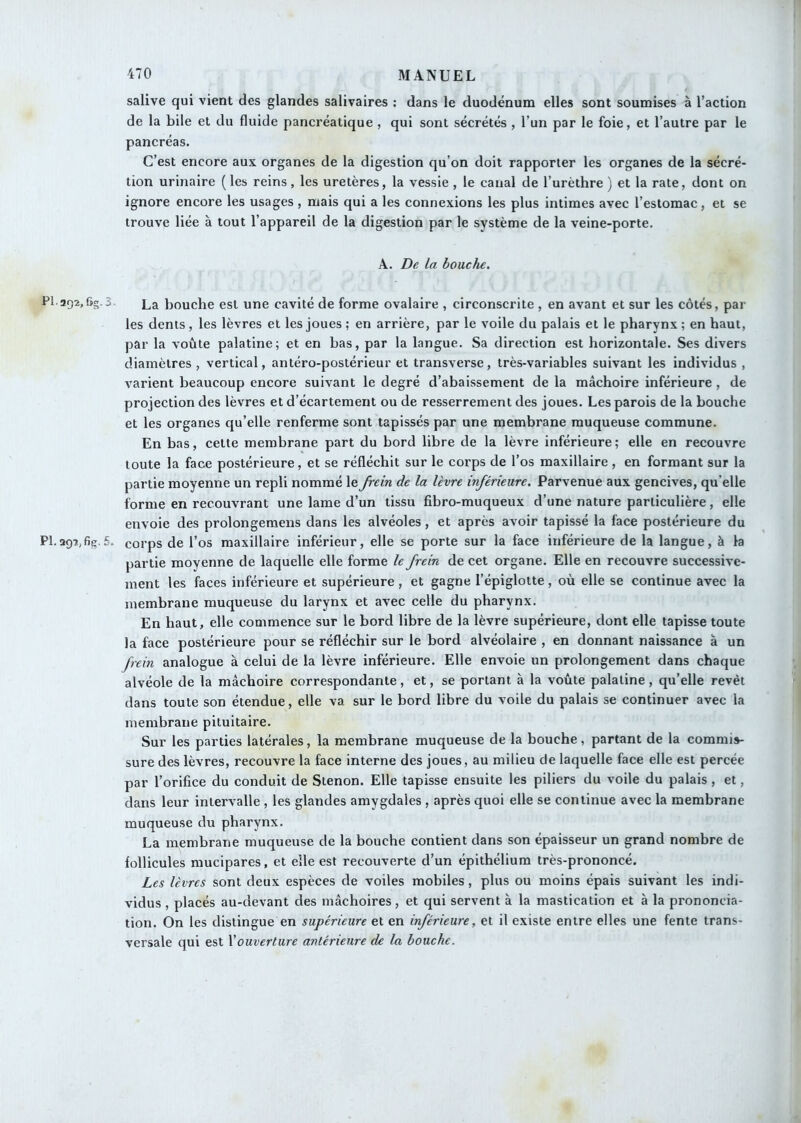 salive qui vient des glandes salivaires : dans le duodénum elles sont soumises à l’action de la bile et du fluide pancréatique , qui sont sécrétés , l’un par le foie, et l’autre par le pancréas. C’est encore aux organes de la digestion qu’on doit rapporter les organes de la sécré- tion urinaire (les reins, les uretères, la vessie , le canal de l’urèthre ) et la rate, dont on ignore encore les usages , mais qui a les connexions les plus intimes avec l’estomac, et se trouve liée à tout l’appareil de la digestion par le système de la veine-porte. A. De la bouche. PI 292,Cg.3. La bouche est une cavité de forme ovalaire , circonscrite , en avant et sur les côtés, par les dents, les lèvres et les joues ; en arrière, par le voile du palais et le pharynx ; en haut, par la voûte palatine; et en bas, par la langue. Sa direction est horizontale. Ses divers diamètres , vertical, antéro-postérieur et transverse, très-variables suivant les individus , varient beaucoup encore suivant le degré d’abaissement de la mâchoire inférieure , de projection des lèvres et d’écartement ou de resserrement des joues. Les parois de la bouche et les organes qu’elle renferme sont tapissés par une membrane muqueuse commune. En bas, cette membrane part du bord libre de la lèvre inférieure; elle en recouvre toute la face postérieure, et se réfléchit sur le corps de l’os maxillaire , en formant sur la partie moyenne un repli nommé le frein de la lèvre inférieure. Parvenue aux gencives, qu’elle forme en recouvrant une lame d’un tissu fibro-muqueux d’une nature particulière, elle envoie des prolongeraens dans les alvéoles, et après avoir tapissé la face postérieure du Pl.!»97,fig.£. corps de l’os maxillaire inférieur, elle se porte sur la face inférieure de la langue, à la partie moyenne de laquelle elle forme le frein de cet organe. Elle en recouvre successive- ment les faces inférieure et supérieure , et gagne l’épiglotte, où elle se continue avec la membrane muqueuse du larynx et avec celle du pharynx. En haut, elle commence sur le bord libre de la lèvre supérieure, dont elle tapisse toute la face postérieure pour se réfléchir sur le bord alvéolaire , en donnant naissance à un frein analogue à celui de la lèvre inférieure. Elle envoie un prolongement dans chaque alvéole de la mâchoire correspondante, et, se portant à la voûte palatine, qu’elle revêt dans toute son étendue, elle va sur le bord libre du voile du palais se continuer avec la membrane pituitaire. Sur les parties latérales, la membrane muqueuse de la bouche, partant de la commis- sure des lèvres, recouvre la face interne des joues, au milieu de laquelle face elle est percée par l’orifice du conduit de Stenon. Elle tapisse ensuite les piliers du voile du palais, et, dans leur intervalle , les glandes amygdales , après quoi elle se continue avec la membrane muqueuse du pharynx. La membrane muqueuse de la bouche contient dans son épaisseur un grand nombre de follicules mucipares, et elle est recouverte d’un épithélium très-prononcé. Les lèvres sont deux espèces de voiles mobiles, plus ou moins épais suivant les indi- vidus, placés au-devant des mâchoires, et qui servent à la mastication et à la prononcia- tion. On les distingue en supérieure et en inférieure, et il existe entre elles une fente trans- versale qui est \'ouverture antérieure de la bouche.