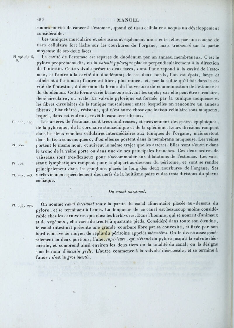 l’I 29«, 8. sonnes mortes de cancer à l’estomac, quand cé tissu cellulaire a acquis un développement considérable. Les tuniques musculaire et séreuse sont également unies entre elles par une couche de tissu cellulaire fort lâche sur les courbures de l’organe, mais très-serré sur la partie moyenne de ses deux faces. (ig 5, La cavité de l’estomac est séparée du duodénum par un anneau membraneux. C’est le pylore proprement dit, ou la valvulepylorique placée perpendiculairement à la direction de l’intestin. Cette valvule présente deux faces, dont l’une répond à la cavité de l’esto- mac, et l’autre à la cavité du duodénum; de ses deux bords, l’un est épais, large et adhérent à l’estomac; l’autre est libre, plus mince , et, par la saillie qu’il fait dans la ca- vité de l’intestin, il détermine la forme de l’ouverture de communication de l’estomac et du duodénum. Cette forme varie beaucoup suivant les sujets ; car elle peut être circulaire, demi-circulaire, ou ovale. La valvule pylorique est formée par la tunique muqueuse et les fibres circulaires de la tunique musculeuse , entre lesquelles on rencontre un anneau fibreux, blanchâtre , résistant, qui n’est autre chose que le tissu cellulaire sous-muqueux, lequel, dans cet endroit, revêt le caractère fibreux, fl. 228, 2?g. Les artères de l’estomac sont très-nombreuses, et proviennent des gastro-épiploïques, de la pylorique, de la coronaire stomachique et de la splénique. Leurs divisions rampent dans les deux couches cellulaires intermédiaires aux tuniques de l’organe, mais surtout dans le tissu sous-muqueux , d’où elles se portent dans la membrane muqueuse. Les veines portent le même nom, et suivent le même trajet que les artères. Elles vont s’ouvrir dans le tronc de la veine porte ou dans une de ses principales branches. Ces deux ordres de vaisseaux sont très-flexueux pour s’accommoder aux dilatations de l’estomac. Les vais- seaux lymphatiques rampent pour la plupart au-dessous du péritoine, et vont se rendre principalement dans les ganglions placés le long des deux courbures de 1 organe. Ses PI. 202, 2o3. nerfs viennent spécialement des nerfs de la huitième paire et des trois divisions du plexus cœliaque. IM. 25o PI. 278. Du canal inteslinal. PI. 295, 297. On nomme canal intestinal toute la partie du canal alimentaire placée au-dessous du pylore , et se terminant à l’anus. La longueur de ce canal est beaucoup moins considé- rable chez les carnivores que chez les herbivores. Dans l'homme, qui se nourrit d’animaux et de végétaux , elle varie de trente à quarante pieds. Considéré dans toute son étendue, le canal intestinal présente une grande courbure libre par sa convexité, et fixée par son bord concave au moyen de replis du péritoine appelés mésentères. On le divise assez géné- ralement en deux portions; l’une, supérieure , qui s etcnd du pylore jusqu .à la valvule ileo- cœcale, et comprend ainsi environ les deux tiers de la totalité du canal; on la désigne sous le nom à'intestin grêle. L’autre commence à la valvule iléo-cœcale, et se termine à l’anus : c’est le gros intestin. ' I