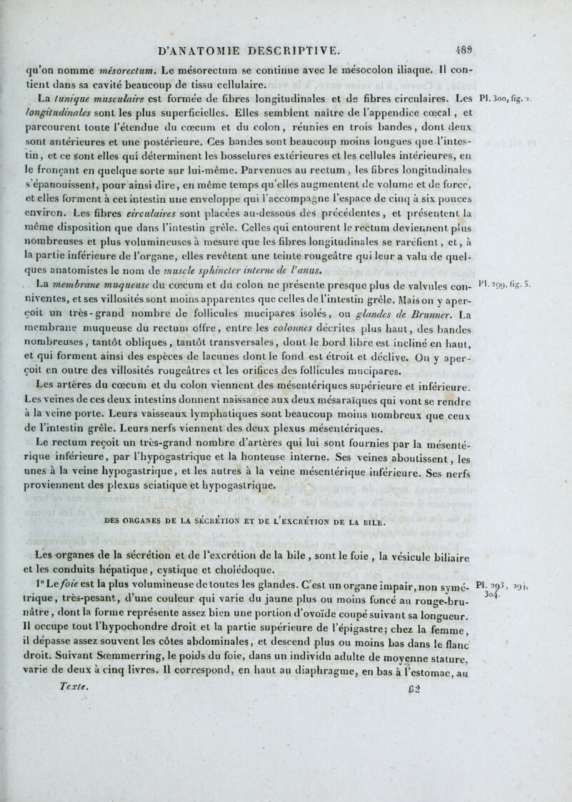 qu’on nomme mêsorectum. Le mésorectum se continue avec le mésocolon iliaque. Il con- tient dans sa cavité beaucoup de tissu cellulaire. La tunique musculaire est formée de fibres longitudinales et de fibres circulaires. Les Pl.Soo, fig. longitudinales sont les plus superficielles. Elles semblent naître de l’appendice cœcal , et parcourent toute l’étendue du cæcum et du colon, réunies en trois bandes, dont doux sont antérieures et une postérieure. Ces bandes sont beaucoup moins longues que l’intes- tin , et ce Sont elles qui déterminent les bosselures extérieures et les cellules intérieures, en le fronçant en quelque sorte sur lui-même. Parvenues au rectum, les fibres longitudinales s’épanouissent, pour ainsi dire, en même temps qu’elles augmentent de volume et de force, et elles forment à cet intestin une enveloppe qui l’accompagne l’espace de cinq à six pouces environ. Les fibres circulaires sont placées au-dessous des précédentes, et présentent la même disposition que dans l’intestin grêle. Celles qui entourent le rectum deviennent plus nombreuses et plus volumineuses à mesure que les fibres longitudinales se raréfient, et, à la partie inférieure de l’organe, elles revêtent une teinte rougeâtre qui leur a valu de quel- ques anatomistes le nom de muscle sphincter interne de l'anus, La membrane muqueuse du cæcum et du colon ne présente presque plus de valvules con- 5- niventes, et ses villosités sont moins apparentes que celles de l’intestin grêle. Mais on y aper- çoit un très-grand nombre de follicules mucipares isolés, ou glandes de Brunner. La membrane muqueuse du rectum offre, entre les colonnes décrites plus haut, des bandes nombreuses, tantôt obliques, tantôt transversales, dont le bord libre est incliné en haut, et qui forment ainsi des espèces de lacunes dont le fond est étroit et déclive. On y aper- çoit en outre des villosités rougeâtres et les orifices des follicules mucipares. Les artères du cæcum et du colon viennent des mésentériques supérieure et inférieure. Les veines de ces deux intestins donnent naissance aux deux mésaraïques qui vont se rendre à la veine porte. Leurs vaisseaux lymphatiques sont beaucoup moins nombreux que ceux de l’intestin grêle. Leurs nerfs viennent des deux plexus mésentériques. Le rectum reçoit un très-grand nombre d’artères qui lui sont fournies par la mésenté- rique inférieure, par l’hypogastrique et la honteuse interne. Ses veines aboutissent, les unes à la veine hypogastrique, et les autres à la veine mésentérique inférieure. Ses nerfs proviennent des plexus sciatique et hypogastrique. DES ORGANES DE LA SÉCRETlON ET DE l’eXCRÉTION DE LA BILE. Les organes de la sécrétion et de rexcrétion de la bile , sont le foie , la vésicule biliaire et les conduits hépatique, cystique et cholédoque. l“Le/oée est la plus volumineuse de toutes les glandes. C’est un organe impair, non symé- h trique, très-pesant, d’une couleur qui varie du jaune plus ou moins foncé au rouge-bru- nâtre, dont la forme représente assez bien une portion d’ovoïde coupé suivant sa longueur. Il occupe tout l’hypochondre droit et la partie supérieure de l’épigastre; chez la femme il dépasse assez souvent les côtes abdominale?, et descend plus ou moins bas dans le flanc droit. Suivant Sæmmerring, le poids du foie, dans un individu adulte de moyenne stature varie de deux à cinq livres. Il correspond, en haut au diaphragme, en bas à l’estomac, au