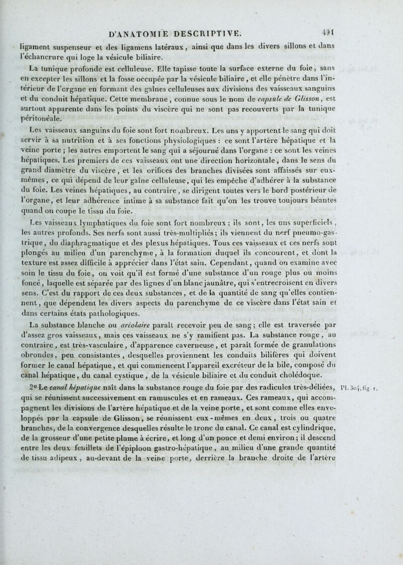 ligament suspenseur et des ligamens latéraux, ainsi que dans les divers sillons et dans l’échancrure qui loge la vésicule biliaire. La tunique profonde est celluleuse. Elle tapisse toute la surface e.vterne du foie, sans en excepter les sillons et la fosse occupée par la vésicule biliaire , et elle pénètre dans l’in- térieur de l’organe en formant des gaines celluleuses aux divisions des vaisseaux sanguins et du conduit hépatique. Cette membrane , connue sous le nom de capsule de Glisson, est surtout apparente dans les points du viscère qui ne sont pas recouverts par la tunique péritonéale. Les vaisseaux sanguins du foie sont fort nombreux. Les uns y apportent le sang qui doit servir h sa nutrition et à ses fonctions physiologiques : ce sont l’artère hépatique et la veine porte ; les autres emportent le sang qui a séjourné dans l’organe : ce sont les veines hépatiques. Les premiers de ces vaisseaux ont une direction horizontale, dans le sens du grand diamètre du viscère , et les orifices des branches divisées sont affaisses sur eux- mêmes, ce qui dépend de leur gaine celluleuse, qui les empêche d’adhérer à la substance du foie. Les veines hépatiques, au contraire, se dirigent toutes vers le bord postérieur de l’organe, et leur adhérence intime à sa substance fait qu’on les trouve toujours béantes quand on coupe le tissu du foie. Les vaisseaux lymphatiques du foie sont fort nombreux ; ils sont, les uns superficiels , les autres profonds. Ses nerfs sont aussi très-multipliés ; ils viennent du nerf pneumo-gas- trique, du diaphragmatique et des plexus hépatiques. Tous ces vaisseaux et ces nerfs sopt plongés au milieu d’un parenchyme, à la formation duquel ils concourent, et dont la texture est assez difficile à apprécier dans l’état sain. Cependant, quand on examine avec soin le tissu du foie, ou voit qu’il est formé d’une substance d’un rouge plus ou moins foncé, laquelle est séparée par des lignes d'un blanc jaunâtre, qui s’entrecroisent en divers sens. C’est du rapport de ces deux substances, et de la quantité de sang qu’elles contien- nent, que dépendent les divers aspects du parenchyme de ce viscère dans l’étal sain et dans certains étals pathologiques. La substance blanche ou aréolaire paraît recevoir peu de sang; elle est traversée par d’assez gros vaisseaux, mais ces vaisseau.x ne s’y ramifient pas. La substance rouge, au contraire, est très-vasculaire, d’apparence caverneuse, et paraît formée de granulations obrondes, peu consistantes , desquelles proviennent les conduits bilifères qui doivent former le canal hépatique , et qui commencent l’appareil excréteur de la bile, composé du canal hépatique, du canal cystique, de la vésicule biliaire et du conduit cholédoque. 2° Le canal hépatique naît dans la substance rouge du foie par des radicules très-déliées, qui se réunissent successivement en ramuscules et en rameaux. Ces rameaux, qui accom- pagnent les divisions de Tarière hépatique et de la veine porte, et sont comme elles enve- loppés par la capsule de Glisson, se réunissent eux-mêmes en deux, trois ou quatre branches, de la convergence desquelles résulte le tronc du canal. Ce canal est cylindrique, de la grosseur d’une petite plume à écrire, et long d’un pouce et demi environ; il descend entre les deux feuillets de Tépiploon gastro-hépatique, au milieu d’une grande quantité de tissu adipeux , au-devant de la veine porte, derrière la branche droite de Tarière n.3o4,fi