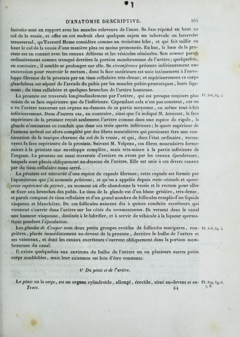 •1 D’ANATOMIE DESCRIPTIVE. 505 latérales sont en rapport avec les muscles releveurs de l’anus. Sa base répond en haut au col de la vessie, et offre en cet endroit chez quelques sujets un tubercule ou bourrelet transversal, qu’Everard Home considère comme un troisième lobe, et qui fait saillir en haut le col de la vessie d’une manière plus ou moins prononcée. En bas, la base delà pro- state est en contact avec les canaux déférens et les vésicules séminales. Son sommet paraît ordinairement comme tronqué derrière la portion membraneuse de l’urètre; quelquefois, au contraire , il semble se prolonger sur elle. Sa circonférence présente inférieurement une excavation pour recevoir le rectum, dont la face antérieure est unie intimement à l’enve- loppe fibreuse de la prostate par un tissu cellulaire très-dense; et supérieurement ce corps glanduleux est séparé de l’arcade du pubis par les muscles pubio-prostatiques , leurs liga- mens, du tissu cellulaire et quelques branches de l’artère honteuse. La prostate est traversée longitudinalement par l’urètre, qui est presque toujours plus PI.3o8, tig.4 voisin de sa face supérieure que de l’inférieure. Cependant cela n’est pas constant, car on a vu l’urètre traverser cet organe au-dessous de sa partie moyenne, ou même tout-à-fait inférieurement. Dans d’autres cas, au contraire, ainsi que l’a indiqué M. Amussat, la face supérieure de la prostate reçoit seulement l’urètre comme dans une espèce de rigole , la glande n’entourant ce conduit que dans ses trois quarts inférieurs ; le quart supérieur de l’anneau urétral est alors complété par des fibres musculaires qui paraissent être une con- tinuation de la tunique charnue du col de la vessie, et qui, dans l’état ordinaire, recou- vrent la face supérieure de la prostate. Suivant M. Velpeau, ces fibres musculaires forme- raient à la prostate une enveloppe complète, mais très-mince à la partie inférieure de l’organe. La prostate est aussi traversée d’arrière en avant par les canaux éjaculateurs, lesquels sont placés obliquement au-dessous de l’urètre. Elle est unie à ces divers canaux par du tissu cellulaire assez serré. La prostate est entourée d’une espèce de capsule fibreuse ; cette capsule est formée par l’aponévrose que j’ai nommée pelvienne, et qu’on a appelée depuis recto-vésicale et aponé- vrose supérieure du périnée, au moment où elle abandonne la vessie et le rectum pour aller se fixer aux branches des pubis. Le tissu de la glande est d’un blanc grisâtre, très-dense , et paraît composé de tissu cellulaire et d’un grand nombre de follicules remplis d’un liquide visqueux et blanchâtre. De ces follicules naissent dix à quinze conduits excréteurs qui viennent s’ouvrir dans l’urètre sur les côtés du verumontanam, Ils versent dans le canal une humeur visqueuse , destinée à le lubrifier, et à servir de véhicule à la liqueur sperma- ' tique pendant l’éjaculation. glandes de sont deux petits groupes ovoïdes de follicules mucipares , rou- Pl.3o8, Cg. 4 geâtres, placés immédiatement au-devant de la prostate , derrière le bulbe de l’urètre et ses vaisseaux, et dont les canaux excréteurs s’ouvrent obliquement dans la portion mem- braneuse du canal. Il existe quelquefois aux environs du bulbe de l’urètre un ou plusieurs autres petits corps semblables, mais leur existence est loin d’être constante. 4® Z) a pénis et de P urètre. Le pénis ou la verge, est un organe cylindroïde, allongé, érectile, situé au-devant et au- PI. 309, fig.6 Texte. 64