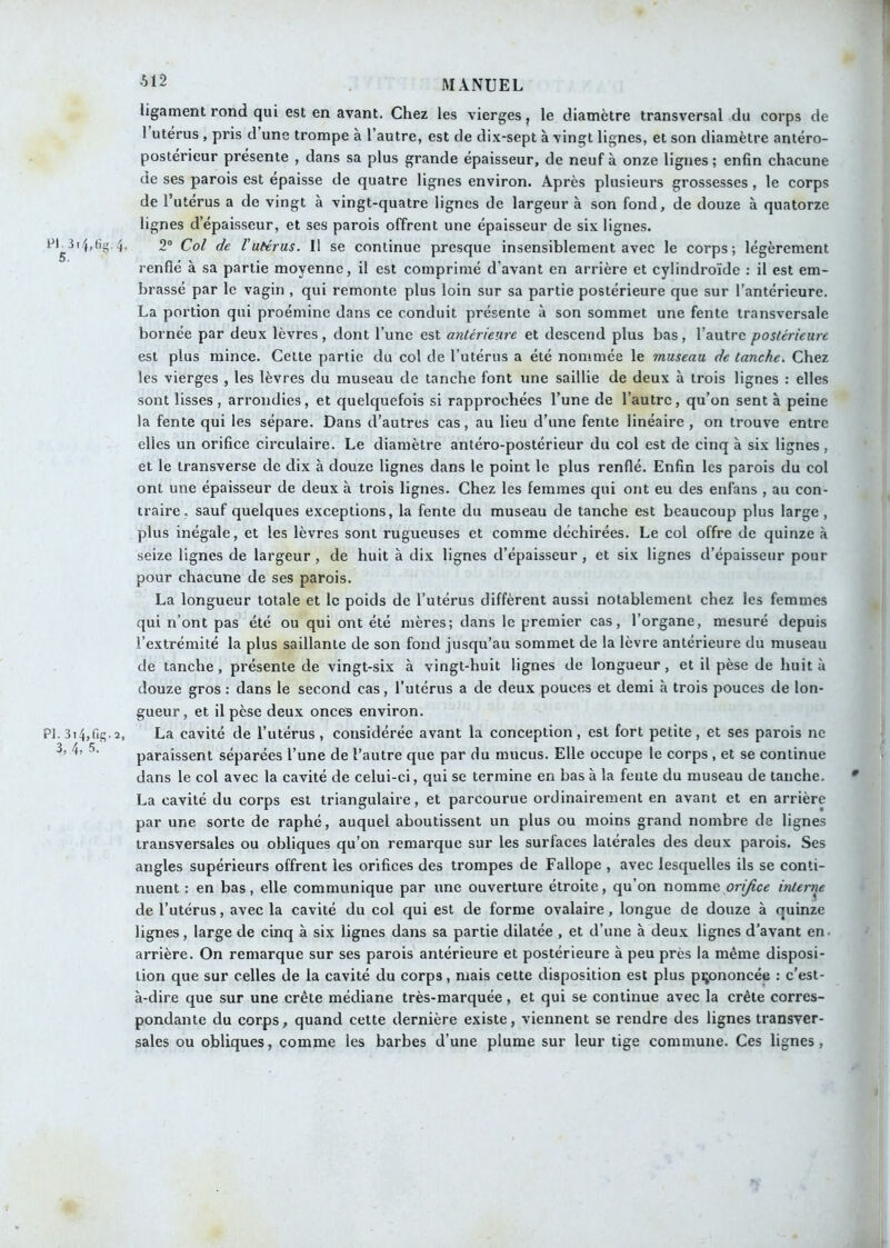 ligament rond qui est en avant. Chez les vierges, le diamètre transversal du corps de 1 utérus , pris d une trompe à l’autre, est de dix-sept à vingt lignes, et son diamètre antéro- postérieur présente , dans sa plus grande épaisseur, de neuf à onze lignes ; enfin chacune de ses parois est épaisse de quatre lignes environ. Après plusieurs grossesses, le corps de l’uterus a de vingt à vingt-quatre lignes de largeur à son fond, de douze à quatorze lignes d’épaisseur, et ses parois offrent une épaisseur de six lignes. Pr3i4,(ig 4. 2“ Col de l'utérus. 11 se continue presque insensiblement avec le corps; légèrement renflé à sa partie moyenne, il est comprimé d’avant en arrière et cylindroïde : il est em- brassé par le vagin , qui remonte plus loin sur sa partie postérieure que sur l’antérieure. La portion qui proémine dans ce conduit présente à son sommet une fente transversale bornée par deux lèvres, dont l’une est antérieure et descend plus bas, l’autre postérieure est plus mince. Celte partie du col de l’utérus a été nommée le museau de tanche. Chez les vierges , les lèvres du museau de tanche font une saillie de deux à trois lignes : elles sont lisses , arrondies, et quelquefois si rapprochées l’une de l’autre, qu’on sent à peine la fente qui les sépare. Dans d’autres cas, au lieu d’une fente linéaire, on trouve entre elles un orifice circulaire. Le diamètre antéro-postérieur du col est de cinq à six lignes, et le transverse de dix à douze lignes dans le point le plus renflé. Enfin les parois du col ont une épaisseur de deux à trois lignes. Chez les femmes qui ont eu des enfans , au con- traire, sauf quelques exceptions, la fente du museau de tanche est beaucoup plus large , plus inégale, et les lèvres sont rugueuses et comme déchirées. Le col offre de quinze à seize lignes de largeur , de huit à dix lignes d’épaisseur , et six lignes d’épaisseur pour pour chacune de ses parois. La longueur totale et le poids de l’utérus diffèrent aussi notablement chez les femmes qui n’ont pas été ou qui ont été mères; dans le premier cas, l’organe, mesuré depuis l’extrémité la plus saillante de son fond jusqu’au sommet de la lèvre antérieure du museau de tanche, présente de vingt-six à vingt-huit lignes de longueur, et il pèse de huit à douze gros : dans le second cas, l’utérus a de deux pouces et demi à trois pouces de lon- gueur, et il pèse deux onces environ. PI. 3i4,fig.2, La cavité de l’utérus , considérée avant la conception , est fort petite, et ses parois ne paraissent séparées l’une de l’autre que par du mucus. Elle occupe le corps , et se continue dans le col avec la cavité de celui-ci, qui se termine en bas à la feule du museau de tanche. La cavité du corps est triangulaire, et parcourue ordinairement en avant et en arrière par une sorte de raphé, auquel aboutissent un plus ou moins grand nombre de lignes transversales ou obliques qu’on remarque sur les surfaces latérales des deux parois. Ses angles supérieurs offrent les orifices des trompes de Fallope , avec lesquelles ils se conti- nuent : en bas, elle communique par une ouverture étroite, qu’on nomme orifice interne de l’utérus, avec la cavité du col qui est de forme ovalaire, longue de douze à quinze lignes, large de cinq à six lignes dans sa partie dilatée , et d’une à deux lignes d’avant en. arrière. On remarque sur ses parois antérieure et postérieure à peu près la même disposi- tion que sur celles de la cavité du corps, mais cette disposition est plus prononcée : c’est- à-dire que sur une crête médiane très-marquée, et qui se continue avec la crête corres- pondante du corps, quand cette dernière existe, viennent se rendre des lignes transver- sales ou obliques, comme les barbes d’une plume sur leur tige commune. Ces lignes.