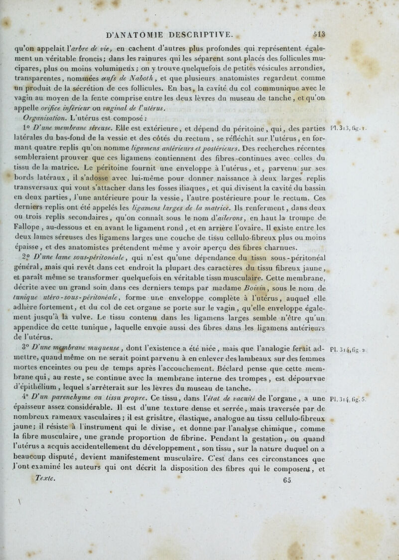 qu’on appelait \arbre de vie, en cachent d’autres plus profondes qui représentent égale- ment un véritable froncis; dans les rainures qui les séparent sont placés des follicules mu- cipares, plus ou moins volumineux ; on y trouve quelquefois de petites vésicules arrondies, transparentes, nommées œufs de Naboth, et que plusieurs anatomistes regardent comme un produit de la sécrétion de ces follicules. En bas, la cavité du col communique avec le vagin au moyen de la fente comprise entre les deux lèvres du museau de tanche, et qu’on appelle orifice inférieur ou vaginal de Vutérus. Organisation, L’utérus est composé : 1° D’une membrane séreuse. Elle est extérieure, et dépend du péritoine, qui, des parties P1.3i3, fig. i. latérales du bas-fond de la vessie et des côtés du rectum, se réfléchit sur l’utérus, en for- mant quatre replis qu’on nomme ligamens antérieurs et postérieurs. Des recherches récentes sembleraient prouver que ces ligamens contiennent des fibres ^continues avec celles du tissu delà matrice. Le péritoine fournit une enveloppe à l’utérus, et, parvenu sur ses bords latéraux, il s’adosse avec lui-méme pour donner naissance à deux larges replis transversaux qui vont s’attacher dans les fosses iliaques, et qui divisent la cavité dû bassin en deux parties, 1 une antérieure pour la vessie, l’autre postérieure pour le rectum. Ces derniers replis ont été appelés les ligamens larges de la matrice. Ils renferment, dans deux ou trois replis secondaires, qu’on connaît sous le nom ü^ailerons, en haut la trompe de Fallope , au-dessous et en avant le ligament rond , et en arrière l’ovaire. Il existe entre les deux lames séreuses des ligamens larges une couche de tissu cellulo fibreux plus ou moins épaisse, et des anatomistes prétendent même y avoir aperçu des fibres charnues. 2,° D'une lame sous-péritonéale, qui n’est qu’une dépendance du tissu sous-péritonéal général, mais qui revêt dans cet endroit la plupart des caractères du tissu fibreux jaune , et paraît même se transformer quelquefois en véritable tissu musculaire. Cette membrane, décrite avec un grand soin dans ces derniers temps par madame Boivin, sous le nom de tunique utéro-sous-péritonéale, forme une enveloppe complète à l’utérus, auquel elle adhère fortement, et du col de cet organe se porte sur le vagin, qu’elle enveloppe égale- ment jusqu’à la vulve. Le tissu contenu dans les ligamens larges semble n’être qu’un appendice de celte tunique, laquelle envoie aussi des fibres dans les ligamens antérieurs de l’utérus. 3° D une m^brane muqueuse , dont l’existence a été niée, mais que l’analogie ferait ad- pi. 3i4,fig.2 mettre, quand meme on ne. serait point parvenu à en enlever des lambeaux sur des femmes mortes enceintes ou peu de temps après l’accouchement. Béclard pense que celte mem- brane qui, au reste, se continue avec la membrane interne des trompes , est dépourvue d épithélium , lequel s’arrêterait sur les lèvres du museau de tanche. 4® D un parenchyme ou tissu propre. Ce tissu, dans Vétat de vacuité de l’organe , a une P1.3i4, fig. 5. épaisseur assez considérable. 11 est d’une texture dense et serrée, mais traversée par de nombreux rameaux vasculaires ; il est grisâtre, élastique, analogue au tissu cellulo-fibreux jaune; il résiste a 1 instrument qui le divise, et donne par l’analyse chimique, comme la fibre musculaire, une grande proportion de fibrine. Pendant la gestation, ou quand 1 utérus a acquis accidentellement du développement, son tissu, sur la nature duquel on a beaucoup dispute, devient manifestement musculaire. C’est dans ces circonstances que j ont examine les auteurs qui ont décrit la disposition des fibres qui le composenjt, et Texte. 05