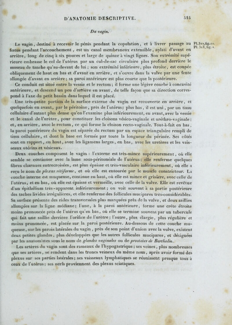 Dit vagin. Le vagin, destine à recevoir le pénis pendant la copulation, et à livrer passage au fœtus pendant l’accouchement , est un canal membraneux extensible, aplati d’avant en arrière, long de cinq à six pouces et large de quinze à vingt lignes. Son extrémité supé- rieure embrasse le col de l’utérus par un cul-de-sac circulaire plus profond derrière le museau de tanche qu’au-devant de lui ; son extrémité inférieure, plus étroite, est coupée obliquement de haut en bas et d’avant en arrière, et s’ouvre dans la vulve par une fente allongée d’avant en arrière ; sa paroi antérieure est plus courte que la postérieure. Ce conduit est situé entre la vessie et le rectum ; il forme une légère courbe à concavité antérieure, et descend un peu d’artière en avant, de telle façon que sa direction corres- pond à l’axe du petit bassin dans lequel il est placé. Une très-petite portion de la surface externe du vagin est recouverte en arrière, et quelquefois en avant, par le péritoine , près de l’utérus; plus bas , il est uni, par un tissu cellulaire d’autant plus dense qu’on l’examine plus inférieurement, en avant, avec la vessie et le canal de l’urètre , pour constituer les cloisons vésico-vaginale et uréthro-vaginale ; et, en arrière, avec le rectum , ce qui forme la cloison recto-vaginale. Tout-à-fait en bas , la paroi postérieure du vagin est séparée du rectum par un espace triangulaire rempli de tissu cellulaire, et dont la base est formée par toute la longueur du périnée. Ses côtés sont en rapport, en haut, avec les ligamens larges, en bas, avec les uretères et les vais- seaux utérins et vésicaux. Deux couches composent le vagin : l’externe est très-mince supérieurement, où elle semble se continuer avec la lame sous-péritonéale de l’utérus ; elle renferme quelques fibres charnues entrecroisées, est plus épaisse et très-vasculaire inférieurement, où elle a xQcnXe, wom plexus rétiforme, et où elle est entourée par le muscle constricteur. La couche interne est muqueuse, continue en haut, où elle est mince et grisAtre, avec celle de l’utérus, et en bas, où elle est épaisse et vermeille, avec celle de la vulve. Elle est revêtue d’un épithélium très-apparent inférieurement; on voit souvent à sa partie postérieure des taches livides irrégulières, et elle renferme des follicules mucipares très-considérables. Sa surface présente des rides transversales plus marquées près de la vulve, et deux saillies allongées sur la ligne médiane; l’une, à la paroi antérieure, forme une crête étroite moins prononcée près de l’utérus qu’en bas, où elle se termine souvent par un tubercule qui fait une saillie derrière l’orifice de l’urètre; l’autre, plus élargie, plus régulière et moins prononcée, est placée sur la paroi postérieure. Au-dessous de cette couche mu- queuse, sur les parois latérales du vagin , près de son point d’union avec la vulve, existent deux petites glandes , plus développées que les autres follicules mucipares, et désignées par les anatomistes sous le nom de glandes vaginales ou de prostates de Bartholin. Les artères du vagin sont des rameaux de l’hypogastrique; ses veines, plus nombreuses que ses artères, se rendent dans les troncs veineux du même nom, après avoir formé des plexus sur ses parties latérales ; ses vaisseaux lymphatiques se réunissent presque tous à ceux de l’utérus; ses nerfs proviennent des plexus sciatiques. Oh Çh