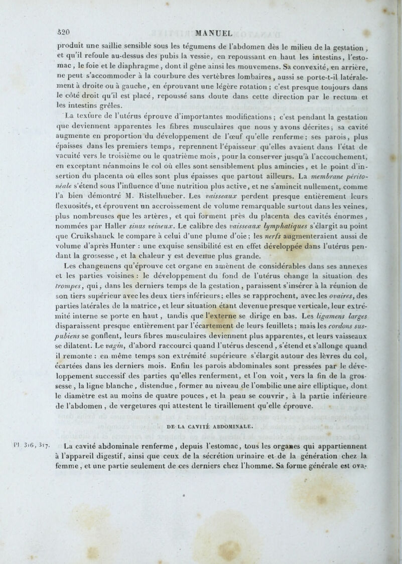 produit une saillie sensible sous les tégumens de l’abdomen dès le milieu de la gestation, et qu’il refoule au-dessus des pubis la vessie, en repoussant en haut les intestins, l'esto- mac , le foie et le diaphragme , dont il gène ainsi les raouvemens. Sa convexité, en arrière, ne peut s accommoder a la courbure des vertèbres lombaires, aussi se porte-t-il latérale- ment à droite ou à gauche, en éprouvant une légère rotation ; c’est presque toujours dans le côté droit qu’il est placé, repoussé sans doute dans celte direction par le rectum et les intestins grêles. La texture de ruterus éprouve d’importantes modifications; c’est pendant la gestation que deviennent apparentes les fibres musculaires que nous y avons décrites; sa cavité augmente en proportion du développement de l’œuf qu’elle renferme; ses parois, plus épaisses dans les premiers temps, reprennent l’épaisseur qu’elles avaient dans l’état de vacuité vers le troisième ou le quatrième mois, pour la conserver jusqu’à l’accouchement, en exceptant néanmoins le col où elles sont sensiblement plus amincies, et le point d’in- sertion du placenta où elles sont plus épaisses que partout ailleurs. La membrane périto- néale s’étend sous l’influence d’une nutrition plus active, et ne s’amincit nullement, comme l’a bien démontré M. Ristelhueber. Les vaisseaux perdent presque entièrement leurs flexuosités, et éprouvent un accroissement de volume remarquable surtout dans les veines, plus nombreuses que les artères, et qui forment près du placenta des cavités énormes , nommées par Haller sinus veineux. Le calibre des vaisseaux lymphatiques s’élargit au point que Cruikshanck le compare à celui d’une plume d’oie; les nerfs augmenteraient aussi de volume d’après Hunter ; une exquise sensibilité est en effet développée dans l’utérus pen- dant la grossesse , et la chaleur y est devenue plus grande. Les changeinens qu’éprouve cet organe en amènent de considérables dans ses annexes et les parties voisines : le développement du fond de l’utérus change la situation des trompes, qui, dans les derniers temps de la gestation, paraissent s’insérer à la réunion de son tiers supérieur avec les deux tiers inférieurs; elles se rapprochent, avec les ovaires, des parties latérales de la matrice, et leur situation étant devenue presque verticale, leur extré- mité interne se porte en haut, tandis que l’externe se dirige en bas. Les ligamens larges disparaissent presque entièrement par l’écartement de leurs feuillets; mais les cordons sus- pubiens se gonflent, leurs fibres musculaires deviennent plus apparentes, et leurs vaisseaux se dilatent. Le vagin, d’abord raccourci quand l’utérus descend , s’étend et s’allonge quand il remonte : en même temps son extrémité supérieure s’élargit autour des lèvres du col, écartées dans les derniers mois. Enfin les parois abdominales sont pressées par le déve- loppement successif des parties qu’elles renferment, et l’on voit, vers la fin de la gros- sesse , la ligne blanche , distendue , former au niveau de l’ombilic une aire elliptique, dont le diamètre est au moins de quatre pouces, et la peau se couvrir, à la partie inférieure de l’abdomen , de vergetures qui attestent le tiraillement qu’elle éprouve. DE LX CAVITÉ ABDOMINALE. P] 3i6, 3t7. La cavité abdominale renferme, depuis l’estomac, tous les organes qui appartiennent à l’appareil digestif, ainsi que ceux de la sécrétion urinaire et de la génération chez la femme, et une partie seulement de ces derniers chez l’homme. Sa forme générale est ova,-