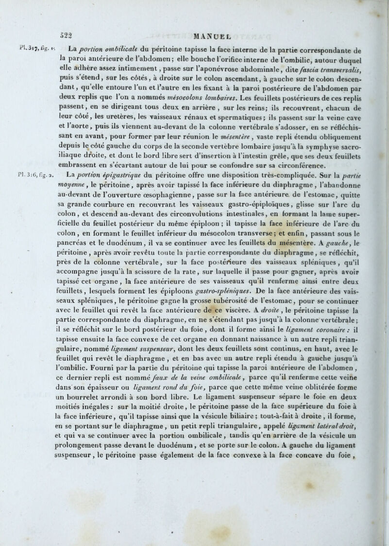 Pl.3i7,fig. '• La portion ombilicale du péritoine tapisse la face interne de la partie correspondante de la paroi antérieure de l’abdomen; elle bouche l’oriace interne de l’ombilic, autour duquel elle adhère assez intimement, passe sur l’aponévrose abdominale, ditefascia transversalis, puis s étend, sur les côtés, à droite sur le colon ascendant, à gauche sur le colon descen- dant, qu elle entoure l’un et l’autre en les fixant à la paroi postérieure de l’abdomen par deux replis que 1 on a nommes mésocolons lombaires. Les feuillets postérieurs de ces replis passent, en se dirigeant tous deux en arrière , sur les reins; ils recouvrent, chacun de leur cote, les uretères, les vaisseaux rénaux et spermatiques; ils passent sur la veine cave et 1 aorte, puis ils viennent au-devant de la colonne vertébrale s’adosser, en se réfléchis- sant en avant, pour former par leur réunion le mésentère, vaste repli étendu obliquement depuis le côté gauche du corps de la seconde vertèbre lombaire jusqu’à la symphyse sacro- iliaque droite, et dont le bord libre sert d’insertion à l’intestin grêle, que ses deux feuillets embrassent en s’écartant autour de lui pour se confondre sur sa circonférence. PI. 3i6, f]g. 2. La portion épigastrique du péritoine offre une disposition très-compliquée. Sur la partie moyenne, le péritoine, après avoir tapissé la face inférieure du diaphragme, l’abandonne au-devant de l’ouverture œsophagienne, passe sur la face antérieure de l’estomac, quitte sa grande courbure en recouvrant les vaisseaux gastro-épiploïques, glisse sur l’arc du colon, et descend au-devant des circonvolutions intestinales, en formant la lame super- ficielle du feuillet postérieur du même épiploon ; il tapisse la face inférieure de l’arc du colon, en formant le feuillet inférieur du mésocolon transverse; et enfin, passant sous le pancréas et le duodénum, il va se continuer avec les feuillets du mésentère. A gauche, le péritoine, après avroir revêtu toute la partie correspondante du diaphragme, se réfléchit, près de la colonne vertébrale, sur la face postérieure des vaisseaux spléniques, qu’il accompagne jusqu’à la scissure de la rate, sur laquelle il passe pour gagner, après avoir tapissé cet organe, la face antérieure de ses vaisseaux qu’il renferme ainsi entre deux feuillets, lesquels forment les épiploons gastro-spléniques. De la face antérieure des vais- seaux spléniques, le péritoine gagne la grosse tubérosité de l’estomac, pour se continuer avec le feuillet qui revêt la face antérieure de ce viscère. A droite , le péritoine tapisse la partie correspondante du diaphragme, en ne s’étendant pas jusqu’à la colonne vertébrale; il se réfléchit sur le bord postérieur du foie, dont il forme ainsi le ligament coronaire : il tapisse ensuite la face convexe de cet organe en donnant naissance à un autre repli trian- gulaire, nommé ligament siispenseur, dont les deux feuillets sont continus, en haut, avec le feuillet qui revêt le diaphragme , et en bas avec un autre repli étendu à gauche jusqu’à l’ombilic. Fourni par la partie du péritoine qui tapisse la paroi antérieure de l’abdomen , ce dernier repli est nommé faux de la veine ombilicale, parce qu’il renferme celte veine dans son épaisseur ou ligament rond du foie, parce que cette même veine oblitérée forme un bourrelet arrondi à son bord libre. Le ligament suspenseur sépare le foie en deux moitiés inégales; sur la moitié droite, le péritoine passe de la face supérieure du foie à la face inférieure, qu’il tapisse ainsi que la vésicule biliaire ; tout-à-fait à droite , il forme, en se portant sur le diaphragme, un petit repli triangulaire, appelé ligament latéral droit, et qui va se continuer avec la portion ombilicale, tandis qu’en arrière de la vésicule un prolongement passe devant le duodénum, et se porte sur le colon. A gauche du ligament suspenseur, le péritoine passe également de la face convexe à la face concave du foie ,