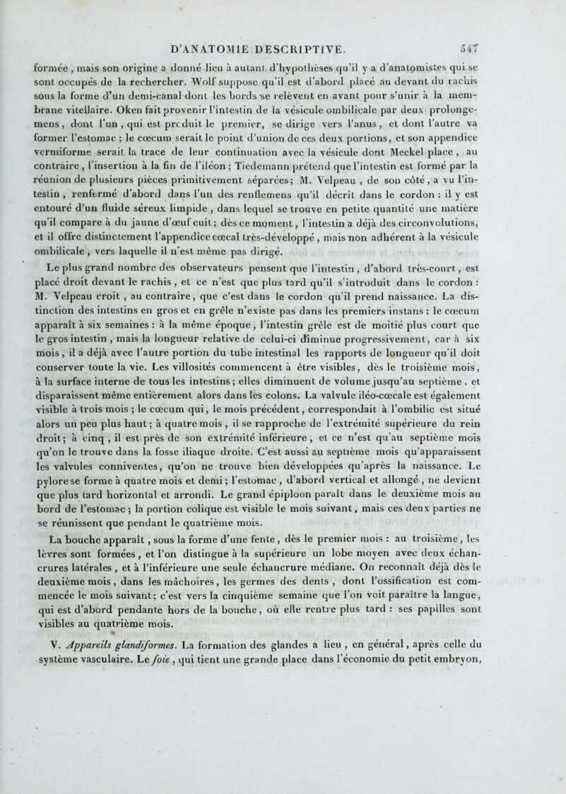 formée , mais son origine a donné lieu à autan! d’hypothèses qu’il y a d’anatpmisles qui se sont occupés de la rechercher. Wolf suppose qu’il est d’abord placé au devant du rachis sous la forme d’un demi-canal dont les bords se relèvent en avant pour s’unir à la mem- brane vitellaire. Oken fait provenir l’intestin de la vésicule ombilicale par deux prolonge- mens, dont l’un , qui est produit le premier, se dirige vers l’anus, et dont l’autre va former l’estomac ; le cæcum serait le point d’union de ces deux portions, et son appendice vermiforme serait la trace de leur continuation avec la vésicule dont Meckel place , au contraire , l’insertion à la fin de l’iléon ; Tiedemann prétend que l’intestin est formé par la réunion de plusieurs pièces primitivement séparées; M. Velpeau , de son côté, a vu l’in- testin , renfermé d’abord dans l’un des renflemens qu’il décrit dans le cordon : il y est entouré d’un fluide séreux limpide , dans lequel se trouve en petite quantité une matière qu’il compare à du jaune d’œuf cuit; dès ce moment, l’intestin a déjà des circonvolutions, et il offre distinctement l’appendice cœcal très-développé , mais non adhérent à la vésicule ombilicale , vers laquelle il n’est même pas dirigé. Le plus grand nombre des observateurs pensent que l’intestin , d’abord très-court, est placé droit devant le rachis , et ce n’est que plus tard qu’il s’introduit dans le cordon : M. Velpeau croit , au contraire, que c’est dans le cordon qu’il prend naissance. La dis- tinction des intestins en gros et en grêle n’existe pas dans les premiers instans ; le cæcum apparaît à six semaines : à la même époque, l’intestin grêle est de moitié plus court que le gros intestin , mais la longueur relative de celui-ci diminue progressivement, car à six mois, il a déjà avec l’autre portion du tube intestinal les rapports de longueur qu’il doit conserver toute la vie. Les villosités commencent à être visibles, dès le troisième mois, à la surface interne de tous les intestins; elles diminuent de volume jusqu’au septième, et disparaissent même entièrement alors dans les colons. La valvule iléo-cæcale est également visible à trois mois ; le cæcum qui, le mois précédent, correspondait à l’ombilic est situé alors un peu plus haut ; à quatre mois , il se rapproche de l’extrémité supérieure du rein droit; à cinq , il est près de son extrémité inférieure, et ce n’est qu’au septième mois qu’on le trouve dans la fosse iliaque droite. C’est aussi au septième mois qu’apparaissent les valvules conniventes, qu’on ne trouve bien développées qu’après la naissance. Le pylore se forme à quatre mois et demi ; l’estomac , d’abord vertical et allongé , ne devient que plus tard horizontal et arrondi. Le grand épiploon pai'aît dans le deuxième mois au bord de l’estomac ; la portion colique est visible le mois suivant, mais ces deux parties ne se réunissent que pendant le quatrième mois. La bouche apparaît , sous la forme d’une fente , dès le premier mois : au troisième, les lèvres sont formées, et l’on distingue à la supérieure un lobe moyen avec deux échan- crures latérales , et à l’inférieure une seule échancrure médiane. On reconnaît déjà dès le deuxième mois, dans les mâchoires, les germes des dents, dont l’ossification est com- mencée le mois suivant; c’est vers la cinquième semaine que l’on voit paraître la langue, qui est d’abord pendante hors de la bouche, où elle rentre plus tard : ses papilles sont visibles au quatrième mois. « V. Appareils glandiformes. La formation des glandes a lieu , en général, après celle du système vasculaire. Le foie , qui lient une grande place dans l’économie du petit embryon.