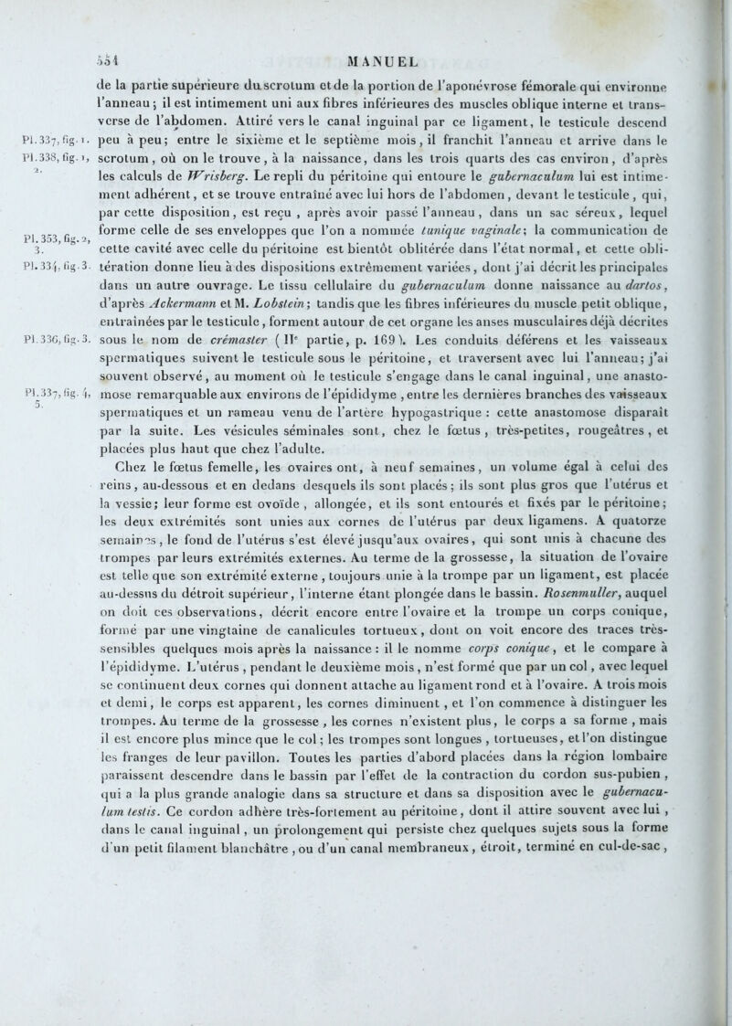 P1.337,fig.i PI.338, tlg. I 2. PI. 353, Cg. 2 3. P1.334,tîg.3 P1.33G,fig.3 Pi.337, fig. '( 5. de la partie supérieure du scrotum et de la portion de l’aponévrose fémorale qui environne • l’anneau ; il est intimement uni aux fibres inférieures des muscles oblique interne et irans- vcrse de l’abdomen. Attiré vers le canal inguinal par ce ligament, le testicule descend . peu à peu; entre le sixième et le septième mois, il franchit l’anneau et arrive dans le > scrotum, où on le trouve, à la naissance, dans les trois quarts des cas environ, d’après les calculs de Wrisberg. Le repli du péritoine qui entoure le gabemaculum lui est intime- ment adhérent, et se trouve entraîné avec lui hors de l’abdomen , devant le testicule , qui, par cette disposition, est reçu , après avoir passé l’anneau , dans un sac séreux, lequel forme celle de ses enveloppes que l’on a nommée tunique vaginale-, la communication de cette cavité avec celle du péritoine est bientôt oblitérée dans l’état normal, et cette obli- tération donne lieu à des dispositions extrêmement variées, dont j’ai décrit les principales dans un autre ouvrage. Le tissu cellulaire du gubernaculum donne naissance &\i dartos, d’après Ackermann et M. Lobslein-, tandis que les fibres inférieures du muscle petit oblique, entraînées par le testicule , forment autour de cet organe les anses musculaires déjà décrites . sous le nom de crémaster (IL partie, p. 169). Les conduits déférons et les vaisseaux spermatiques suivent le testicule sous le péritoine, et traversent avec lui l’anneau; j’ai souvent observé, au moment où le testicule s’engage dans le canal inguinal, une anasto- ! raose remarquable aux environs de l’épididyme , entre les dernières branches des vaisseaux spermatiques et un rameau venu de l’artère hypogastrique : cette anastomose disparait par la suite. Les vésicules séminales sont, chez le fœtus, très-petites, rougeâtres , et placées plus haut que chez l’adulte. Chez le fœtus femelle, les ovaires ont, à neuf semaines, un volume égal à celui des reins, au-dessous et en dedans desquels ils sont placés; ils sont plus gros que l’utérus et la vessie; leur forme est ovoïde , allongée, et ils sont entourés et fixés par le péritoine; les deux extrémités sont unies aux cornes de l’utérus par deux ligamens. A quatorze semaines, le fond de rutérus s’est élevé jusqu’aux ovaires, qui sont unis à chacune des trompes par leurs extrémités externes. Au terme de la grossesse, la situation de l’ovaire est telle que son extrémité externe , toujours unie à la trompe par un ligament, est placée au-dessus du détroit supérieur, l’interne étant plongée dans le bassin. Rosenmiiller, auquel on doit ces observations, décrit encore entre l’ovaire et la trompe un corps conique, formé par une vingtaine de canalicules tortueux, dont on voit encore des traces très- sensibles quelques mois après la naissance: il le nomme corps conique, et le compare à l’épididyme. L’utérus , pendant le deuxième mois , n’est formé que par un col, avec lequel se continuent deux cornes qui donnent attache au ligament rond et à l’ovaire. A trois mois et demi, le corps est apparent, les cornes diminuent , et l’on commence à distinguer les trompes. Au terme de la grossesse , les cornes n’existent plus, le corps a sa forme , mais il est encore plus mince que le col ; les trompes sont longues , tortueuses, et l’on distingue les franges de leur pavillon. Toutes les parties d’abord placées dans la région lombaire paraissent descendre dans le bassin par l’effet de la contraction du cordon sus-pubien , qui a la plus grande analogie dans sa structure et dans sa disposition avec le gubemacu- lumleslis. Ce cordon adhère très-fortement au péritoine, dont il attire souvent avec lui , dans le canal inguinal , un prolongement qui persiste chez quelques sujets sous la forme d un petit filament blanchâtre , ou d’un canal membraneux, étroit, terminé en cul-de-sac,