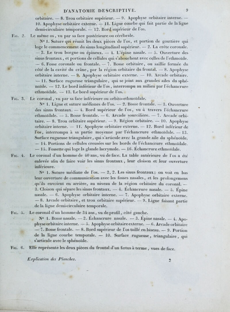 orbitaire. — 8. Trou orbitaire supérieur. — 9. Apophyse orbitaire interne. — 10. Apophyse orbitaire externe. — 11. Ligne courbe qui fait partie de la ligne demi-circulaire temporale. — 12. Bord supérieur de l’os. Fig. 2. Le même os , vu par sa face postérieure ou cérébrale. N° 1. Suture qui réunit les deux pièces de l’os, et portion de gouttière qui loge le commencement du sinus longitudinal supérieur. — 2. La crête coronale. — 3. Le trou borgne ou épineux. — 4. L’épine nasale. — 5. Ouverture des sinus frontaux , et portions de cellules qui s’abouchent avec celles de l’ethmoïde. — 6. Fosse coronale ou frontale. — 7. Bosse orbitaire, ou saillie formée du côté de la cavité du crâne , par la région orbitaire du frontal. — 8. Apophyse orbitaire interne. — 9. Apophvse orbitaire externe. — 10. Arcade orbitaire. — 11. Surface rugueuse triangulaire, qui se joint aux grandes ailes du sphé- noïde. — 12. Le bord inférieur de l’os , interrompu au milieu par l’échancrure ethmoïdale. — 13. Le bord supérieur de l’os. Fig. 3. Le coronal , vu par sa face inférieure ou orbito-ethmoïdale. N° 1. Ligne et suture médianes de l’os. — 2. Bosse frontale. — 3. Ouverture des sinus frontaux. —4. Bord supérieur de l’os, vu -à travers l’échancrure ethmoïdale. — 5. Bosse frontale. —6. Arcade sourcilière. — 7. Arcade orbi- taire. — 8. Trou orbitaire supérieur. — 9. Région orbitaire. — 10. Apophyse orbitaire interne. — 11. Apophyse orbitaire externe. — 12. Bord inférieur de l’os, interrompu à sa partie moyenne par l’échancrure ethmoïdale. — 13. Surface rugueuse triangulaire, qui s’articule avec la grande aile du sphénoïde. — 14. Portions de cellules creusées sur les bords de l'échancrure ethmoïdale. — 15. Fossette qui loge la glande lacrymale. — 16. Echancrure ethmoïdale. Fig. 4. Le coronal d’un homme de 40 ans, vu de face. La table antérieure de l’os a été enlevée afin de faire voir les sinus frontaux , leur cloison et leur ouverture inférieure. N° 1. Suture médiane de l’os. — 2, 2. Les sinus frontaux; on voit en bas leur ouverture de communication avec les fosses nasales , et les prolongemens qu’ils envoient en arrière, au niveau de la région orbitaire du coronal. — 3. Cloison qui sépare les sinus frontaux. — 4. Echancrure nasale. — 5. Épine nasale. — 6. Apophyse orbitaire interne. — 7. Apophyse orbitaire externe. — 8. Arcade orbitaire, et trou orbitaire supérieur. — 9. Ligne faisant partie de la ligne demi-circulaire temporale. Fig. 5. Le coronal d’un homme de 34 ans , vu de profil, côté gauche. N° 1. Bosse nasale. —2. Echancrure nasale. — 3. Epine nasale. — 4. Apo- physe orbitaire interne. — 5. Apophyse orbitaire externe. — 6. Arcade orbitaire — 7. Bosse frontale. — 8. Bord supérieur de l’os taillé en biseau. — 9. Portion de la ligne courbe temporale. — 10. Surface rugueuse, triangulaire, qui s’articule avec le sphénoïde. Fig. 6. Elle représente les deux pièces du frontal d’un fœtus à terme , vues de face. Explication des Planches. 2