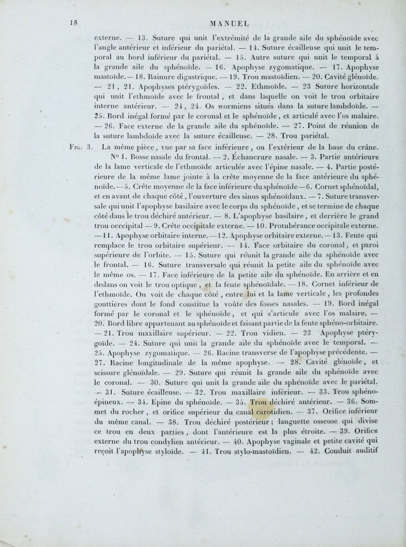 externe. — 13. Suture qui unit l’extrémité de la grande aile du sphénoïde avec l’angle antérieur et inférieur du pariétal. — 1 i. Suture écailleuse qui unit le tem- poral au bord inférieur du pariétal. — 15. Autre suture qui unit le temporal à la grande aile du sphénoïde. — 16. Apophyse zygomatique. — 17. Apophyse mastoïde.—18. Rainure digastrique. — 19. Trou mastoïdien. — 20. Cavité glénoïde. — 21 , 21. Apophyses ptérygoïdes. — 22. Etlimoïde. — 23 Suture horizontale qui unit l’ethmoïde avec le frontal , et dans laquelle on voit le trou orbitaire interne antérieur. — 24, 24. Os wormiens situés dans la suture lambdoïde. — 25. Bord inégal formé par le coronal et le sphénoïde , et articulé avec l’os malaire. — 26. Face externe de la grande aile du sphénoïde. — 27. Point de réunion de la suture lambdoïde avec la suture écailleuse. — 28. Trou pariétal. Fig. 3. La même pièce, vue par sa face inférieure , ou l’extérieur de la base du crâne. N° 1. Bosse nasale du frontal. — 2. Echancrure nasale. — 3. Partie antérieure de la lame verticale de l’ethmoïde articulée avec l’épine nasale. — 4. Partie posté- rieure de la même lame jointe à la crête moyenne de la face antérieure du sphé- noïde.—5. Crète moyenne de la face inférieure du sphénoïde—6. Cornet sphénoïdal, et en avant de chaque côté , l’ouverture des sinus sphénoïdaux. — 7. Suture transver- sale qui unit l’apophyse basilaire avec le corps du sphénoïde , et se termine de chaque côté dans le trou déchiré antérieur. — 8. L’apophyse basilaire , et derrière le grand trou occcipital — 9. Crète occipitale externe. — 10. Protubérance occipitale externe. —11. Apophyse orbitaire interne. —12. Apophyse orbitaire externe. —13. Fente qui remplace le trou orbitaire supérieur. — 14. Face orbitaire du coronal, et paroi supérieure de l’orbite. — 15. Suture qui réunit la grande aile du sphénoïde avec le frontal. — 16. Suture transversale qui réunit la petite aile du sphénoïde avec le même os. — 17. Face inférieure de la petite aile du sphénoïde. En arrière et en dedans on voit le trou optique , et la fente sphénoïdale. — 18. Cornet inférieur de l’etlimoïde. On voit de chaque côté , entre lui et la lame verticale , les profondes gouttières dont le fond constitue la voûte des fosses nasales. — 19. Bord inégal formé par le coronal et le sphénoïde, et qui s’articule avec l’os malaire. — 20. Bord libre appartenant au sphénoïde et faisant pari ie de la fente sphéno-orbitaire. — 21. Trou maxillaire supérieur. —22. Trou vidicn. — 23 Apophyse ptéry- goïde. — 24. Suture qui unit la grande aile du sphénoïde avec le temporal. — 25. Apophyse zygomatique. — 26. Racine transverse de l’apophyse précédente. — 27. Racine longitudinale de la même apophyse. — 28. Cavité glénoïde, et scissure glénoïdale. — 29. Suture qui réunit la grande aile du sphénoïde avec le coronal. — 30. Suture qui unit la grande aile du sphénoïde avec le pariétal. — 31. Suture écailleuse. — 32. Trou maxillaire inférieur. — 33. Trou sphéno- épineux. — 34. Epine du sphénoïde. — 35. Trou déchiré antérieur. — 36. Som- met du rocher , et orifice supérieur du canal carotidien. — 37. Orifice inférieur du même canal. — 38. Trou déchiré postérieur; languette osseuse qui divise ce trou en deux parties , dont l’antérieure est la plus étroite. — 39. Orifice externe du trou condylien antérieur. — 40. Apophyse vaginale et petite cavité qui reçoit l’apophryse styloïde. — 41. Trou stylo-mastoïdien. — 42. Conduit auditif