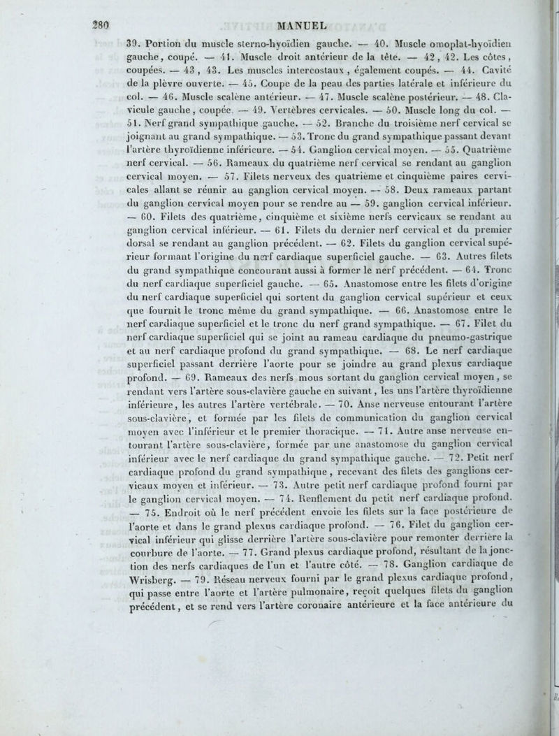 39. Portion du muscle sterno-hyoïdien gauche. — 40. Muscle omoplat-hyoïdien gauche, coupé. — 41. Muscle droit antérieur de la tête. — 42, 42. Les côtes, coupées. — 43 , 43. Les muscles intercostaux , également coupés. — 44. Cavité, de la plèvre ouverte. — 45. Coupe de la peau des parties latérale et inférieure du col. — 46. Muscle scalène antérieur. — 47. Muscle scalène postérieur. — 48. Cla- vicule gauche, coupée — 49. Vertèbres cervicales. — 50. Muscle long du col. — 51. Nerf grand sympathique gauche. — 52. Branche du troisième nerf cervical se joignant au grand sympathique. — 53. Tronc du grand sympathique passant devant l’artère thyroïdienne inférieure. — 5i. Ganglion cervical moyen. — 55. Quatrième nerf cervical. — 56. Rameaux du quatrième nerf cervical se rendant au ganglion cervical moyen. •— 57. Filets nerveux des quatrième et cinquième paires cervi- cales allant se réunir au ganglion cervical moyen. — 58. Deux rameaux partant du ganglion cervical moyen pour se rendre au — 59. ganglion cervical inférieur. — 60. Filets des quatrième, cinquième et sixième nerfs cervicaux se rendant au ganglion cervical inférieur. — 61. Filets du dernier nerf cervical et du premier dorsal se rendant au ganglion précédent. — 62. Filets du ganglion cervical supé- rieur formant l’origine du nerf cardiaque superficiel gauche. — 63. Autres filets du grand sympathique concourant aussi à former le nerf précédent. — 64. Tronc du nerf cardiaque superficiel gauche. — 65. Anastomose entre les filets d’origine du nerf cardiaque superficiel qui sortent du ganglion cervical supérieur et ceux que fournit le tronc même du grand sympathique. — 66. Anastomose entre le nerf cardiaque superficiel et le tronc du nerf grand sympathique. — 67. Filet du nerf cardiaque superficiel qui se joint au rameau cardiaque du pneumo-gastrique et au nerf cardiaque profond du grand sympathique. — 68. Le nerf cardiaque superficiel passant derrière l’aorte pour se joindre au grand plexus cardiaque profond. — 69. Piameaux des nerfs mous sortant du ganglion cervical moyen, se rendant vers l’artère sous-clavière gauche en suivant, les uns l’artère thyroïdienne inférieure, les autres l’artère vertébrale. — 70. Anse nerveuse entourant 1 artère sous-clavière, et formée par les filets de communication du ganglion cervical moyen avec l’inférieur et le premier thoracique. — 71. Autre anse nerveuse en- tourant l’artère sous-clavière, formée par une anastomose du ganglion cervical inférieur avec le nerf cardiaque du grand sympathique gauche. — 72. Petit ncrl cardiaque profond du grand sympathique , recevant des filets des ganglions cer- vicaux moyen et inférieur. — 73. Autre petit nerf cardiaque profond fourni par le ganglion cervical moyen. — 74. Renflement du petit nerf cardiaque profond. — 75. Endroit où le nerf précédent envoie les filets sur la face postérieure de l’aorte et dans le grand plexus cardiaque profond. — 76. Filet du ganglion cer- vical inférieur qui glisse derrière l’artère sous-claviere pour remonter derrière la courbure de l'aorte. — 77. Grand plexus cardiaque profond, résultant de la jonc- tion des nerfs cardiaques de l’un et l’autre côté. — 78. Ganglion cardiaque de Wrisberg. — 79. Réseau nerveux fourni par le grand plexus cardiaque profond, qui passe entre l’aorte et l’artère pulmonaire, reçoit quelques filets du ganglion précédent, et se rend vers l’artère coronaire anterieure et la face anteiicuie <ui