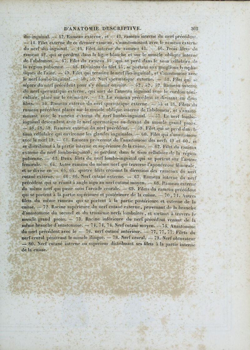 ilio-inguinal. — 42. Rameau externe, et — 43. rameau interne du nerf précédent. — 44. Filet externe de ce dernier rameau, s’anastomosant avec le rameau externe du nerf ilio-inguinal. — 45. Filet interne du rameau 43. — 40. Trois fdets du rameau 42, qui se perdent dans la ligne blanche et sur le muscle oblique interne de l’abdomen. — 47. Filet du rameau 45, qui se perd dans le tissu cellulaire de la région pubienne. — 48. Divisions du fdet 45 , se portant aux ganglions lympha- tiques de l’aine. — 49. Filet qui termine le nerf ilio-inguinal, et s’anastomose avec le nerf lombo-inguinal. — 50 , 50. Nerf spermatique externe. — 51. Filet qui se sépare du nerf précédent pour s’v réunir ensuite. — 52 , 52 , 52. Rameau interne du nerf spermatique externe, qui sort de l’anneau inguinal avec le cordon testi- culaire, placé sur le crémaster. — 53. Le rameau précédent se divisant en deux filets. — 54. Rameau externe du nerf spermatique externe. — 55 et 5G. Filets du rameau précédent placés sur le muscle oblique interne de l’abdomen, et s’anasto- mosant avec le rameau externe du nerf lombo-inguinal. —57. Le nerf lombo- inguinal descendant avec le nerf spermatique au-devant du muscle grand psoas — 58, 58, 58. Rameau externe du nerf précédent. — 59. Filet qui se perd dans le tissu cellulaire qui environne les glandes inguinales. — GO. Filet qui s’anastomose avec le nerf 49. — Gl. Rameau provenant de l’anastomose des nerfs 49 et 60, et. se distribuant à la partie interne et supérieure de la cuisse. — 62. Filet du rameau externe du nerf lombo-inguinal, se perdant dans le tissu cellulaire de la région pubienne. — 63. Deux filets du nerf lombo-inguinal qui se portent sur l’artère fémorale. — 64. Autre rameau du même nerf qui traverse l’aponévrose fémorale, et se divise en — 65, 65. quatre filets croisant la direction des rameaux du ncrl cutané externe. — 66 , 66. Nerf cutané externe. — 67. Rameau interne du nerf précédent qui se réunit à angle aigu au nerf cutané moyen. — 68. Rameau externe du même nerf qui passe sons l’arcade crurale. — 69. Filets du rameau précédent qui se portent à la partie supérieure et postérieure de la cuisse. — 70, 71. Autres filets du même rameau cjui se portent à la partie postérieure et externe de la cuisse. — 72. Racine supérieure du nerf cutané externe, provenant de la branche d’anastomose du second et du troisième nerfs lombaires, et sortant à travers le muscle grand psoas. — 73. Racine inférieure du nerf précédant venant de la même branche d’anastomose. — 74, 74, 74. Nerf cutané moyen. — 75. Anastomose du nerf précédent avec le — 76. nerf cutané antérieur. — 77, 77, 77. Filets du nerf crural pénétrant le muscle iliaque. — 78. Nerf crural. — 79. Nerf obturateur — 80. Nerf cutané interne ou supérieur distribuant ses filets à la partie interne de la cuisse.