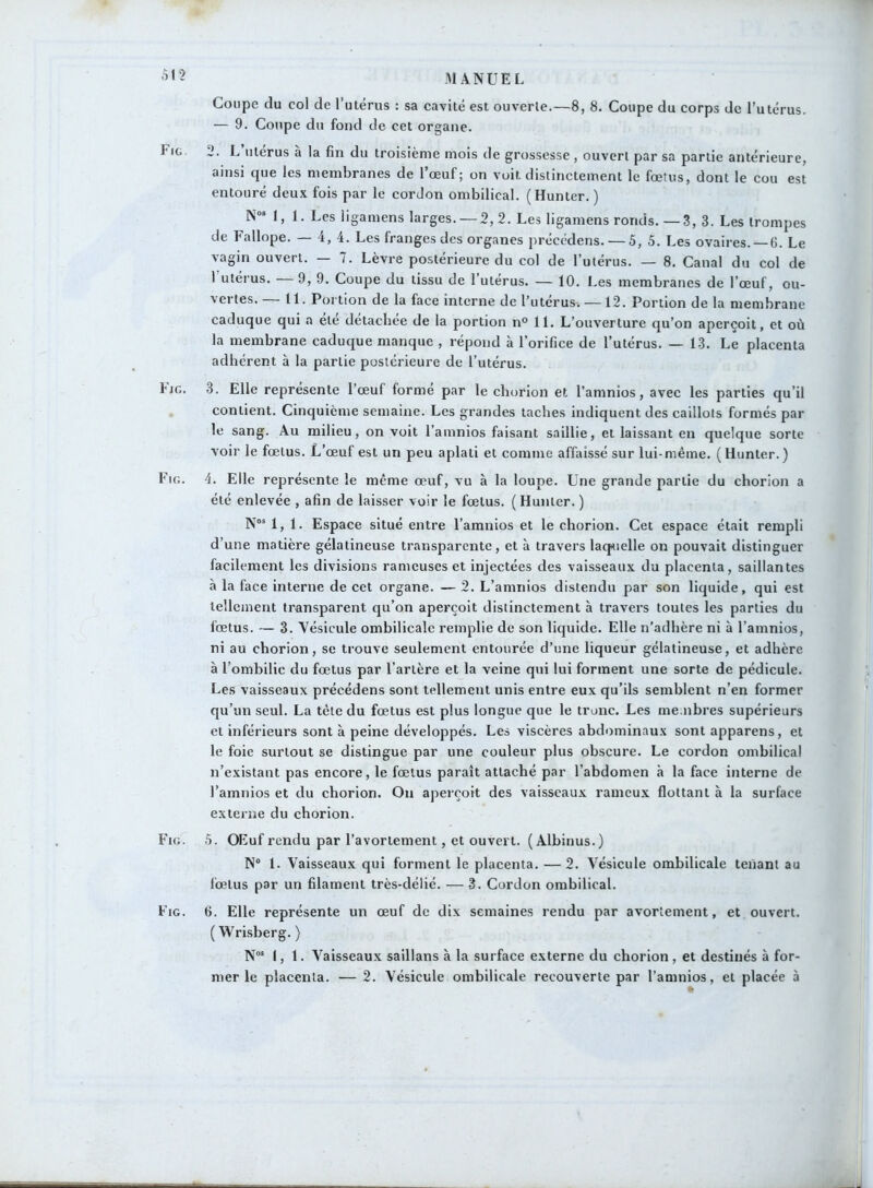 Coupe du col de l’utérus : sa cavité est ouverte.—8, 8. Coupe du corps de l’utérus. — 9. Coupe du fond de cet organe. f ig J. L utérus à la fin du troisième mois de grossesse , ouvert par sa partie antérieure, ainsi que les membranes de l’œuf; on voit distinctement le fœtus, dont le cou est entouré deux fois par le cordon ombilical. (Hunter. ) Nos 1, 1. Les ligamens larges. —2,2. Les ligamens ronds. — 3, 3. Les trompes de Fallope. — 4, 4. Les franges des organes précédens. — 5, 5. Les ovaires. —6. Le vagin ouvert. — 7. Lèvre postérieure du col de l’utérus. — 8. Canal du col de 1 utérus. —9, 9. Coupe du tissu de l’utérus. — 10. Les membranes de l’œuf, ou- vertes. 11. Portion de la face interne de l’utérus-. —12. Portion de la membrane caduque qui a été détachée de la portion n° 11. L’ouverture qu’on aperçoit, et où la membrane caduque manque , répond à l’orifice de l’utérus. — 13. Le placenta adhérent à la partie postérieure de l’utérus. 4jg. 3. Elle représente l’œul forme par le chorion et l’amnios, avec les parties qu’il contient. Cinquième semaine. Les grandes taches indiquent des caillots formés par le sang. Au milieu, on voit l’amnios faisant saillie, et laissant en quelque sorte voir le fœtus. L’œuf est un peu aplati et comme affaissé sur lui-même. (Hunter.) Fig. 4. Elle représente le même œuf, vu à la loupe. Une grande partie du chorion a été enlevée , afin de laisser voir le fœtus. ( Hunter. ) Nos 1,1. Espace situé entre l’amnios et le chorion. Cet espace était rempli d’une matière gélatineuse transparente, et à travers laquelle on pouvait distinguer facilement les divisions rameuses et injectées des vaisseaux du placenta, saillantes à la face interne de cet organe. — 2. L’amnios distendu par son liquide, qui est tellement transparent qu’on aperçoit dislinctement à travers toutes les parties du fœtus. — 3. Vésicule ombilicale remplie de son liquide. Elle n’adhère ni à l’amnios, ni au chorion, se trouve seulement entourée d’une liqueur gélatineuse, et adhère à l’ombilic du fœtus par l’artère et la veine qui lui forment une sorte de pédicule. Les vaisseaux précédens sont tellement unis entre eux qu’ils semblent n’en former qu’un seul. La tète du fœtus est plus longue que le tronc. Les membres supérieurs et inférieurs sont à peine développés. Les viscères abdominaux sont apparens, et le foie surtout se distingue par une couleur plus obscure. Le cordon ombilical n’existant pas encore, le fœtus paraît attaché par l’abdomen «à la face interne de l’amnios et du chorion. On aperçoit des vaisseaux ramcux flottant à la surface externe du chorion. Fig. 5. OEuf rendu par l’avortement, et ouvert. ( Albinus.) N° 1. Vaisseaux qui forment le placenta. — 2. Vésicule ombilicale tenant au fœtus par un filament très-délié. — 3. Cordon ombilical. Fig. 6. Elle représente un œuf de dix semaines rendu par avortement, et ouvert. ( Wrisberg. ) Nos 1,1. Vaisseaux saillans à la surface externe du chorion, et destinés à for- mer le placenta. — 2. Vésicule ombilicale recouverte par l’amnios, et placée à