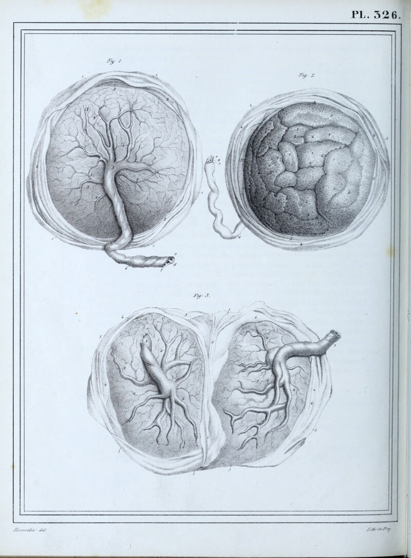 PL. 326 ÆtZ/sr<4’A'/7 dËüsfc