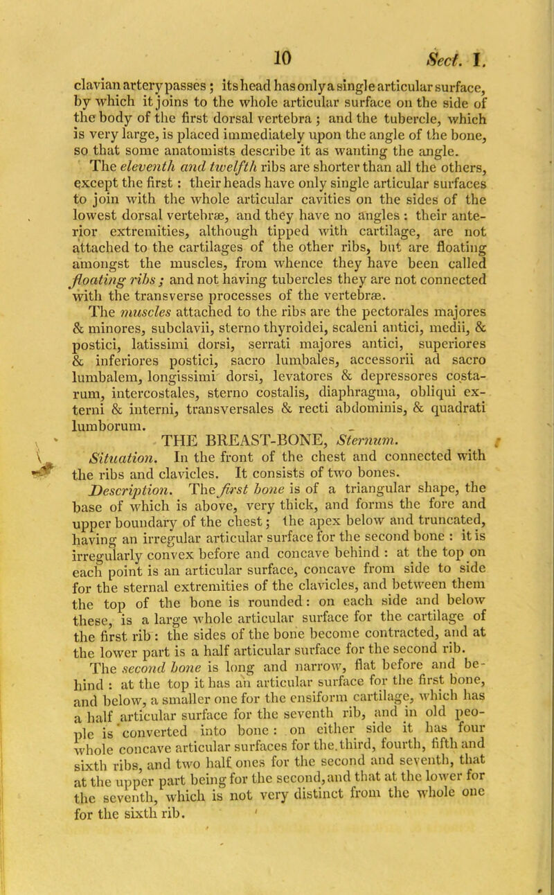 clavian artery passes; its head has only a single articular surface, by which it joins to the whole articular surface on the side of the body of the first dorsal vertebra ; and the tubercle, which is very large, is placed immediately upon the angle of the bone, so that some anatomists describe it as wanting the angle. The eleventh and twelfth ribs are shorter than all the others, except the first : their heads have only single articular surfaces to join with the whole articular cavities on the sides of the lowest dorsal vertebrae, and they have no angles : their ante- rior extremities, although tipped with cartilage, are not attached to the cartilages of the other ribs, but are floating amongst the muscles, from whence they have been called floating ribs ; and not having tubercles they are not connected with the transverse processes of the vertebrae. The muscles attached to the ribs are the pectorales majores & minores, subclavii, sterno thyroidei, scaleni antici, medii, & postici, latissimi dorsi, serrati majores antici, superiores & inferiores postici, sacro lumbales, accessorii ad sacro lumbalem, longissimi dorsi, levatores & depressores costa- rum, intercostales, sterno costalis, diaphragma, obliqui ex- terni & interni, transversales & recti abdominis, & quadrati lumborum. THE BREAST-BONE, Sternum. Situation. In the front of the chest and connected with the ribs and clavicles. It consists of two bones. Description. The first bone is of a triangular shape, the base of which is above, very thick, and forms the fore and upper boundary of the chest; the apex below and truncated, having an irregular articular surface for the second bone : it is irregularly convex before and concave behind : at. the top on each point is an articular surface, concave from side to side for the sternal extremities of the clavicles, and between them the top of the bone is rounded: on each side and below these, is a large whole articular surface for the cartilage of the first rib : the sides of the bone become contracted, and at the lower part is a half articular surface for the second rib. The second bone is long and narrow, flat before and be- hind : at the top it has an articular surface for the first bone, and below, a smaller one for the ensifonn cartilage, which has a half articular surface for the seventh rib, and in old peo- ple is converted Into bone : on either side it has four whole concave articular surfaces for the.third, fourth, fifth and sixth ribs, and two half ones for the second and seventh, that at the upper part being for the second, and that at the lower for the seventh, which is not very distinct from the whole one for the sixth rib.