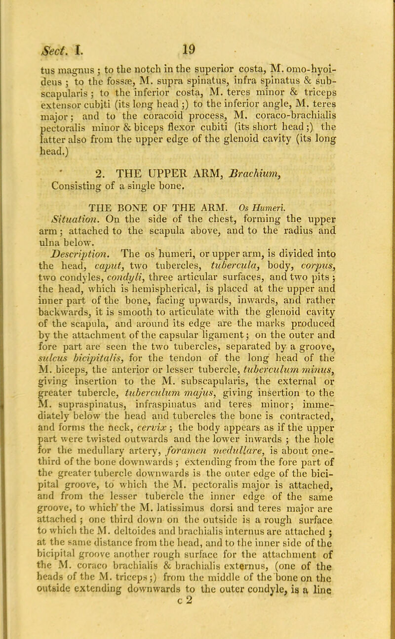 tus magnus ; to the notch in the superior costa, M. omo-hyoi- deus ; to the fossae, M. supra spinatus, infra spinatus & sub- scapularis ; to the inferior costa, M. teres minor & triceps extensor cubjti (its long head ;) to the inferior angle, M. teres major; and to the coracoid process, M. coraco-brachialis pectoralis minor & biceps flexor cubiti (its short head 5) the latter also from the upper edge of the glenoid cavity (its long head.) 2. THE UPPER ARM, Brachium, Consisting of a single bone. THE BONE OF THE ARM. Os Humeri. Situation. On the side of the chest, forming the upper arm; attached to the scapula above, and to the radius and ulna below. Description. The os humeri, or upper arm, is divided into the head, caput, two tubercles, tubercula, body, corpus, two condyles, condyli, three articular surfaces, and two pits ; the head, which is hemispherical, is placed at the upper and inner part of the bone, facing upwards, inwards, and rather backwards, it is smooth to articulate with the glenoid cavity of the scapula, and around its edge are the marks produced by the attachment of the capsular ligament; on the outer and fore part are seen the two tubercles, separated by a groove, sulcus bicipitalis, for the tendon of the long head of the M. biceps, the anterior or lesser tubercle, tuberculurn minus, giving insertion to the M. subscapularis, the external or greater tubercle, tuberculum majus, giving insertion to the M. supi-aspinatus, infraspinatus and tei-es minor3 imme- diately below the head and tubercles the bone is contracted, and forms the neck, cervix 3 the body appears as if the upper part were twisted outwards and the lower inwards ; the hole for the medullary artery, foramen medullare, is about one- third of the bone downwards ; extending from the fore part of the greater tubercle downwards is the outer edge of the bici- pital groove, to which the M. pectoralis major is attached, and from the lesser tubercle the inner edge of the same groove, to which’the M. latissimus dorsi and teres major are attached ; one third down on the outside is a rough surface to which the M. deltoides and brachialis interims are attached ; at the same distance from the head, and to the inner side of the bicipital groove another rough surface for the attachment of the M. coraco brachialis & brachialis externus, (one of the heads of the M. triceps;) from the middle of the bone on the outside extending downwards to the outer condyle, is a line