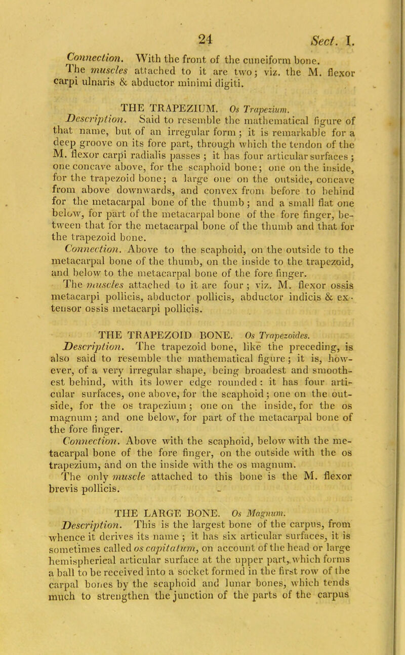 Connection. With the front of the cuneiform bone. 1 he muscles attached to it are two; viz. the M. flexor carpi ulnaris & abductor minimi digiti. THE TRAPEZIUM. Os Trapezium. Description. Said to resemble the mathematical figure of that name, but of an irregular form ; it is remarkable for a deep groove on its fore part, through which the tendon of the M. flexor carpi radialis passes ; it has four articular surfaces; one concave above, for the scaphoid bone; one on the inside, for the trapezoid bone; a large one on the outside, concave from above downwards, and convex from before to behind for the metacarpal bone of the thumb; and a small flat one below, for part of the metacarpal bone of the fore finger, be- tween that for the metacarpal bone of the thumb and that for the trapezoid bone. Connection. Above to the scaphoid, on the outside to the metacarpal bone of the thumb, on the inside to the trapezoid, and below to the metacarpal bone of the fore finger. The muscles attached to it are four ; viz. M. flexor ossis metacarpi pollicis, abductor pollicis, abductor indicis & ex • tensor ossis metacarpi pollicis. THE TRAPEZOID BONE. Os Trapezoides. Description. The trapezoid bone, like the preceding, is also said to resemble the mathematical figure ; it is, how- ever, of a very irregular shape, being broadest and smooth- est behind, with its lower edge rounded : it has four arti- cular surfaces, one above, for the scaphoid; one on the out- side, for the os trapezium; one on the inside, for the os magnum; and one below, for part of the metacarpal bone of the fore finger. Connection. Above with the scaphoid, below with the me- tacarpal bone of the fore finger, on the outside with the os trapezium, and on the inside with the os magnum. The only muscle attached to this bone is the M. flexor brevis pollicis. THE LARGE BONE. Os Magnum. Description. This is the largest bone of the carpus, from whence it derives its name ; it has six articular surfaces, it is sometimes called os caj)itatum, on account of the head or large hemispherical articular surface at the upper part,, which forms a ball to be received into a socket formed in the first row of the carpal bones by the scaphoid and lunar bones, which tends much to strengthen the junction of the parts of the carpus