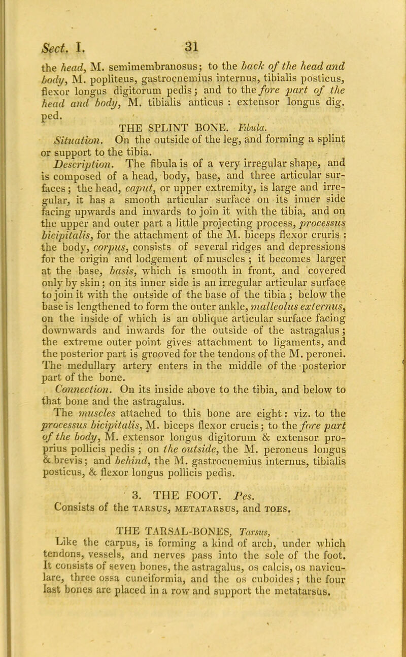 the head, M. semimembranosus; to the hack of the head and body, M. popliteus, gastrocnemius interims, tibialis posticus, flexor longus digitorum pedis; and to the fore part of the head and body, M. tibialis anticus : extensor longus dig. ped. THE SPLINT BONE. Fibula. Situation. On the outside of the leg, and forming a splint or support to the tibia. Description. The fibula is of a very irregular shape, and is composed of a head, body, base, and three articular sur- faces ; the head, caput, or upper extremity, is large and irre- gular, it has a smooth articular surface on its inner side facing upwards and inwards to join it with the tibia, and on the upper and outer part a little projecting process, processus bicipitalis, for the attachment of the M. biceps flexor cruris : the body, corpus, consists of several ridges and depressions for the origin and lodgement of muscles ; it becomes larger at the base, basis, which is smooth in front, and covered only by skin; on its inner side is an irregular articular surface to join it with the outside of the base of the tibia ; below the base is lengthened to form the outer ankle, malleolus ext emus, on the inside of which is an oblique articular surface facing downwards and inwards for the outside of the astragalus; the extreme outer point gives attachment to ligaments, and the posterior part is grooved for the tendons of the M. peronei. The medullary artery enters in the middle of the posterior part of the bone. Connection. On its inside above to the tibia, and below to that hone and the astragalus. The muscles attached to this bone are eight: viz. to the processus bicipitalis, M. biceps flexor crucis; to the fore part of the body, M. extensor longus digitorum & extensor pro- prius pollicis pedis ; on the outside, the M. peroneus longus & brevis; and belaud, the M. gastrocnemius interims, tibialis posticus, & flexor longus pollicis pedis. 3. THE FOOT. Fes. Consists of the tarsus, metatarsus, and toes. THE TARSAL-BONES, Tarsus, Like the carpus, is forming a kind of arch, under which tendons, vessels, and nerves pass into the sole of the foot. It consists of seven bones, the astragalus, os calcis, os navicu- lare, three ossa cuneiformia, and the os cuboides; the four last bones are placed in a row and support the metatarsus.