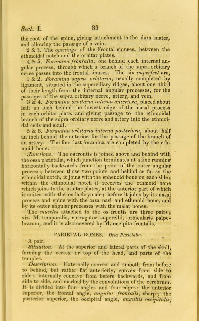 the root of the spine, giving attachment to the dura mater, and allowing the passage of a vein. 2 & 3. The openings of the Frontal sinuses, between the ethmoidal notch and the orbitar plates. 4 & 5. Foramina front alia, one behind each internal an- gular process, through which a branch of the supra orbitary nerve passes into the frontal sinuses. The six imperfect are, 1 & 2. Foramina supra orbitaria, usually completed by ligament, situated in the superciliary ridges, about one third of their length from the internal angular processes, for the passages of the supra orbitary nerve, artery, and vein. 3 & 4. Foramina orbitaria interna anteriora, placed about half an inch behind the lowest edge of the nasal process in each orbitar plate, and giving passage t.o the ethmoidal branch of the supra orbitary nerve and artery into the ethmoi- dal cells and skull. 5 & 6. Foramina orbitaria interna posterior a, about half an inch behind the anterior, for the passage of the branch of an artery. The four last foramina are completed by the eth- moid bone. Junctions. The osfrontis is joined above and behind with the ossa parietalia, which junction terminates at aline running horizontally backwards from the point of the outer angular process; between those two points and behind as far as the ethmoidal notch, it joins with the sphenoid bone on each side : within the ethmoidal notch it receives the ethmoid bone which joins to the orbitar plates, at the anterior part of which it unites with the os lachrymale; before it joins by its nasal process and spine with the ossa nasi and ethmoid bone, and by its outer angular processes with the malar bones. The muscles attached to the os frontis are three pairs; viz. M. temporalis, corrugator supercilii, orbicularis palpe- brarum, and it is also covered by M. occipito frontalis. PARIETAL BONES. Ossa Parietalia. A A pair. Situation. At the superior and lateral parts of the skull, forming the vertex or top of the head, and parts of the temples. Description. Externally convex and smooth from before to behind, but rather flat anteriorly, convex from side to side ; internally concave from before backwards, and from side to side, and marked by the convolutions of the cerebrum. It is divided into four angles and four edges ; the anterior superior, the frontal angle, angulus frontalis, sharp ; the posterior superior, the occipital angle, angulus occipitalis,