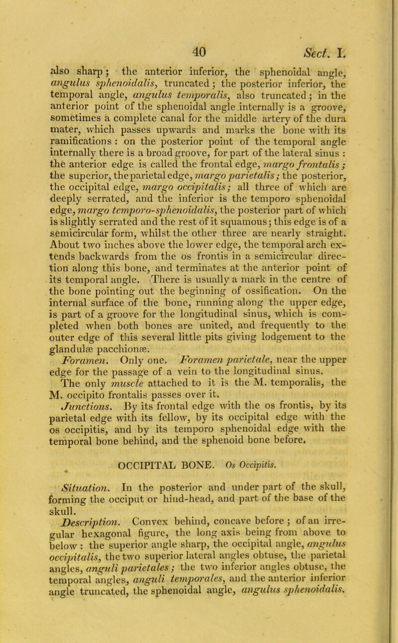 also sharp; the anterior inferior, the sphenoidal angle, angulus sphenoidalis, truncated; the posterior inferior, the temporal angle, atigulus temporalis, also truncated; in the anterior point of the sphenoidal angle internally is a groove, sometimes a complete canal for the middle artery of the dura mater, which passes upwards and marks the bone with its ramifications : on the posterior point of the temporal angle internally there is a broad groove, for part of the lateral sinus : the anterior edge is called the frontal edge, margo frontalis ; the superior, the parietal edge, margo parietalis ; the posterior, the occipital edge, margo occipitalis; all three of which are deeply serrated, and the inferior is the temporo sphenoidal edge, margo temporo-sphenoidalis, the posterior part of which is slightly serrated and the rest of it squamous; this edge is of a semicircular form, whilst the other three are nearly straight. About two inches above the lower edge, the temporal arch ex- tends backwards from the os frontis in a semicircular direc- tion along this bone, and terminates at the anterior point of its temporal angle. There is usually a mark in the centre of the bone pointing out the beginning of ossification. On the internal surface of the bone, running along the upper edge, is part of a groove for the longitudinal sinus, which is com- pleted when both bones are united, and frequently to the outer edge of this several little pits giving lodgement to the glandulse pacchionae. Foramen. Only one. Foramen parietale, near the upper edge for the passage of a vein to the longitudinal sinus. The only muscle attached to it is the M. temporalis, the M. occipito frontalis passes over it. Junctions. By its frontal edge with the os frontis, by its parietal edge with its fellow, by its occipital edge with the os occipitis, and by its temporo sphenoidal edge with the temporal bone behind, and the sphenoid bone before. OCCIPITAL BONE. Os Occipitis. Situation. In the posterior and under part of the skull, forming the occiput or hind-head, and part of the base of the skull. Description. Convex behind, concave before ; of an irre- gular hexagonal figure, the long axis being from above to below : the superior angle sharp, the occipital angle, angulus occipitalis, the two superior lateral angles obtuse, the parietal angles, anguli parietales ; the two inferior angles obtuse, the temporal angles, anguli temporales, and the anterior inferior angle truncated, the sphenoidal angle, angulus sphenoidalis.