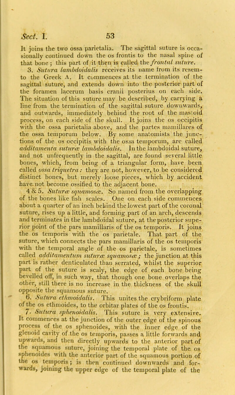 It joins the two ossa parietalia. The sagittal suture is occa- sionally continued down the os frontis to the nasal spine of that bone ; this part of it then is called the frontal suture. 3. Sutura lambdoidalis receives its name from its resem- to the Greek A. It commences at the termination of the sagittal suture, and extends down into the posterior part of the foramen lacerum basis cranii posterius on each side. The situation of this suture may be described, by carrying a line from the termination of the sagittal suture downwards, and outwards, immediately behind the root of the mastoid process, on each side of the skull. It joins the os occipitis with the ossa parietalia above, and the partes mamillares of the ossa temporum below. By some anatomists the junc- tions of the os occipitis with the ossa temporum, are called additameiita suturce lambdoidalis. In the lambdoidal suture, and not unfrequently in the sagittal, are found several little bones, which, from being of a triangular form, have been called ossa triquetra: they are not, however, to be considered distinct bones, but merely loose pieces, which by accident have-not become ossified to the adjacent bone. 4&5. Suturce squamosce. So named from the overlapping of the bones like fish scales. One on each side commences about a quarter of an inch behind the lowest part of the coronal suture, rises up a little, and forming part of an arch, descends and terminates in the lambdoidal suture, at the posterior supe- rior point of the pars mamillaris of the os temporis. It joins the os temporis with the os parietale. That part of the suture, which connects the pars mamillaris of the os temporis with the temporal angle of the os parietale, is sometimes called additamentum suturce squamosce; the junction at this part is rather denticulated than serrated, whilst the superior part of the suture is scaly, the edge of each bone being bevelled off, in such way, that though one bone overlaps the other, still there is no increase in the thickness of the skull opposite the squamous suture. 6. Sutura ethmoidalis. This unites the crybriform plate of the os ethmoides, to the orbitar plates of the os frontis. 7- Sutura sphenoidalis. This suture is very extensive. It commences at the junction of the outer edge of the spinous process of the os sphenoides, with the inner edge of the glenoid cavity of the os temporis, passes a little forwards and upwards, and then directly upwards to the anterior part of the squamous suture, joining the temporal plate of the os sphenoides with the anterior part of the squamous portion of the os temporis; is then continued downwards and for- wards, joining the upper edge of the temporal plate of the