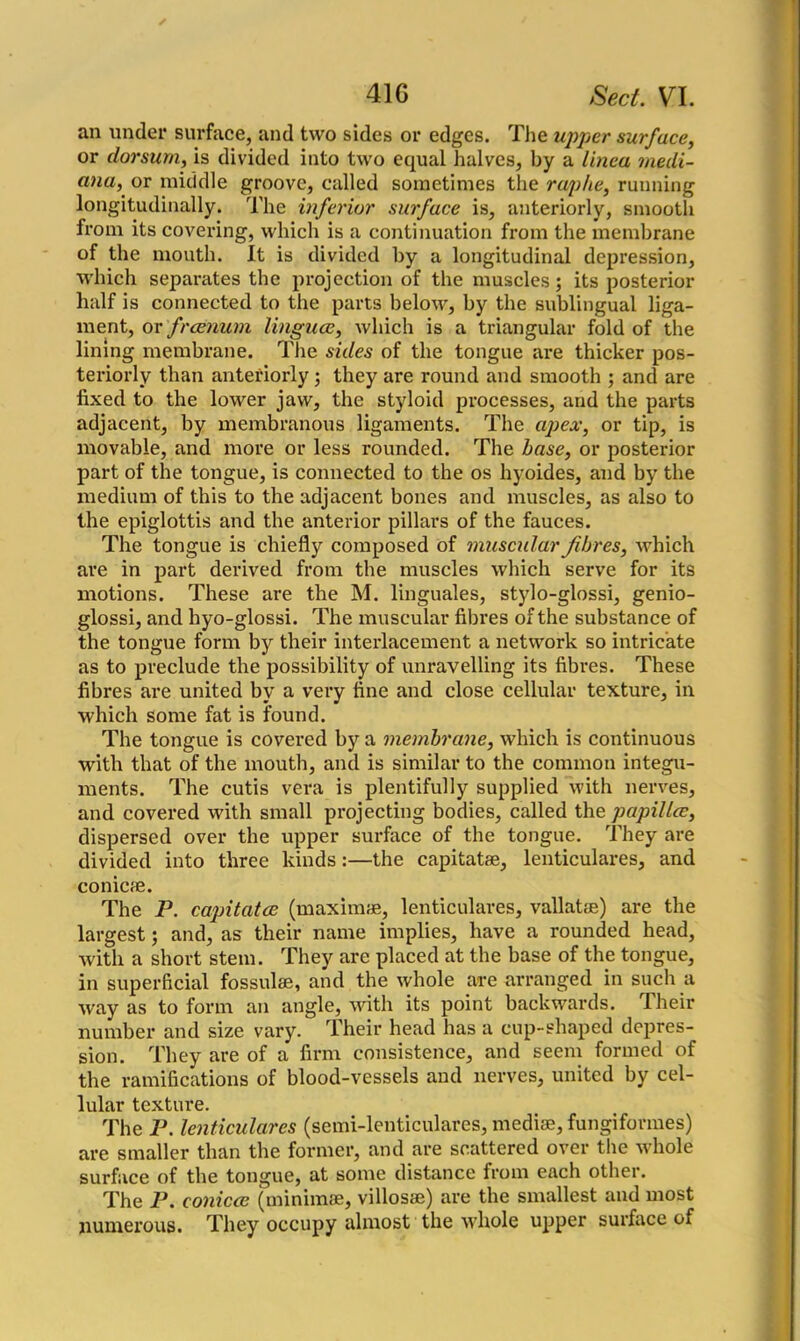 an under surface, and two sides or edges. The upper surface, or dorsum, is divided into two equal halves, by a linea medi- ana, or middle groove, called sometimes the raphe, running longitudinally. The inferior surface is, anteriorly, smooth from its covering, which is a continuation from the membrane of the mouth. It is divided by a longitudinal depression, which separates the projection of the muscles ; its posterior half is connected to the parts below, by the sublingual liga- ment, or fraenum linguae, which is a triangular fold of the lining membrane. The sides of the tongue are thicker pos- teriorly than anteriorly; they are round and smooth ; and are fixed to the lower jaw, the styloid processes, and the parts adjacent, by membranous ligaments. The apex, or tip, is movable, and more or less rounded. The base, or posterior part of the tongue, is connected to the os hyoides, and by the medium of this to the adjacent bones and muscles, as also to the epiglottis and the anterior pillars of the fauces. The tongue is chiefly composed of muscular fibres, which are in part derived from the muscles which serve for its motions. These are the M. linguales, stylo-glossi, genio- glossi, and hyo-glossi. The muscular fibres of the substance of the tongue form by their interlacement a network so intricate as to preclude the possibility of unravelling its fibres. These fibres are united by a very fine and close cellular texture, in which some fat is found. The tongue is covered by a membrane, which is continuous with that of the mouth, and is similar to the common integu- ments. The cutis vera is plentifully supplied with nerves, and covered with small projecting bodies, called the papillae, dispersed over the upper surface of the tongue. They are divided into three kinds:—the capitatae, lenticulares, and conicae. The P. capitatae (maximae, lenticulares, vallatfe) are the largest; and, as their name implies, have a rounded head, with a short stem. They are placed at the base of the tongue, in superficial fossulse, and the whole are arranged in such a way as to form an angle, with its point backwards. Their number and size vary. Their head has a cup-shaped depres- sion. They are of a firm consistence, and seem formed of the ramifications of blood-vessels and nerves, united by cel- lular texture. The P. lenticulares (semi-lenticulares, mediae, fungifonnes) are smaller than the former, and are scattered over the whole surface of the tongue, at some distance from each other. The P. conicce (minimae, villosse) are the smallest and most numerous. They occupy almost the whole upper surface of
