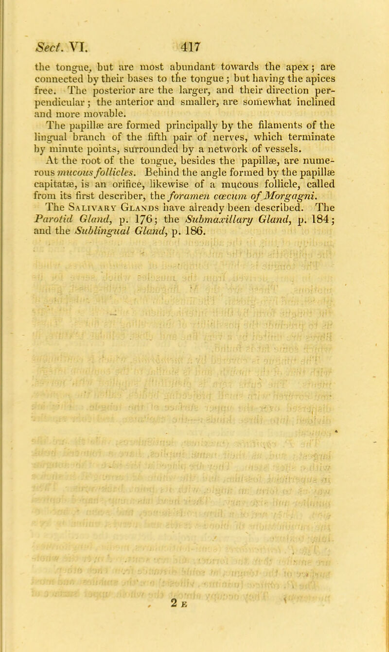 the tongue, but are most abundant towards the apex; are connected by their bases to tfie tongue ; but having the apices free. The posterior are the larger, and their direction per- pendicular ; the anterior and smaller, are somewhat inclined and more movable. The papillfe are formed principally by the filaments of the lingual branch of the fifth pair of nerves, which terminate by minute points, surrounded by a network of vessels. At the root of the tongue, besides the papillae, are nume- rous mucous follicles. Behind the angle formed by the papillae capitatae, is an orifice, likewise of a mucous follicle, called from its first describer, the foramen caecum of Morgagni. The Salivary Glands have already been described. The Parotid Gland, p. 176; the Submaxillary Gland, p. 184; and the Sublingual Gland, p. 186.
