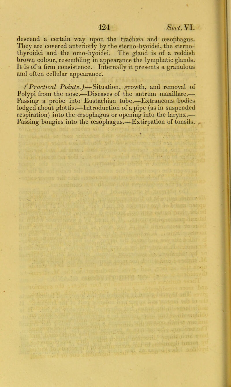 descend a certain way upon the trachaea and oesophagus. They are covered anteriorly by the sterno-hyoidei, the sterno- thyroidei and the omo-hyoidei. The gland is of a reddish brown colour, resembling in appearance the lymphatic glands. It is of a firm consistence. Internally it presents a granulous and often cellular appearance. (Practical Points.)—Situation, growth, and removal of Polypi from the nose.—Diseases of the antrum maxillare.— Passing a probe into Eustachian tube.—Extraneous bodies lodged about glottis.—Introduction of a pipe (as in suspended respiration) into the oesophagus or opening into the larynx.— Passing bougies into the oesophagus.—Extirpation of tonsils.